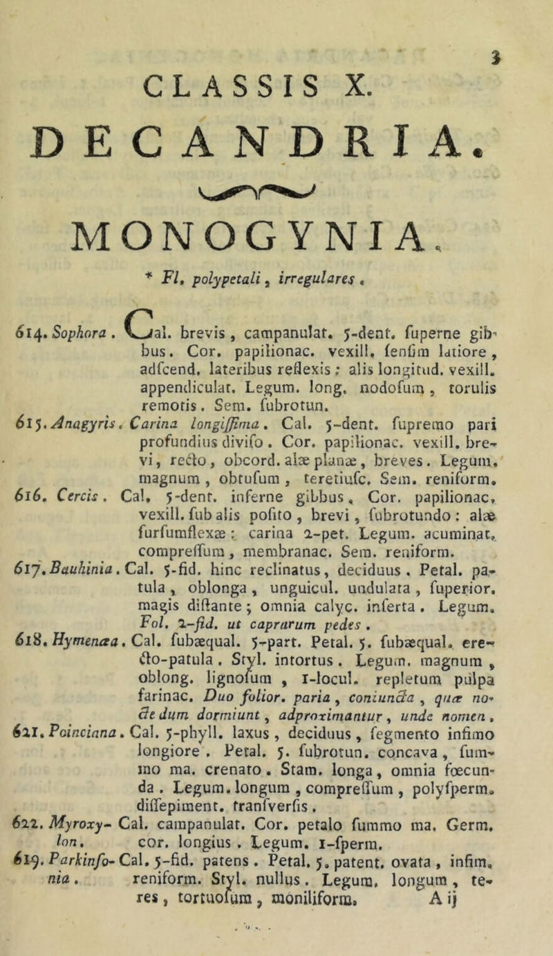 CLASSIS X. D E C A N D R I A. MONOG YNI A, FI, polypetali, irregulares &lt; 614. Sophora . C^al. brevis , campanulat. J-dent. fuperne gib- bus. Cor. papiiionac. vexill. lenCin laiiore, adfcend. lateribus reflexis ; alis longitud. vexill. appendicular. Legum, long. nodofum, torulis remoris. Sem. l^ubrotun. 61^. Anagyris. Carina longijjima, Cal. 5-dent. fuprerao pari profundius divifo . Cor. papiiionac. vexill. bre- vi , re^to, obcord. alse plance, breves. Legum.' magnum , obtufum , teretiufc. Sem. reniform, 616, Cereis. Cal, 5-denr. inferne gibbus. Cor. papiiionac, vexill. fub alis pofito , brevi, fubrotundo ; alce furfumflexaecarina a-pet. Legum, acuminat, compreffura, membranae. Sera, reniform. 6ij,Bauhinia.C^\. 5.fid. hinc reclinatus, deciduus. Petal. pa- tula , oblonga , unguicul. undulata , fuperior, magis diftante; omnia calyc. inferta . Legum, Fo/. 7,-fid. ut caprarum pedes . 6l2,Hymenaa, Ca], fubaequal. 5-part. Petal. 5. fubaequal, ere- fto-patula . Styl. intortus . Legum, magnum , oblong. lignofum , l-locul. repletum pulpa farinae. Duo folior, paria , coniunSa , qutr no- de dum dormiunt^ adproximantur, unde nomen, 6%I, Poinciana, Cdil. j-phyll. laxus, deciduus, fegmento infimo longiore. Petal. 5. fubrotun. concava, fum- mo ma. crenato. Stam. longa, omnia foecun* da . Legum, longum , compreflTum , polyfperm. diffepiment. franfverfis. 6ii. Myroxy- Cal. campanulat. Cor. petalo furamo ma. Germ, Ion. cor. longius . Legum, i-fperra. 6l^.Parkinfo-Ca\, patens. Petal. 5. patent, ovata, infim, nia. reniform. Styl. nullus . Legum, longum , te- res , tortuolura, mbniliform. A ij , »» -. .