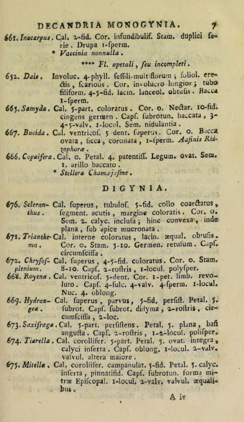 i6t,In9carpus,Ca\» a-fid. Cor, infundibulif. Stam. duplici fe- rie . Drupa i*fperm. * Vdtcinia nonnulla . **■¥.* apetali, feu incompleti. 6$l. Dau» Involuc. 4-phyll. feflili-multiflorum ; fuliol. ere* dis, fcanoiis . Cor, involucro longior; tubo filiform. 4-5*fid. lacin. lanceol, obtufls. Bacc4 1-fperm. 66'^,Samy^a» Cal. 5-part, coloratus. Cor. o. Nedar. lO-fid. cingens germen . Capf. fubrotun, baccata, 3- 4-5-valv, i-loci)l. Sem. nidulantia. 667. Bucida, Cdl. ventricof. 5 dent, fuperus. Cor. o. Bacca ovara , ficca , coronata , i*('perm. Aujinis Rhi-' \ophora. 666. Coptf/^ra. Cal. o. Petal. 4. patentiff. Legum» ovat. Sera» 1. arillo baccato. ■ StelUra Chamajafine . D I G Y N I A. 676. Scleran-- Cal. fuperus, tubulof. 5-fid. collo coardatus, thus. fegment. acutis, margine coloratis. Cor. o, Sem. a. calyc. inclufa; hinc convexa-, inde plana , fub apice mucronata . 671. Triantkc'Cd\. interne coloratus, lacin. aequal. obtufis, ma. Cor. o. Stam. 5-10. Germen, retulum. Capf, circumfciffa , 671. Chryfof- Cal. fuperus, 4-5-fid. coloratus. Cor. o. Stam» plenium. d-io. Capf. a-roftris , i-locul. polyfper. 66i{. Roycna. Cal. ventricof. 5*dent. Cor. i-pet. limb. revo- luto . Capf. 4-fulc. 4‘-&gt;alv, 4-fperm. i-locul» Nuc. 4. oblong. 669» Hyiran- Cal. fuperus , parvus, 5“fid, perfift. Petal. 5» , fubrot. Capf. fubrot, dirlyma , a-roftris , cir* cumfciffa , 2L-loc. 673. . Cal. 5-part. perfiflens. Petal. 5. plana, bafi angufta . Capf. 2-roftris , i-i-locul. polifper, 674. . Cal. corollifer. 5-*part. Petal. 5. ovat, integra, calyci inferta . Capf. oblong, i-locul. a-valv, valvul. altera maiore. 675. MittlU . Cal. corollifer. campanulat. 5-fid. Petal. 5* calyc, inferta , pinnatifid. Capf. fubrotun. forma mi- trae Epifcopal. I-locul, a-valv, valvul, aequali- bus . A