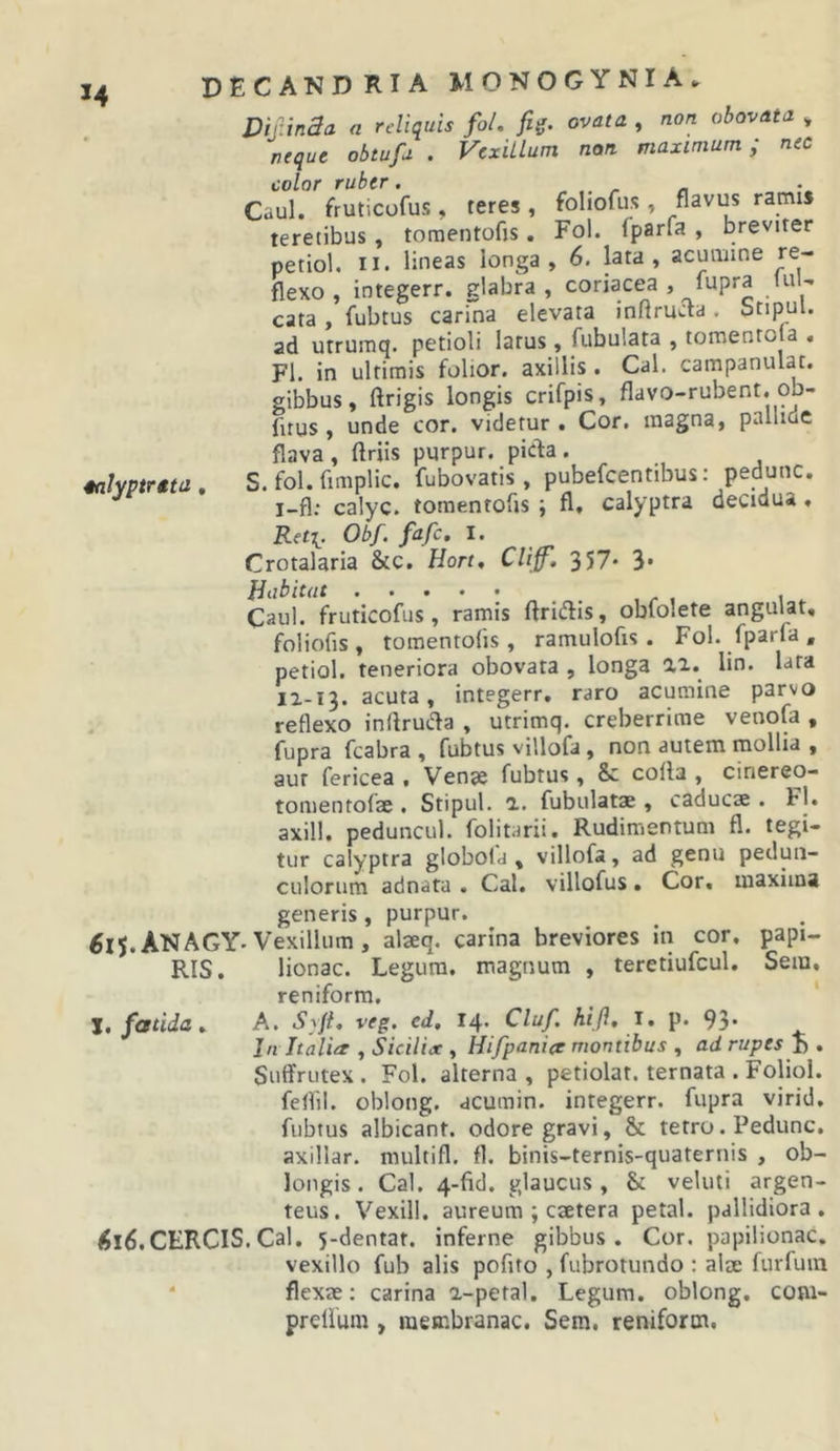 VijiinSa a reliquis fol. fig. ovata , non obovata * neque obtufu . VcxiUum non maximum; nec color ruber. ^ r n Caul. fruticofus , teres , foliofus , flavus ramis teretibus, toraentofis. Fol. fparfa , breviter petiol. II. lineas longa, 6. lata, acumine re- flexo, integerr. glabra, coriacea , lupra luU cata, fubtus carina elevata inflruaa. Stipui. ad utrumq. petioli larus, fubulata , tomentola . FI. in ultimis folior. axillis. Cal. campanulat. gibbus, ftrigis longis crifpis, flavo-rubent. ob- fitus, unde cor. videtur. Cor. magna, pallide flava, ftriis purpur. picla. %aUvtrtta . S. fol. fmiplic. fubovatis, pubefcentibus: pedunc. i-fl: calyc. toraentofis ; fl, calyptra decidua, Ket^. Obf. fafc, I. Crotalaria &amp;c. Hort, Criff, 357' 3* Habitat ^ , Caul. fruticofus, ramis ftridis, obfolete angulat, foliofis, toraentofis, ramulofis. Fol. fparfa, petiol. teneriora obovata , longa lin. lata 11-13. acuta, integerr, raro acumine parvo reflexo inflruda , utrimq. creberrime venofa , fupra fcabra , fubtus villofa, non autem mollia , aut fericea . Venae fubtus, &amp;c cofla , cinereo- tomentofae . Stipui. 1. fubulatae , caducae . Fl. axill. peduncul. folitarii. Rudimentum fl. tegi- tur calyptra globota , villofa, ad genu pedun- culorum adnata . Cal. villofus. Cor, maxima generis , purpur. ^15. ANAGY-Vexillum , alaeq. carina breviores in cor, papi- RIS. lionac. Legum, magnum , teretiufcul. Sem. reniform. ' Z, fcftida» A. Syft. veg. ed, 14. Cluf. hift, l, p. 93* In Jtaliez , Sicilia:, Hifpanicr montibus , ad rupes h , Suffrutex . Fol. alterna , petiolat. ternata . Foliol. feflil. oblong. acumin. integerr. fupra virid, fubtus albicant, odore gravi, &amp; tetro. Pedunc. axillar. niultifl. fl. binis-ternis-quaternis , ob- longis. Cal. 4-fid. glaucus, &amp; veluti argen- teus. Vexill. aureum ; caetera petal. pallidiora, &lt;5l6.CERClS.Cal. 5-dentar. inferne gibbus. Cor. papilionac. vexillo fub alis pofito , fubrotundo : alae furfuin * flexae: carina i-petal. Legum, oblong. com- prellum , membranae. Sem, reniform.