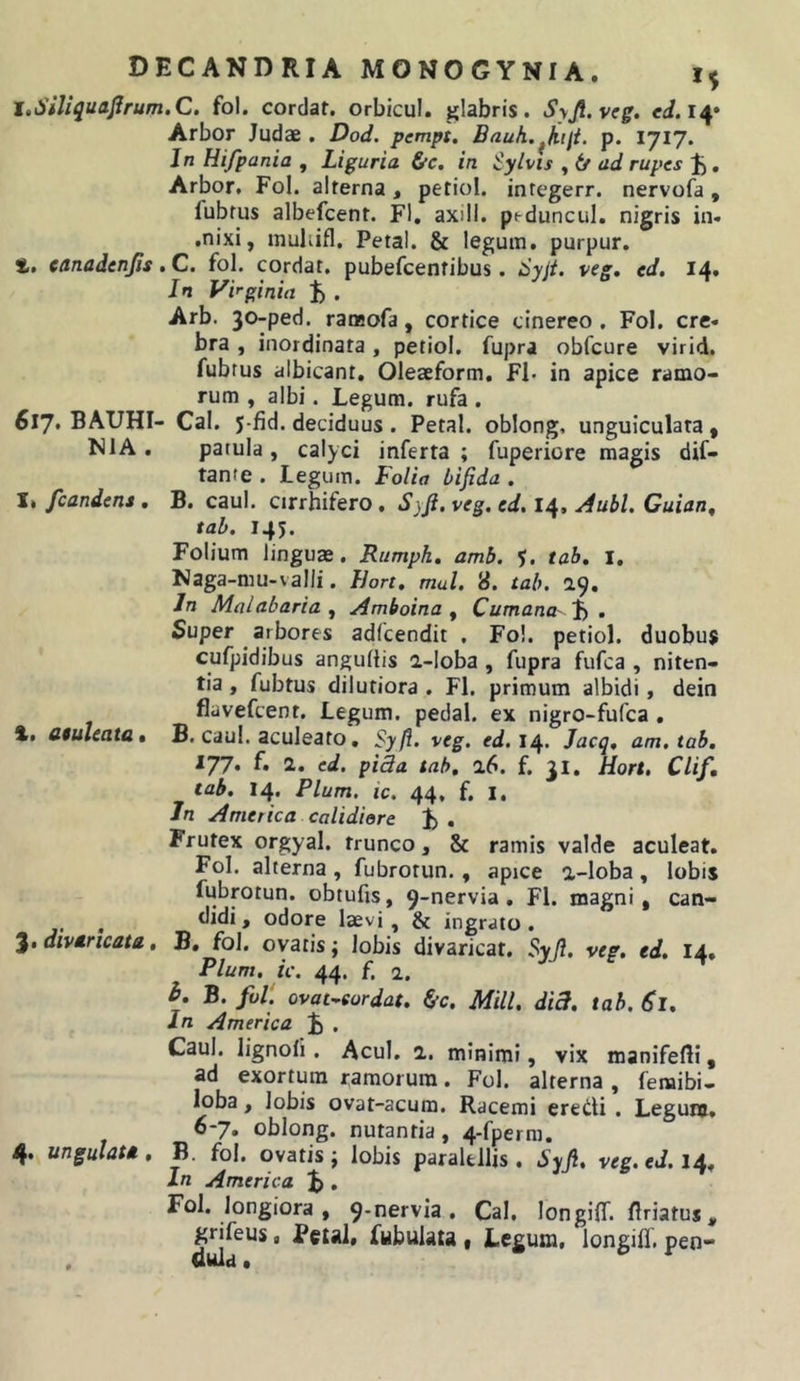 I.SiJiquaJJrum.C. fol. cordat. orbicul. glabris. Syjl.veg. ei. 14* Arbor Judae . Dod. pempt. Bauh.^hiit. p. 1717. In Hifpania , Liguria &amp;c, in Sylns , (/ ad rupes ;b . Arbor. Fol. alterna, petiol. integerr. nervofa, fubfus albefcent. FI, axill. ptduncul, nigris in- .nixi, inuliifl. Petal. &amp; legum, purpur. t. eanadenjis. C. fol. cordat. pubefcentibus. 6yjt. veg, ed. 14, In Virginia ^ . Arb. 30-ped. ransofa, cortice cinereo. Fol. cre- bra , inordinata, petiol. fupra obfcure virid. fubrus albicant, Oleaeform, FI* in apice ramo- rum , albi. Legum, rufa . 617* BAUHI- Cal. 5-fid. deciduus. Petal. oblong, unguiculata, NIA . patula , calyci inferta ; fuperiore magis dif- tante . Legum. Folia bifida . I* /candens , B. caul. cirrhifero. S)fi. veg. ed. 14, ^ubl. Guian^ tah, 145. Folium linguas. Rumph, amb. tab, i. Naga-mu-valli. llon, mul. 8. tah. a9. Jn Maiabaria ^ Amboina ^ Cumana' % . Super arbores adfcendit . Fol. petiol. duobus cufpidibus anguliis a-Ioba , fupra fufca , niten- tia , fubtus dilutiora . FI. primum albidi, dein flavefcent. Legum, pedal. ex nigro-fufca . dsuleata» B, caul. aculeato, Syfl. veg. ed. 14. Jacq, am. tab, 177. f. 1. ed. pida tah, 16. f. 31. Hort, Clif, tab, 14. Pium. ic. 44, f. I. In America calidiore F , Frutex orgyal. trunco, &amp; ramis valde aculeat. Fol. alterna , fubrotun., apice a-loba , lobis fubrotun. obtufis, 9-nervia, FI. magni, can- didi, odore laevi, &amp; ingrato. 3. divaricata, B, fol. ovatis; lobis divaricat. Syjl. veg. ed, 14, Pium, ic. 44. f. a. h, B. fol. ovat^sordat, ^c, Mill. diB, tab. 61, In America ^ . Caul. lignoli. Acui. a. minimi, vix manifefti, ad exortum ramorum. Fol. alterna , femibi- loba, lobis ovat-acum. Racemi eredi . Legunt. ^“7» oblong. nutantia, 4*fpcrm, 4» ungulata , B. fol. ovatis j lobis paralellis . Syfi, veg. ed. 14, In America , Fol. longiora , 9-nervia. Cal. longifT. flriatus ^ grifeus, Petal, fubulata t Legum, longifl. pen-