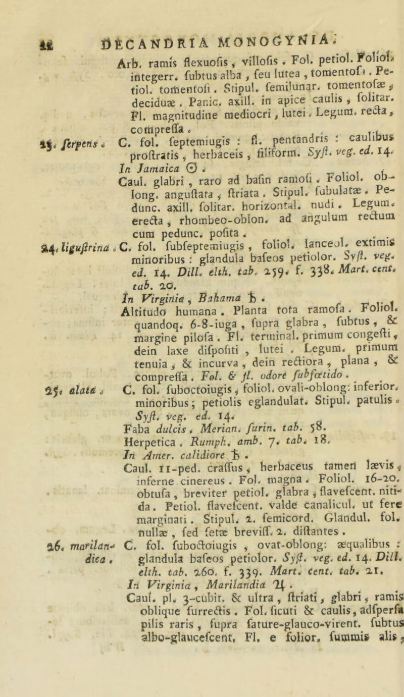 u DfeCANDRIA MONOCJYf^lA; Arb. ramis flexuofis, villofis . Fol. petiol. Foljo!. y t ft r 4-r\mar\tn\ J PP- io* rdlUO IICAUUU» 9 * w » integerr. fubtus alba , feu lutea , tomenton . Pe- tiol. torhentoii. Stipu!. femilunar^ tomen^tolae ^ deciduae . Panic. axill. in apice caulis , lolitar. FI. magnitudine mediocri, lutei^ Legum, reda, compreffa. , . t u %%,ftr»tnsi C. fol. feptemiugis : fi. pentandris : caulibus proftratis , herbaceis, fih.form. Syfl» vcg. ea. 14. Jn Jamaica 0 . i- 1 u Caul. glabri , raro ad bafin ramob . i^oliol. od - long. anguftata , ftriata . Stipul. fabulatae. Pe- dunc. axill. folitar. horizontal. nudi. Legum, ereda, rhombeo-oblon. ad angulum rectum cura pedunc. pofita. ^ . . %±tligufirina «C. io\. fubfeptemiugis , folio’. lanceol. extimis minoribus: glandula bafeos petiolor. Sy/f. veg. ed. 14. DHL elth. tab. ajQ. f. 338. Mar/. c«nf. tab. 10. Jn Virginia , Bakama 1b . _ . Altitudo humana . Planta tota ramofa. Foliol. quandoq. 6-8-iuga , fupra glabra, fubtus , &amp; margine pilofa . Fl. terininal. primum congelti, dein laxe difpofiti , lutei . Legum, primum tenuia , &amp; incurva , dein rediora , plana , &amp; compreifa . F0I. &amp; JL odore fubfatido . ajc alata 4 C. fol. fuboctoiugis, foliol. ovali-oblong: inferior, minoribus; petiolis eglandulat. Stipul. patulis. Syji. veg. ed. 14. Faba dulcis. Merian. furin. tab. 58. Herpetica . Rumph, amh. 7, tab, 18. Jn Amer, calidiore % . Caul. ii-ped. craffus, herbaceus tatyierl laevis ^ inferne cinereus . Fol. magna . Foliol. i6-ao, obtufa , breviter petiol. glabra ^ flavefcent. niti- da. Petiol. flavefcent. valde canalicul. ut fere marginati. Stipul, 1. femicord. Glandul. fol, nullae , fed fetae brevilT. 2. diftantes. a6. martlan'^ C. fol. fuboifloiugis , ovat-oblong: aequalibus : dica, glandula bafeos petiolor. Sy^, veg. ed. DHL elth. tab. a6o. f. 339. Mart, cent. tab. ai. Jn Virginia , Marilandia 74 . Caul. pl, 3-cubit. &amp; ultra , ftriati, flabri ^ ramis oblique furredis . Fol. ficuti &amp; caulis, adfperfa pilis raris, fupra fature-glauco-virent. fubtus albo-glauccfcent, Fl. e folior. fummis alis ^