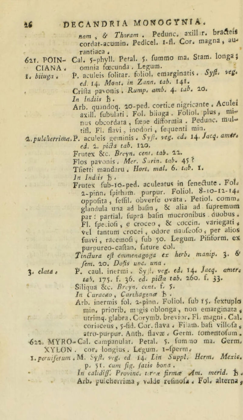 nam , &amp; Thoram . PeduiK. axill ir. brafteiS cordat-acumin* Pedicel. i-fl« Cor* magna, au^ rantiaca « ^ ^ * 6ir. POIN- Cal. 5-phyll. Pcral. 5. fummo ma. Stam. longa, CIANA* omnia foecunda. Legum. ^ ^ c a ^ 1. biiuga * P. aculeis folitar. foliol. emarginatis * dyjt* vrfif* ed. 14. Mont. in Zann. tah. 141. c Crilia pavonis * Kump, atnb. 4. tdb, 10, Jn Indiis b * ... Ali Arb. quandoq. 10-ped. cortice nigricante . Aculei axill. fubulati. FoL biiuga . Foliol. plus, mi- nus obcordata , fsene difcrnlia . Pedunc. mul— tifl. FI. flavi „ inodori , fequenti min. l.puleherriftta.P. acu'eis geminis. Syjl, \&gt;eg. c&lt;i* 1^. Jacq* amifd ed. i. tab, 110. Frutex &amp;c, Breyn. cent. tab.. 11. Flos pavonis. Mer. S .rin, tab. 45 • Tfietti mandaru . Hort. mat, 6. tub. I. Jn Indlif F . r n -n i Frutex fub-io-ped. aculeatus in feneCtute. FoL 2-pinn&lt; fpirham. purpur. Foliol. 8-10-11-144 oppofita , feini. obverfe ovata . Petiol. comme glandula una ad bafin, &amp; alia ad fupremuin par : parfial. fupra bafm mucronibus duobus. FI. fpe.iofi, e croceo , &amp; coccin. variegati , Vei tantum crocei, odore naufeofo, per alios fuavi, racemofi , fub 5®- Legum. Pifitorm. ex purpureo-caftan. fature coi. TinBura efl enimendgoga ex herbt tnanip. 3' ^ fem, 10. Do^s unc. una . 3. elatae P. caul. inermi. Sy,!. veg. ed* 14. Jacq. amere tah. 175. f. 36. ed* pida tab, 160. f. 33, Siliqua &amp;C. Breyn. ctnt. f. J. Jn Curacao , Canhagtna F . Arb. inermis fol. i-pinn. Foliol. fub 15. fextuplo min. priorib. nngis oblonga , non einarginata , ' utrimq. glabra. Corymb. brevior. FL magni. Cal. coriaceus , 5-ftd. Co'r. flava * Fiiam. bafi villofa , atro-purpur. Anth. flavse . Germ. torterttofum. •611. MYRO-Cal. campanulat. Petal. 5. fum no ma. Gerra. XYLON, cor* longius. Legum, i-fperm* l.peruifetum ,M. veg. ed 14, Lin Suppi. Herm* Mexie, p. 51 • cum fig. fatis bona . * In ealijiff'.- Provinc.- t.ri^.r firma Am. merid. F • Arb. puicheuima , vaUe refinofti • Fol. alterna $