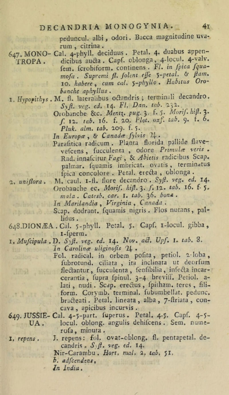 peduncul. albi, odori. Bacca magnitudine uva- rum , citrina . 647. MONO-Cal. 4-phyll. deciduus. Petal. 4. duabus appen- TROPA . dicibus auda . Capf. oblonga, 4-locul. 4-valv. fein, fcrobiform. continens . Fl. in fpica fqua- mofa . Supremi fl. fohnt ejfe 'j-petal. flam» 10. habtre, cum cal. ^-pkyllo . Habitus OrO“ bunche nphyllus . 1. Hypopithys .U. fl. lateralibus odandris ; terminali decandro. S-iJl. veg. eJ. 14* Fl. Dnn. tnb. 'l}'!. ^ Ofobancbe &amp;C. Ment\. pug.'^. f. 5* Morif.hifl.'^. f. 11. tcb. 16. f. 10. Flot. (ixf. tab. 9. f. 6, Pluk. alm. tab, 109. f. 5* In Europa:, (f Canada fylvis . Parafitica radicum . Planta florida pallide flave- vel^cens, fucculenta , odore Prmuila veris . Rad. innafcitur Fagi, &amp; Abietis radicibus Scap, palmar. fquamis imbricat, ovatis, terminatus fpica concolore . Petal. eteda , oblonga . 1, uniflora. M. caul. i-fl. flore decandro . Syfi. veg. ed. 14. Orobanche ec. Morif. hifl. 3. /. ii. tab. 16. f- 5, mala . Catesb. car. I. tab. ‘^6. bona . In Marilandia , Virginia , Canada . Scap. dodrant. fquamis nigris. Flos nutans, pal- lidus . 648. DIONiEA. Cal. 5-pbyll. Petal. 5. Capf. i-locul. gibba, i-fperm. l, Mufcipula ,D. Syft. veg. ed. 14* FJov, a3, Upf, I. tab, 3. In Carolina uliginofis 'If • Fol. radical. in orbem pofita, petiol. i-loba, fubrotund. ciliata , ita inclinata ut deorfura fledantur, fucculenta , fenfibilia, infeda incar- cerantia, fupra fpinul. 3-4 brevilT. Petiol. a- lati, nudi. Scap. eredus , fpitham. teres, fili- form. Corymb. terminal. fubumbellat. pedunc. bradeati. Petal. lineata , alba , 7-ftriata , con- cava , apicibus incurvis . 649. JUSSIE-Cal. 4-5-part. fuperus, Petal. 4-5. Capf. 4-5- UA, locul. oblong. angulis dehifcens . Sem. nurne- rofa, minuta. I, repens. J. repens: fol. ovat-cblong. fl. pentapetal. de- candris o S\fi. veg, ed. 14. K ir-Carambu . Hort, mal, 1, tab, 51, b. adfcendens. In India,