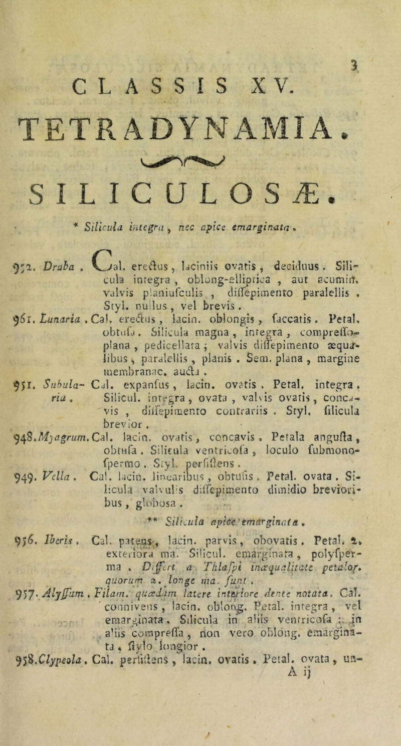 CLASSIS XV. TETRADYNAMIA. S i L I C U L O S A, * Silicula integra , nec apice emarginata» ')'i. Draba . (^val. eremus, laciniis ovaris , deciduus . Sili- cula integra , oblong-elliprica , aut acumirt, valvis planiufculis , diifepimento paralcllis . Styl. nullus, vel brevis. 9 5 r. Lunaria , Cal, ere&amp;us, lacin. oblongis, faecatis. Petal, obtufa. Silicula magna , integra , compreiTa- plana , pedicellara ; valvis diflepimento ecqua* iibus, paralcllis, planis . Seni, plana , margine membranae, aucta . 9)1. Subula- C A. exp3nfus, lacin. ovatis. Petal. integra. ria . Silicul. integra, ovata, valvis ovatis, conca- vis , diifepimento contrariis . Sryl. filicula brevior . ^ifS.M-jagrum. Cal. lacin. ovatis, concavis. Petala angufta, obtufa . Silicula ventricola , loculo fubmono- fpermo . Styl. perbitens. 949. Vella. Cal. lacin. linearibus, obtufis . Petal. ovata. Si- licula valvuLs diifepimento dimidio breviori- bus , globosa . ** Silicula apice'emarginata . 9)6. lberis, Cal. patens, lacin. parvis, obovatis. Petal. i, exteriora ma. Silicul. emarginata, polyfper- ma . Differt a Thlafpi inaequalitate petalo/. quorum z. longe ma. funt . 957- Aljffum . Filam. quadam latere interiore dente notata. Cal. coonivens, lacin. oblong. Petal. integra , vel emarginata. Silicula in aliis venrricofa ?n a’iis coinprelfa , non vero obloug. emargiiia- ta , flylo longior . yfi.Clypeola, Cal. perliilens , lacin. ovatis. Petal. ovata, un- A ij v