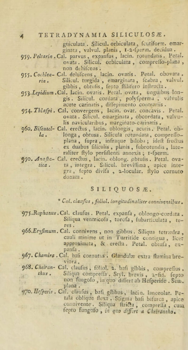 guiculata . Silicul. orbiculata, fcutiform. emar- ginata , valvul. planis, i-2-fperm. decidua . 9 $9. Peltaria . Cal. parvus, expanfus , lacin. rotundatis . Petal. ovata . Silicul. orbiculata , comprello-plana , non dfchifcens . 955, Cochlea- Cal. dehjfcens , lacin. ovatis. Petal. obovata . ria . Silicul. turgida , emarginara , fcabra , valvul. gibbis , obtulis , fepto fliiifero inftrucla . Lepidium .Cal. lacin. ovaris. Petal. ovata, unguibus lon- gis . Silicul. cordata , polyfperma , valvulis acute carinatis, diffepimento contrariis . Thlafpi. Cal. convergens, lacin. ovat, concavis. Petal. ovata. Silicul. emarginara, obeordata, valvu- lis navicularibus, margiriato-carinatis. 960. Bifcutel- Cal. ere&amp;us , lacin. oblongis, acutis. Petal. cb- la . longa, obtusa. Silicula rotundata, comprello- plana , fupra , infraque biloba ; idell frudlus , ex duabus filiculis , planis , fubrotundis , lare- raliter ffylo perfidenti annexis \ i-fperm. 9JO. yfnajla- Cal. ereflus , laciri. oblong. .obtulis . Petal. ova- tica . ta , integra. Silicul. brevilfiina , apice inte- gra , (cpto divifa , i-locular. llylo cornuto donata . SILIQUOS1E. * Cal. claufus ffoliol. Ion gptudin aliter conniventibus . yj Raphanus. Cal. claufus. Petal. expanfa , oblongo-cordata . Siliqua ventricola , torefa , (ubarticulata , te- res . &lt;)66.EryJimum. Cal. connivens , non gibbus. Siliqua tetrtedra , cauli minime ut in Turritide contigua , licer approximata, ik eretla . Petal. obtufa, ex- panfa . 967. Ckamira . Cal. bali cornutus. Glandulae extra flamina bre- viora . 968. Cheiran- Cal. claufus , foliol. 2. bafi gibbis , compreflus . thus . Siliqua cotnpretla . Sryl. brevis , 2-fid. fepto non fuugofo , in quo diflert ab Hefperide . Seni, plana . 970. Hejperis . Cal. claufus , bafi gibbus, lacin. lanceolat. Pe- tala oblique flexa . Stigma bali bifurca , apice ccjmivcnte . Siliqua flrifta , compreila , cum fepto Fungofo , in quo di fert a CAcirantha.