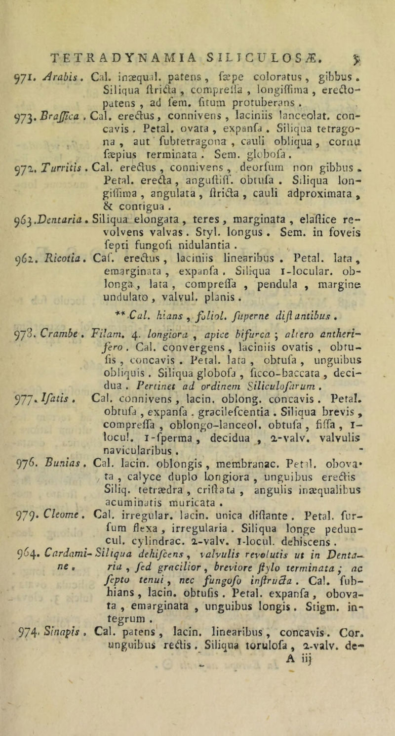 971. trabis. Cal. incequ.il. patens, fcepe coloratus, gibbus. Siliqua llrida , compreffa , longilTima , eredo- patens , ad lem. fitum protuberans . 973. Brajfica . Cal. eredus , connivens , laciniis lanceolat. con- cavis . Pet3l. ovata , expanfa . Siliqua tetrago- na , aut fubtetragona , cauli obliqua , cornu fmpius terminata . Sem. globofa . 572. Turritis . Cal. eredus , connivens , deorfum non gibbus . Petal. ereda , angultiff. obtufa . Siliqua lon- gifftma , angulata , flrida , cauli adproximata , &amp; conrigua . 963 .Dentaria. Siliqua elongata , teres, marginata, elaftice re- volvens valvas . Styl. longus . Sem. in foveis fepti fungofi nidulantia . 962. Ricotia. Cal. eredus, laciniis linearibus . Petal. lata, eraarginara , expanfa . Siliqua i-lccular. ob- longa, lata , compreffa , pendula , margine undulato, valvul. planis. **-Cal. hians , fjlioi. fuperne dift antibus . 97^. Crambe . Filant. 4. longiora , apice bifurca ; altero antheri-~ fero. Cal. convergens, laciniis ovatis, obru- fis , concavis . Petal. lata , obtufa , unguibus obliquis. Siliqua globofa , ficco-baccara , deci- dua . Pertinet ad ordinem Silicula far uni. 977* Ifatis. Cal. connivens, lacin. oblong. concavis. Petal. obtufa , expanfa . gracilefcentia . Siliqua brevis , compreffa, oblongo-lanceol. obtufa, fiffa , I- locu!. i-fperma, decidua , a-valv. valvulis navicularibus . 976. Bunias. Cal. lacin. oblongis, membranae. Petal. obova* ta , calyce duplo longiora , unguibus eredis Siliq. tetraedra , erilia ta , angulis inaequalibus acuminjtis muricata . 979• Cleome. Cal. irregular. lacin. unica dillante . Petal. fur- fum flexa , irregularia . Siliqua longe pedun- cul. cylindrac. a-valv. i-locul. dehiscens . 964• Cardami-Siliqua dehifcens, valvulis revolutis ut in Denta- ne . ria , fed gracilior , breviore fiylo terminata ; ac fepto tenui, nec fungofo inflruSa . Cal. fub- hians , lacin. obtufis. Petal. expanfa , obova- ta , emarginata , unguibus longis. Stigm. in- tegrum . 974•Sinapis. Cal. patens, lacin. linearibus, concavis. Cor. unguibus redis. Siliqua torulofa , a-valv. de- A iij