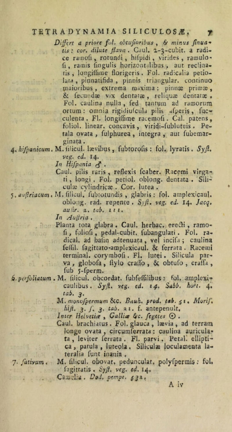 Differt a priore fui. obtujioribus , &amp; minus Jinua* tis: cor. dilute flava . CjuI. a~3~cubit. a radi- ce ramofi, rotundi, hifpidi , virides, ramulo- (i, ramis lingulis horizontalibus , aut reclina- fis, longifiime florigeris. Fol. radicalia petio- lara , pinnatifida , pinnis triangular. continuo piaioi ibus , extrema maxima : pinnas primae , &amp; lecundae vix dentatae, reliquae dentatae , Fol. caulina nulla, fed tantum ad ramorum ortum: omnia rigidiulcula pilis dfperis, fuc- culenta . FI. longifiime racemofi. Cal. patens, foliol. linear. concavis , viridi-fubluteis . Pe- tala ovata , fulphurea, integra , aut fubemar- ginata . 4, hifpanicum. M. iilicul. laevibus, fubtorofis: fol, lyratis. Syjl. veg. ed. 14. In Hifpania (f . Caul. pilis raris, reflexis fcaber. Racemi virga- ti, longi . Fol. petiol. oblong. dentata , Sili- culae cylindricae . Cor. lutea . 5. euftriacutn, M. filicul. fubtotundis , glabris: fol. amplexicaul. oblong. rad. repente . Syjl. veg. ed. 14. Jacq. auiir. a. tab. 111. In A ultri a , Planta tota glabra , Caul. herbae, eredi , ramo- li, foliofi, pedal-cubir. fubangulati . Fol. ra- dical. ad bafin adtenuata , vel incifa ; caulina feflil. fagittato-amplexicaul. &amp; ferrata . Racemi terminal. corymbofl. FI. lutei. Silicula par- va , globofa, llylo craifo , &amp;; obtufo , craifa , fub 5-fperm. b. per foliatum. M. filicul. obeordat. fubfeflilibus : fol. amplexi-* caulibus. Syjl. v(g. ed. 14. Sabb, hort. 4, tab. 3. M. nionofpcrnwm &amp;C. Bauli, prod. tab. 51, Morif. hijl. 3. /. 3. tab. zt. f. antepenulf, Jnter Helvetice , Gallia fyc. fegetes © . Caul. brachiatus. Fol. glauca, laevia, ad terram longe ovata , circumferrata : caulina auricula- ta , leviter ferrata . FI. parvi. Petali ellipti- ca , patula , luteola. Siliculae loculamenta la- teralia funt inania . 7. futivutn. M. filicul. obovat, pedunculat, polyfperrais: fui. fagittatis . Syjl. veg. ed. 14. Canidia. Dad. otmpt. $3*.