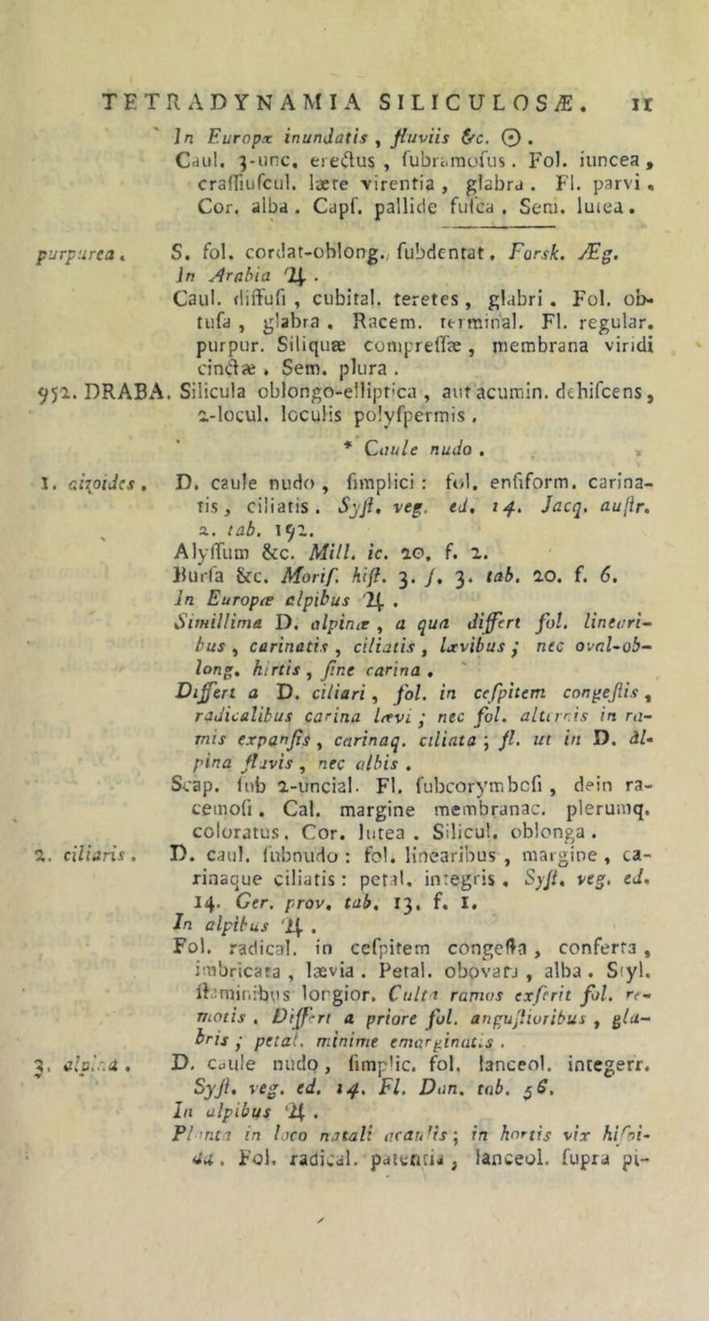 in Europx inundatis , fluviis &amp;c. 0. Caul. 3-unc, eredus , fubrt.mofus. Fol. iuncea , crafliufcul. laete virentia , glabra . FI. parvi , Cor. alba. Capf. pallide fufca . Seni, lutea. purpurea, S. fol. cordat-oblong., fubdentat. Forsk. JEg. In Arabia 4- Caul. diffufi , cubital, teretes, glabri. Fol. ob- tufa , glabra . Racem. terminal. FI. regular. purpur. Siliquae conipreflae, membrana viridi cindai . Sem. plura . 951. DRABA. Silicula oblongo-ellipoca , aut acumin. dehifcens, i-locul. loculis polyfpermis . * Caule nudo . I. ci^oidcs . D. caule nudo, fimplici : fol. enftform. carina- tis, ciliatis. Syft, veg, ed. 14. Jacq, aujir. a. tab. 191. Alyfliim &amp;c. Mill. ic. ao, f. 1. Uurfa &amp;c. Morif. hift. 3. J, 3. tab. 2.0. f. 6. In Europee alpibus . Simillima D. alpinir , a qua differt fol. lineari- bus , carinatis, ciliatis, Ixvibus j nec ovr.l-ob- long. hirtis , fine carina . Differt a D. ciliari, fol. in ccfpitem congejiis, radicalikus carina Icevi ; nec fol. alternis in ra- mis expanjis , carinaq. ciliata ; fl. ut in D. iU pina flavis , nec albis . Scap. fnb a-uncial. Fl. fubcorymbcfi , dein ra- cemofi. Cal. margine membranae, plerumq. coloratus. Cor. lutea. Silicut. oblonga. a. ciliaris. D. caul. fubnudo : fol. linearibus , margine, ca- rinaque ciliatis: petal. integris, Syft, veg. ed. 14. Ger. prov, tab. 13, f. I. In alpibus 'l[ . Fol. radical. in cefpitem congefta, conferta, irabricaea , laevia . Petal. obovara , alba . S;yl. flaminibus lorgior. Culta ramos exferit fol. re- motis . Differt a priore fol. anguflioribus , gla- bris ■ petal. minime emarginatis . . alvina. D. c«u!e nudo, fimplic. fol. lanceo!, integerr. Syjl. veg. ed. 14. Fl. Don. tab. $6. In alpibus . Plrnta in loco natali ac an fis; in hortis vix hifoi- ua. Fol. radical. patentia, lanceoi. fupra pi-