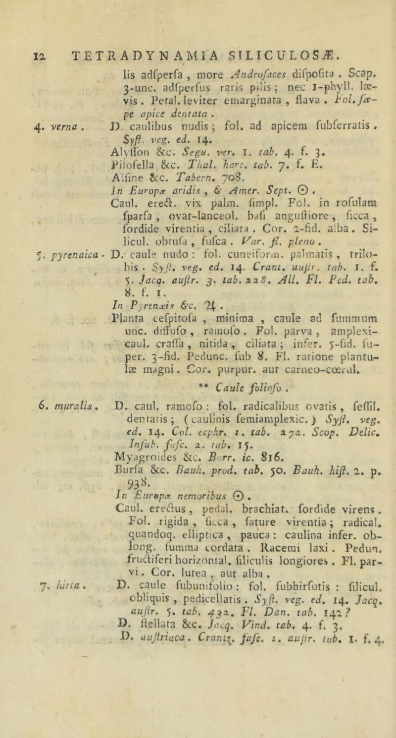 lis adfperfa , more Andrufaces difpofira . Scap. 3-unc. adfperfus raris pilis; nec j-phyll. lar- vis. Peral. leviter emarginata , flava, Fol. fit- pe apice dentata . 4. verna . ]) caulibus nudis ; fol. ad apicem fubferratis . $yft. veg. ed. 14. Alyilon &amp;c. Segu. ver. I. tab. 4. f. 3. Piiofella &lt;kc. Thal. harc, tab. 7. f. E. Alline &amp;,c. Tabem. 708. In Europa: aridis , d' sImer. Sept. ©. Cani, erefl. vix palm. fimpl. Fol. in rofulam fparfa , ovar-lanceol. bafi angufliore , ficca, fordide virentia, ciliata. Cor. l-fid. alba. Si- licul. obtufa , fufca . Var. fi. pleno . 5. pyrenaiea - D. caule nudo: fol. CuneiForm, palmatis, trilo- bis • Syjt. veg. ed. 14. Crar.t. aujir. tab. I. f. 5. Jacp. auftr. 3. tab. 22 S. AU. FI. Pcd. tab. 8. f. i. Jn P\rtnxis &amp;e. 'Ut . Planta cefpitofa , minima , caule ad fummum unc. ditFufo , ramulo . Fol. parva , amplexi- caul. craffa , nitida , ciliata ; infer. 5-fid. fu- per. 3-fid. Pedunc. iub 8. FI. ratione plantu- lte magni. Cor. purpur. aut carneo-coerul. ** Caule foliofo . 6. muralis. D. caul. ramofo : fol. radicalibus ovatis, feftil. dentatis ; ( caulinis femiamplexic. &gt; Syjl. veg. ed. 14. Coi. ecphr. t. tab. a.yz. Scop. Delie. Injub. fjfc. 2. tab. 15. Myagroides &amp;c. B rr. ic. 816. Burfa &amp;c. Bauli. prod. tab. 50. Bauh. hifi. 2. p. 938. Jn £ a rapa nemoribus © . Caul. ereiftus, pedul. brachiat. fordide virens. Fol. rigida , ficca , fature virentia; radical. quandoq. elliptica , pauca : caulina infer, ob- long. fumma cordata . llacerai laxi . Pedun. frudiferi horizontal. filiculis longiores. FI. par- vi . Cor. lutea , aut alba . 7. hiiia. D. caule fubunifolio: fol. fubbirfutis : fili cui. obliquis , pedicellatis . Syjl. veg. ed. 14. Jacq. aujir. 5. tab. 432. FI. Dan. tab. 1^2? D. Bellata &amp;c. Jacq. Vind. tab. 4. f. 3.