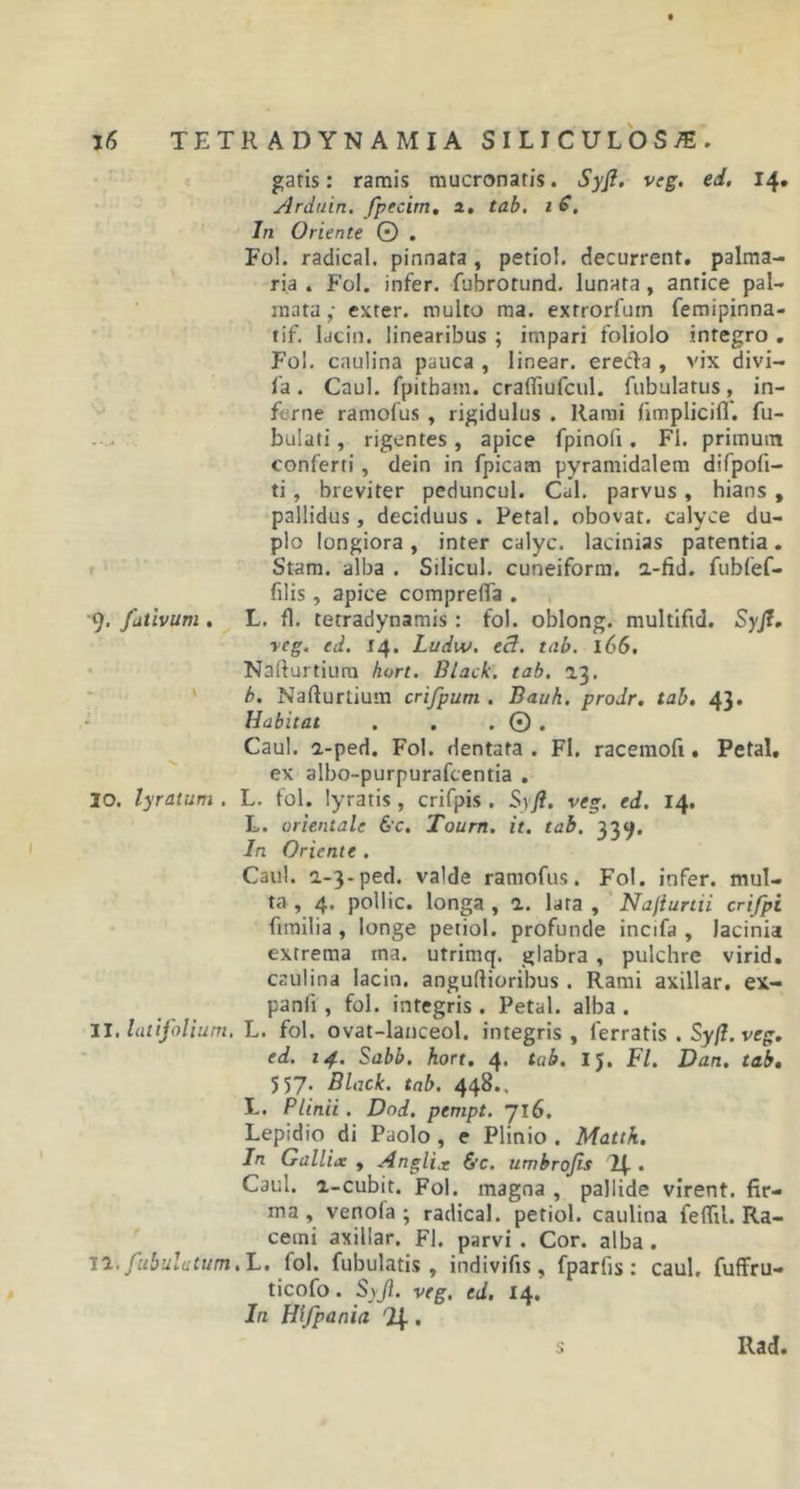 garis: ramis mucronatis. Syfi. vcg. ed, 14. Arduin. fpecim. 2. tab. 1 6. In Oriente © . FoJ. radical. pinnata, petiol. decurrent, palma- ria . Fol. infer, fubrotund. lunata , antice pal- mata ,• exter, multo ma. extrorfuin femipinna- tif. lacin. linearibus ; impari foliolo integro . Fol. caulina pauca , linear. erecla , vix divi— fa. Caul. fpitbam. craffiufcul. fubulatus, in- ferne ramofus , rigidulus . Rami fimplicifl. Tu- bulati, rigentes, apice fpinofi. FI. primum conferti , dein in fpicam pyramidalem difpoli- ti , breviter peduncul. Cal. parvus, hians , pallidus, deciduus. Petal. obovat. calyce du- plo longiora , inter calyc. lacinias patentia. Stam. alba . Silicul. cuneiform. o.-fid. fubfef- filis, apice compreflfa . 9. futivum . L. fl. tetradynamis: fol. oblong. multifid. Syft. yeg. ed. 14. Ludw. ecl. tab. 166. Nafturtiura hort. Black, tab. 23. b. Nafturtium crifpum . Bauh. prodr. tab. 43. Habitat . . . 0 . Caul. 2-ped. Fol. dentata. FI. racemofi. Petal. ex albo-purpurafcentia . 10. lyratum . L. fol. lyratis , crifpis. Syft. veg. ed. 14. L. orientale 6c. Tourn. it. tab. 339. In Oriente . Caul. 2.-3-ped. valde ramofus. Fol. infer, mul- ta , 4. pollic. longa , 2. lata , Najiurtii crifpi fimilia , longe petiol. profunde incifa , lacinia extrema tna. utrimq. glabra , pulchre virid. caulina lacin. angudioribus . Rami axillar. ex- panli, fol. integris . Petal. alba . II .latifolium, L. fol. ovat-lanceol. integris, ferratis . Syft. veg. ed. 14. Sabb. hort. 4. tab. IJ. Fl. Dan. tab. 557. Black, tab. 448.. L. Plinii . Dod. ptmpt. 716. Lepidio di Paolo , e Plinio. Matth. In Gallix , Anglix &amp;c. umbrojis . Caul. 2-cubit. Fol. magna , pallide virent, fir- ma , venola ; radical. petiol. caulina feflil. Ra- cemi axillar. Fl. parvi. Cor. alba. 12. fubulctum, L. fol. Tubulatis , indivifis, fparfis : caul. fuffru- ticofo. Syjl. veg. ed. 14. In Wfpania . s Rad.