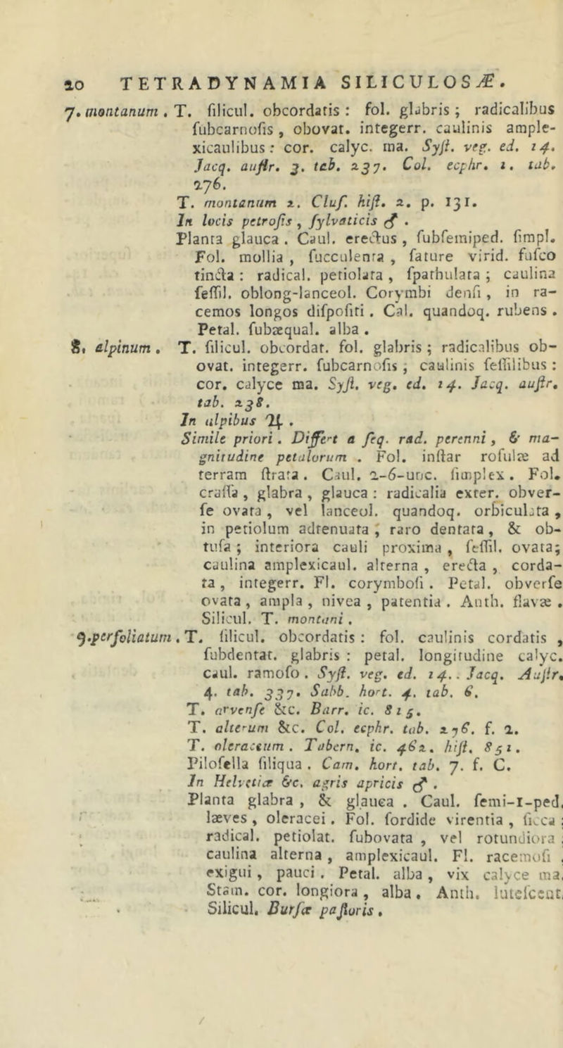 j. montanum . T. filicul. obcordaris : fol. glabris; radicalibus fubcarnofis , obovat. integerr. caulinis ample- xicaulibus: cor. calyc. ina. Syji. vrg. ed. 14. Jacq. auflr. 3. tcb. 237. Coi. ecphr. 1. tab. 476. T. montanum 2. Cluf. hijl. 2. p. 131. lrt locis petrojis , fylvaticis £ . Planra glauca . Caul. erectus , fubfemiped. fimpl. Fol. mollia , fucculenra , fature virid. fufco tin&amp;a : radica!, petiolara , fparhulata ; caulina feflil. oblong-lanceol. Corymbi deufi , in ra- cemos longos difpofiri. Cal. quandoq. rubens . Petal. fubaequal. alba . dlpinum . T. filicul. obcordat. fol. glabris ; radicalibus ob- ovat. integerr. fubcarnofis , caulinis felfilibus : cor. calyce ma. Syjl. veg. ed. 14. Jacq. aufir. tab. 238. In ulpibus . Simile priori . Differt a feq. rad. perenni, &amp; ma- gnitudine petalorum . Fol. inftar rofulte ad terram ftrara. Caul. a-6-unc. iimplex. Fol* craffa , glabra , glauca : radicalia exter, obver- fe ovata, vel ianceol. quandoq. orbicuLta , in petiolum adrenuata , raro dentata, &amp; ob- tufa ; interiora cauli proxima , feflil. ovata; caulina amplexicaul. alterna , ereda , corda- ta , integerr. FI. corymbofi. Petal. obverfe ovata , ampla , nivea , patentia . Anth. flavae . Silicul. T. montani . t}.ptrfoliatum. T. filicul. obcordatis : fol. caulinis cordatis , fubdentat. glabris : petal. longitudine calyc. caul. ramofo . Syfi. veg. ed. 14... Jacq. Aujir, 4. tab. 337. Sabb. hort. 4. tab. 6, T. arvenfe &amp;c. Barr. ic. 8i$. T. alterum &amp;c. Coi. ecphr. tob. 276. f. 1. T. oleraceum. Tabcrn. ic. 462. hijl. 851. Pilofella (iliqua . Cam. hort. tab. 7. f. C. In Helvetice &amp;c. agris apricis (f . Planta glabra , &amp;; glauca . Caul. femi-i-ped, laeves , oleracei. Fol. fordide virentia , licca ; radical. petiolat. fubovata , vel rotundiora , caulina alterna, amplexicaul. FI. racemofi . exigui, pauci . Petal. alba, vix calyce ma, Stsin. cor. longiora , alba. Anth. lutclccnt, • Silicul, Burfce p a for is . /