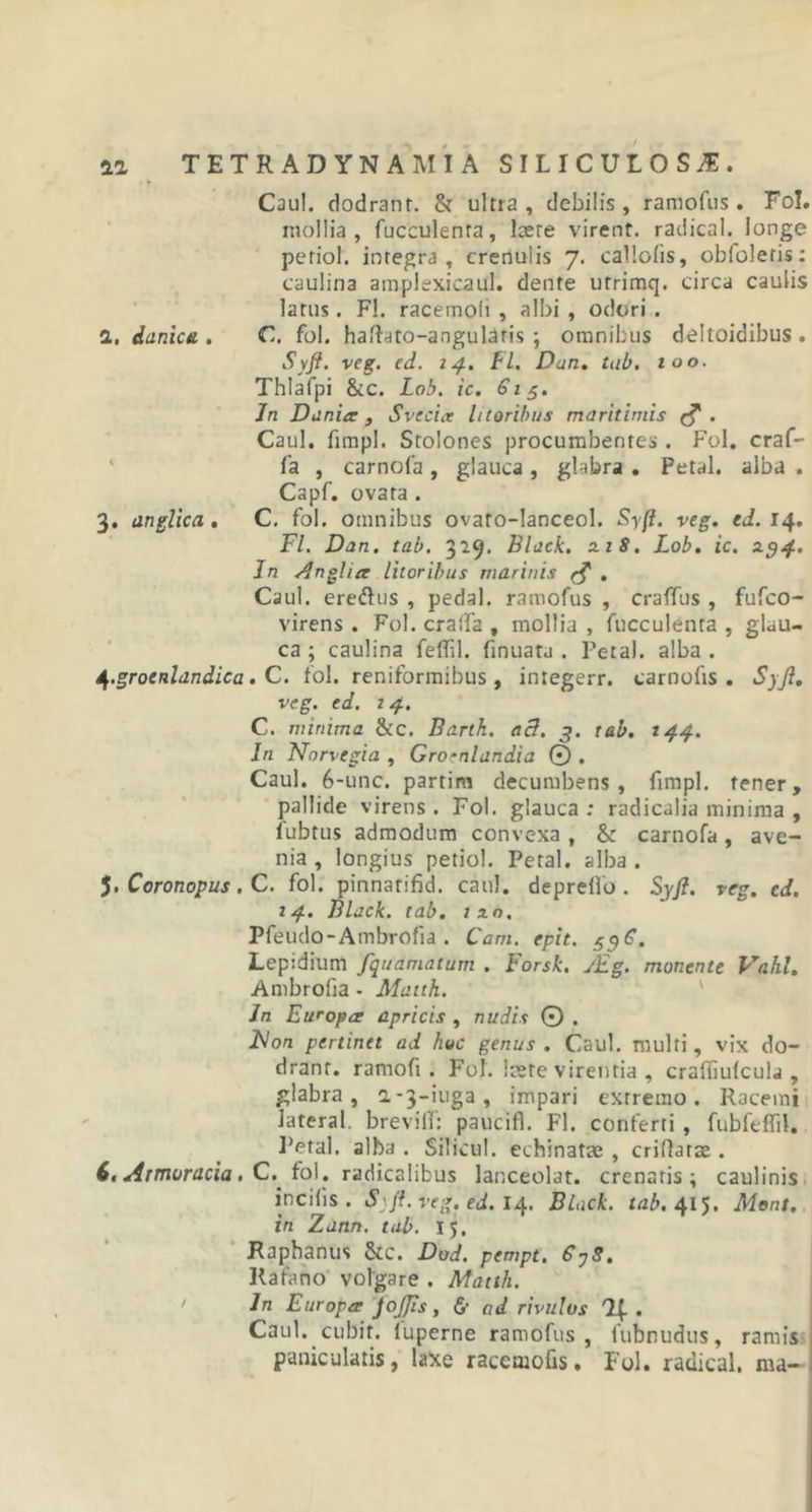 Caul. dodrant. &amp; ultra, debilis, ramofus. Fol. mollia, fucculenra, loere virent, radical. longe periol. integra , crenulis 7. callolis, obloletis: caulina amplexicaul. dente utrimq. circa caulis larus. F!. racemoli , albi , odori. I, danica . C. fol. hafhto-angulatis ; omnibus deltoidibus . Syfi. veg. ed. 14. FI. Dan. tab. 100. Thlafpi &amp;c. Lob. ic. 6i$. In Danite, Svecite litoribus maritimis . Caul. fimpl. Stolones procumbentes . Fol. craf- fa , carnofa, glauca, glabra . Petal. alba . Capf. ovata . 3. anglica . C. fol. omnibus ovato-lanceol. Syfi, veg. ed. 14. FI. Dan. tab. 319. Black. xiS. Lob. ic. st.94. In Anglicc litoribus marinis r$ . Caul. ereftus , pedal. ramofus , craffus , fufeo- virens . Fol. cralfa , mollia , fucculenta , glau- ca ; caulina feflil. finuata . Petal. alba . ^.grocnhindica. C. fol. reniformibus, integerr. carnofis . Syfi. veg. ed. 2 4. C. minima &amp;c. Bank. aB. 3. tab. t44. In Norvegia , Groenlandia © . Caul. 6-unc. partim decumbens, fimpl. tener, pallide virens . Fol. glauca ; radicalia minima , fubtus admodum convexa , &amp;: carnofa , ave- nia , longius petiol. Petal. alba. J. Coronopus. C. fol. pinnarifid. caul. deprelfo . Syfi. veg. cd. 14. Black, tab. ixo, Pfeudo-Ambrofia . Cam. epit. 55^. Lepidium fquamatum . Forsk. AZg. monente Vahl. Ambrofia - Matth. In Europce apricis , nudis © . Bion pertinet ad hoc genus . Caul. multi, vix do- dranr. ramofi . Fol. laete virentia , craffiulcula , glabra, a-3-iuga, impari extremo. Racemi lateral. breviff: paucifl. FI. conferti, fubfeffil. Fetal. alba . Silicul. echinatae , criflatae . 6. Armoracia. C. fo\. radicalibus lanceolat. crenaris ; caulinis incilis. S'fi.veg.ed. 14. Black. 112/1.415. Alent, in Zann. tab. 15. Raphanus 5tc. Dod. pempt. &lt;SjS. Kafano volgare . Matth. In Europte JoJJis, 6 ad rivulus . Caul. cubit. luperne ramofus, fubnudus, ramis paniculatis, laxe raccoioGs. Fol. radical. ma-