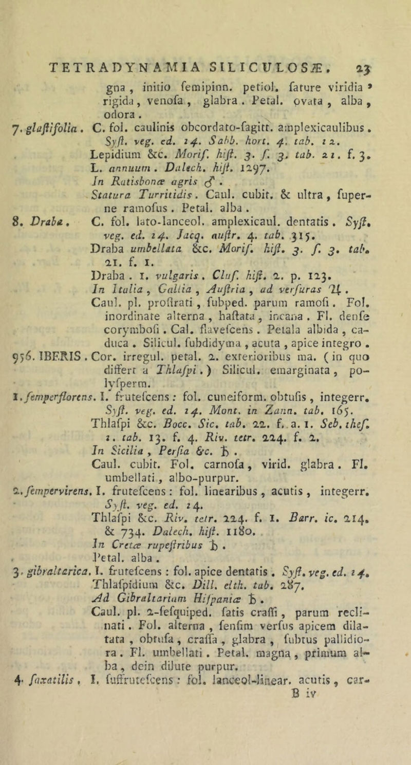 gna , initio femipinn. petiol. fature viridia * rigida , venofa , glabra . Petal. ovata , alba , odora . J. glaftifolia. C. fol. caulinis obcordato-fagitt. amplexicaulibus. Syft. veg. ed. 14. Sabb. hort. 4, tab. 1 z. Lepidium &amp;c. Morif. hift. 3. f. 3. tab. zi. f. 3. L. annuum . Daltch. hift. 12.97* In Ratisbonee agris (f . Statura Turritidis. Caul. cubit. &amp; ultra, fuper- ne ramofus. Petal. alba . 8. Draba. C. fol. lato-lanceol. amplexicaul. dentatis. Syft» veg. ed. 14. Jacq. auftr. 4. tab. 315. Draba umbellata &amp;c. Morif. hift. 3. f. 3. tab, ai. f. 1. Draba . 1. vulgaris. Cluf. hift. a. p. 123. In Italia , Gallia , Auftria , ad verfuras . Caul. pl. proftrati, fubped. parum ramofi. Fol. inordinate alterna , haftatu , incana . FI. denfe corymbofi. Cal. fiavefcens. Petala albida , ca- duca . Silicul. fubdidytna , acuta , apice integro . 956. IBF.RIS . Cor. irregul. petal. 2. exterioribus ma. (in quo differt a Thlafpi.) Silicul. emarginata, po- lvfperm. l.fempcrflorens.l. frutefcens; fol. cuneiform. obtufis, integerr. Syft. veg. ed. 14. Mont. in Zann. tab. 165. Thlafpi &amp;c. Bocc. Sic. tab. 22. f. a. i. Seb.ihef. t. tab. 13. f. 4. Riv. tetr. 224. f. 2. In Sicilia , Perfia 6-c. B . Caul. cubit. Fol. carnofa, virid. glabra. FI. umbellati, albo-purpur. l.fempcrvirens. I. frutefcens : fol. linearibus , acutis , integerr. Syft. veg. ed. 14. Thlafpi Scc. Riv. tctr. 224. f. I. Barr. ic. 214. &amp; 734. Dalech. hift. 1180. In Cretee rupeftnbus i) . Petal. alba . 3. gibraltcrica. I. frutefcens: fol. apice dentatis. Syft. veg. ed. 14. Thlafpidium &amp;c. Dill. elth. tab. 287. Ad Gibraltariam Hi/panies B . Caul. pl. 2-fefquiped. fatis craffi, parum recli- nati . Fol. alterna , fenfim verfus apicem dila- tata , obrufa, cralfa , glabra , fubtus pallidio- ra . FI. umbellati . Petal. magna , primum al- ba , dcin dilure purpur. 4- faxatilis . I. fuffrutefeens .* fol. lanccol-linear. acutis, car- B iv