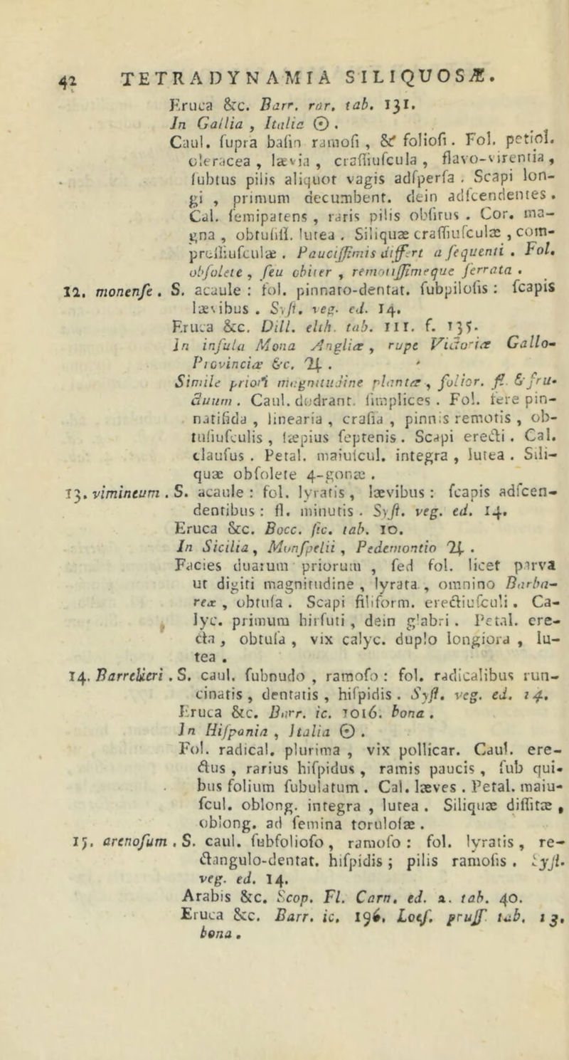 4* Eruca &amp;C. Barr. rar. tab. 131« Jn Gallia , Italia © . Caul. fupra balin raraofi, foliofi. Vol. petiol. oleracea, laevia, crafliufcula , flavo-vireniia , lubtus pilis aliquot vagis adfperla . Scapi lon- gi , primum decumbent, dein adfcendentes. Cal. femiparens , raris pilis obfirus . Cor. ma- gna , obtulill. lutea . Siliquas crafliufcula:, cotn- prelliufcula: . Paucijfimis differt a fequenti . Fol. obfolete , feu obiter , remoufjimeque ferrata . II. monenfe . S. acaule : fol. pinnaro-dentat. fubpilotis : fcapis lae\ibus . S\ft. veg. ed. 14. Eruca &amp;c. Dill. ehh. tab. m. f. t 35. in infula Mona ydnglia , rupe Vidoriee Gallo- Piovinciee 6tc. %• Simile priori magnitudine planter , folior. fi. &amp;j'ru^ Suum . Caul. dodrant. limplices . Fol. tere pin- natifida , linearia , crafia , pinnis remotis , ob- tuliufculis , kepius feptenis. Scapi eredi. Cal. tlaufus . Petal. maiuicul. integra , lutea . Sili- quae obfolete 4-gonae . 13. vimineum . S. acaule: fol. lyratis, laevibus: fcapis adfcen- dentibus : fl. minutis. Syft. veg. ed. 14. Eruca &amp;c. Bocc. /ic. tab. IO. In Sicilia, Munfpelii, Pedemontio 24 . Facies duarum priorum , feri fol. licet p.irva ut digiti magnitudine, lyrata , omnino Barba- rex , obtufa . Scapi filiform. erediufculi. Ca- lyc. primum hirfuti , dein g'abri . Petal. ere- cta , obtufa , vix calyc. duplo longiora , lu- tea . 14. BarnUeri. S. caul. fubnudo , ramofo : fol. radicalibus run- cinatis , dentatis, hilpidis . Syfl. veg. ed. 14. Eruca &amp;c. Barr. ic. 7016. bona. Jn Hifpania , Italia 0 . Fol. radical. plurima , vix pollicar. Caul. ere- dus , rarius hifpidus , ramis paucis , fub qui- bus folium fubuiatum . Cal. laeves . Petal. maiu- fcul. oblong. integra , lutea . Siliquae diflitae , oblong. ad femina torulolae . 15. arenofum.S. caul. fubfoliofo, ramofo: fol. lyratis, re- dangulo-dentat. hifpidis ; pilis ramotis . iyfi. veg. ed. 14. Arabis &amp;c. Scop. Fl. Carn. ed. a. tab. 40. Eruca &amp;c. Barr. ic. 19$, 1LoeJ'. pruff tab, 13, bona.