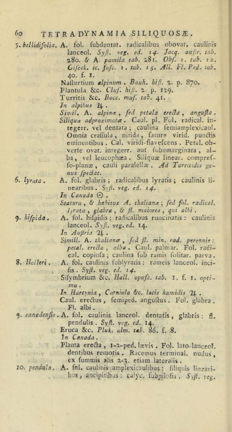 5. bellidifolia. A. fol. fubdentat. radicalibus obovar. caminis lanceol. Syfi. veg. ed. 14. Jacq. aujir. tab. 2.80. 6’ A. pumila tab. 28 (. Obf. 1. tab. iz. Gifcck, tc. fajc. 1 . tab. 1 5. Ali. Jl. Ped. tab. 40. f. I. Nalhirtium alpinum . Bauh. hift. 1. p. 870. Plantula &amp;c. Cluf. hiji. a. p. 129. Turritis &amp;c. Bocc. muf. tab. 41. Jn alpibus 2+ . Simii. A. alpin&lt;x , fed petala erecla , angufla. Siliqucc adproximata . Caul. pl. Fui. radical. in- tegerr. vel dentata ; caulina femiamplexicaul. Omnia cralfula , nitida , fature virid. pundis eminentibus. Cal. viridi-flavefeens . Petal. ob- verte ovat, inregerr. aut fubemarginara , al- ba , vel leucophaea . Siliquae linear. compref- 1'o-planae, cauli paralellae . Ad Turritidis pe- nus fpedat. 6. lyrata. A. fol. glabris; radicalibus lyratis; caulinis li- nearibus. Syjl. veg. ed. 14. Jn Canada 0 . Statura , &amp; habitus A. thaliana; fed fol. radical. lyrata , glabra , 6’ jl. maiores , qui albi . 9. hifpida. A. fol. hifpidis: radicalibus runcinaris: caulinis lanceol. Syft, reg.ed. 14. In Aujlria Tf • Simili. A. thaliana1 , fed jl. min. rad. perennis : petal. erecta , alba . Caul. palmar. Fol. radi- cal. copiofa ; caulina fub ramis folitar. parva. 8. Halleri. A. fol. caulinis fublyratis: rameis lanceol. inci- fis . Syji. vcg. ed. 14. Sifymbrium &amp;c. Hali, opufe. tab. 1. f. 1. opti- ma . Jn Harcynia , Carniola &amp;c. locis humi Jis df . Caul. eredus, femiped. angullus. Fol. glabra. FI. albi. 9. canadtnjis. A. fol. caulinis lanceol. dentatis, glabris: fi, pendulis . Syf. veg. ed. x4- Eruca &amp;c. Pluk. ulm. tab. 86. f. 8. In Canada. Planta ereda , 1-2-ped. Ixvis . Fol. lato-lanceoT, dentibus remotis . Racemus terminal. nudus, cx fummis alis 2-3. etiam lateralis. 10. pendula, A. fol. caulinis amplexicaulibus: filiqi.is lineari- bus, ancipiribus: calyc. fubpjlofis. S,Jt. yeg.