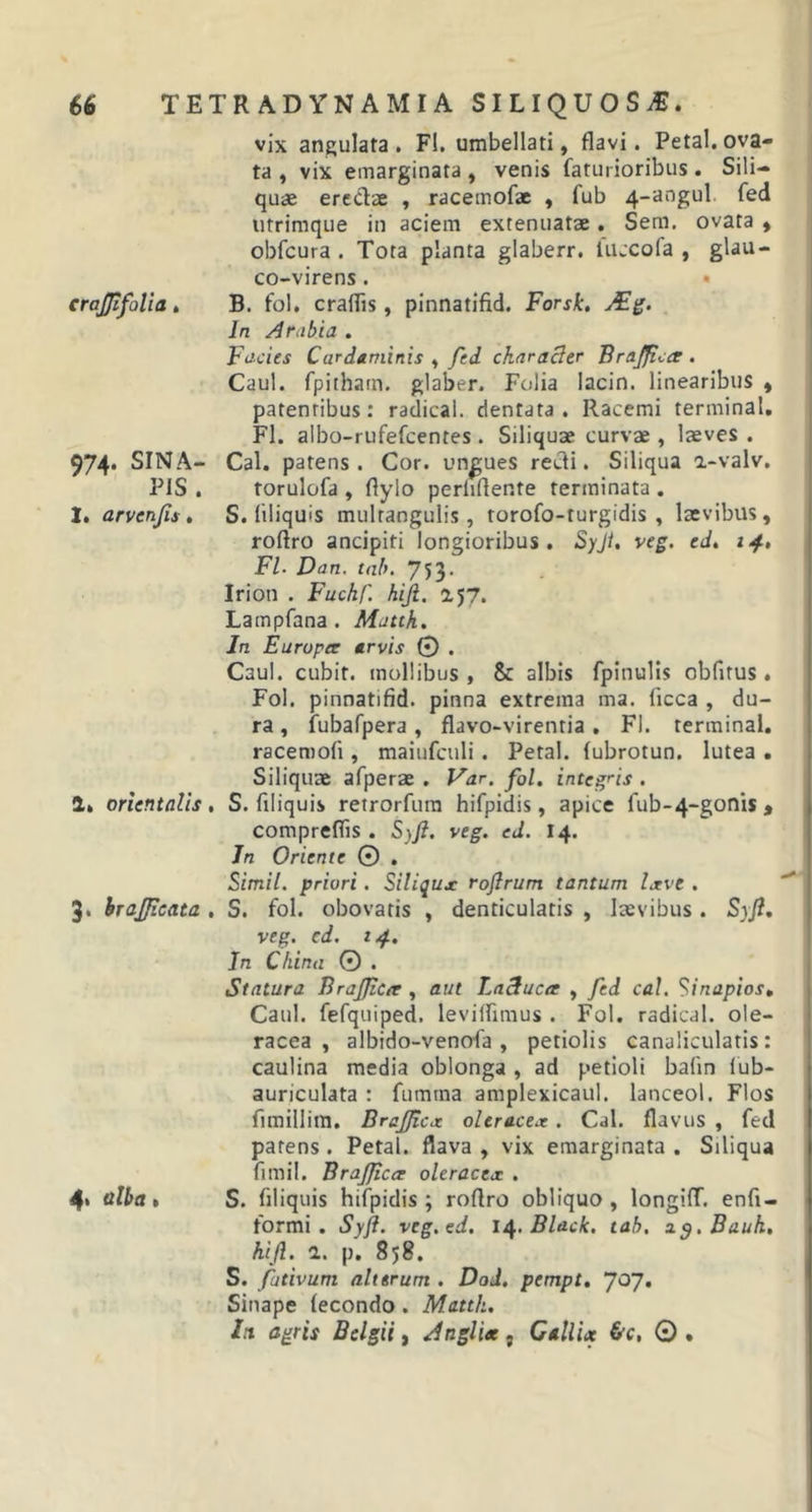 vix angulata. F!. umbellati, flavi. Petal. ova- ta , vix emarginata , venis faturioribus. Sili- quae eredae , racetnofae , fub 4-angul fed utrimque in aciem extenuatae. Sem. ovata , obfcura . Tota planta glaberr. iuccofa , glau- co-virens. • crajjlfolia. B. fol. eradis, pinnatifid. Forsk. JEg. In Arabia . Facies Curdaminis , fed character Braffca . Caul. fpitham. glaber. Folia lacin. linearibus , patentibus: radical. dentata. Racemi terminat. FI. albo-rufefeentes. Siliquae curvae, laeves . 974. SINA- Cal. patens. Cor. ungues redi. Siliqua a-valv. PIS . torulofa , dylo perlifler.te terminata . I, arvenjis. S. filiquis multangulis, torofo-turgidis , laevibus, roftro ancipiti longioribus. Syli. veg. ed. FI- Dan. tab. 753- Irion . Fuchf. hijl. 2,57. Lampfana . Matth. In Europa arvis © . Caul. cubit. mollibus , &amp; albis fpinulis obfitus . Fol. pinnatifid. pinna extrema ma. ficca , du- ra , fubafpera , flavo-virentia . FI. terminal. racemofi, maiufculi. Petal. fubrotun. lutea . Siliquae afperae . Var. fol. integris . 1. orientalis, S. filiquis retrorfum hifpidis, apice fub-4-gonis , compredis . S)fi. veg. ed. 14. In Oriente © . Simii, priori. Siliqux rojlrum tantum Ixve . 3. brajieata . S. fol. obovatis , denticulatis , laevibus . Syjl. veg. cd. 14. In China © . Statura Brajfcer , aut Lacluca , fed cal. Sinapios. Caul. fefquiped, levilfimus . Fol. radical. ole- racea , albido-venofa , petiolis canaliculatis: caulina media oblonga , ad petioli badn fub- auriculata : fumrna amplexicaul. lanceol. Flos fimillim. Brajfcx oleracea. Cal. flavus , fed parens. Petal. flava , vix emarginata . Siliqua fimi!. BraJJiccr oleracea . 4* alba, S. filiquis hifpidis ; roflro obliquo, longiff. enfi- tormi . Syjl. veg.cd. 1 A. Black, tab, xo.Bauh, ^ hijl. 2. p. 858. S. fativum alterum . Dod. pempt. 7°7* Sinape fecondo. Matth. In agris Belgii, Angliee, Gallu &amp;c, © .