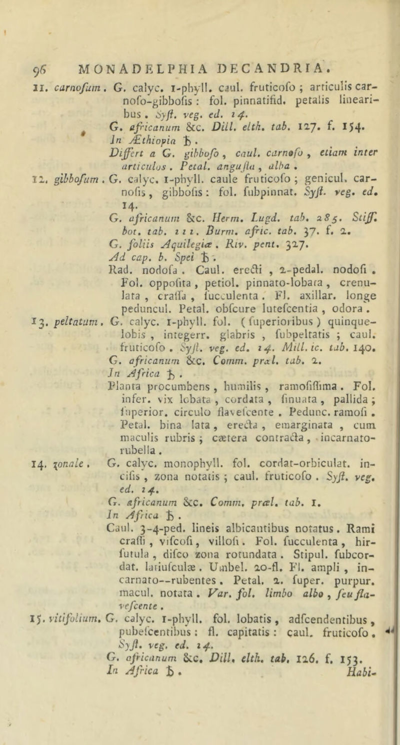 11. carnofum. G. calyc. i-phyll. caul. fruticofo ; articulis car- nofo-gibbofis : fol. pinnatifid. petalis lineari- bus. Syft. veg. ed. 14. G. africanum &amp;c. Diil. eltk. tab. 127. f* I54* Jn AEthiopia . Differt a G. gibbofo , caul. carnofb , etiam inter articulos. Petal. angujlu , alba. 11, gibbofum . G. calyc. I-phy 11. caule fruticofo; genicul. car- nofis, gibbofis: fol. fubpinnat. Syft. veg. ed, ^ *4- G. africanum Stc. Herm. Lugd. tab. 285. Stijf. bot. tab. 111. Burm. affic. tab. yj. f. 1. G. foliis Acjuilegia . Riv. pent. 317. Ad cap. b. Spei £ . Rad. nodofa . Caul. eredi , 2-pedal. nodofi . Fol. oppoiita , petiol. pinnato-lobara , crenu- lata , cratfa , fucculenta. FI. axillar. longe peduncul. Petal. obfcure lutefeentia , odora . 13. peltatum. G. calyc. i-phyll. fol. ( fuperioiibus) quinque- lobis , inregerr. glabris , fubpeltatis ; caul. fruticofo. Syji. veg. ed. 14. MUl.ic. tab. 140. G. africanum &amp;C. Comm. pral. tab. 2. Jn Africa F» . Planta procumbens , humilis, ramofifhma . Fol. infer, vix lobata , cordata , finuata , pallida ; luperior. circulo flavelcente . Pedunc. ramofi . Petal. bina lata, ereda , emarginata , cum maculis rubris ; caetera contrada, incarnato- rubella. 14, \onale . G. calyc. monophyll. fol. corrlat-orbiculat. in- cifis , zona notatis ; caul. fruticofo . Syff. veg. ed. 14. G. africanum Scc. Comm, pral. tab. I. In Af/ica . Caul. 3-4-ped. lineis albicantibus notatus. Rami cralli , vifcofi, villofi . Fol. fucculenta , hir— futula , difeo zona rotundata . Stipul. fubcor- dat. latiufculce . Umbel. 20-fl. FI. ampli, in- carnaro—rubentes. Petal. 2. fuper. purpur. macul. notata . Var. fol. limbo albo , feu fla- vefcente . 1$. vitifolium. G. calyc. i-phyll. fol. lobatis , adfcendentibus, pubefeentibus; fl. capitatis: caul. fruticofo, Syft. veg. ed. 14. G. africanum S;c. DHL eltk. tab. Il6. f. 153. In Africa £ . Rabi-