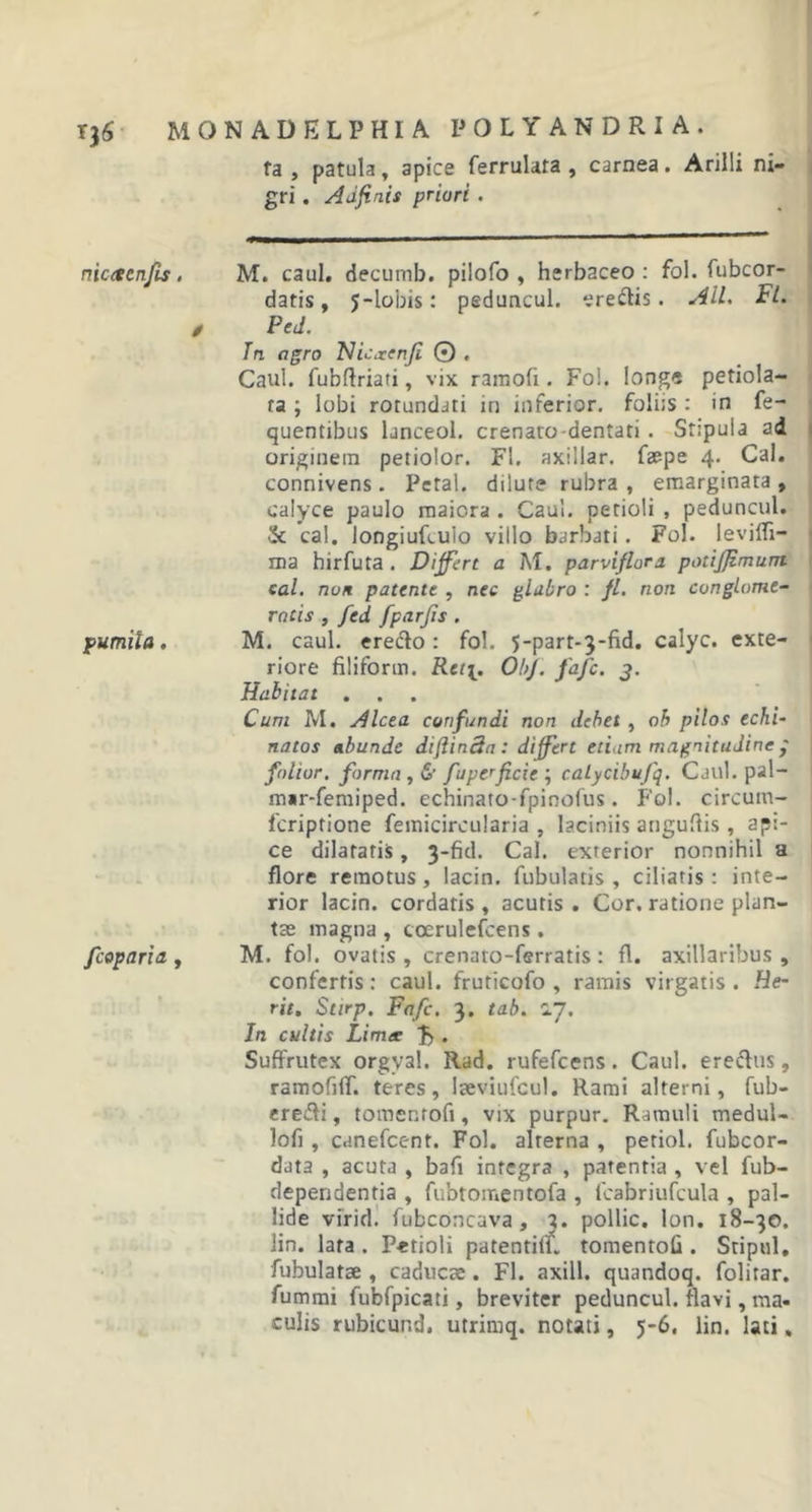 fa , patula, apice ferrulata , carnea. Arilli ni- gri . Adfinis priori . nicrtcnfis. M. caul. decumb. pilofo , herbaceo: fol. fubcor- datis, 5-lobis: peduncul. eredis. Aii. Fl. / PeJ. In agro TJicxenfi © , Caul. fubftriati, vix ramofi. Fol. longe petiola- ra ; lobi rotundati in inferior. foli;s : in fe- quentibus lanceol. crenato-dentati . Stipula ad originem petiolor. Fl. axillar. faepe 4. Cal. connivens. Petal. dilute rubra , emarginata , calyce paulo maiora . Caul. petioli , peduncul. &amp; cal. longiuRulo villo barbati. Fol. levifli- ma hirfuta . Dijfirt a M. parviflora potijjimum cal. non patente , nec glabro : fl. non conglome- ratis , fed fparjis . pumila. M. caul. eredo : fol. 5-part-3*fid. calyc. exte- riore fitiforin. Ret[. ObJ. fafe. 3. Habitat . Cum M. Alcea confundi non debet , ob pilos echi- natos abunde diftinda : differt etiam magnitudine folior. forma , &amp; fuperficic ; calycibujq. Caul. pal- m»r-femiped. echinato-fpinofus. Fol. circum- feriptione femicircularia , laciniis anguflis, api- ce dilatatis, 3-fid. Cal. exterior nonnihil a flore remotus, lacin. Tubulatis, ciliatis: inte- rior lacin. cordatis, acutis. Cor. ratione plan- tas magna , toerulefcens . fcoparia , M. fol. ovatis , crenato-ferratis : fl. axillaribus , confertis: caul. fruticofo , ramis virgatis . He- rit, Stirp. Fafc. 3. tab. rJl. In cultis Limer £ . Suffrutex orgval. Rad. rufefeens. Caul. eredus, ramofifif. teres, laeviufcul. Rami alterni, fub- eredi, tomenrofi, vix purpur. Ramuli medul- lofi, canefcent. Fol. alterna , periol. fubcor- data , acuta , bafi integra , patentia , vel fub- dependentia , fubtomentofa , fcabriufcula , pal- lide virid. fubconcava, 3. pollic. Ion. 18-30. lin. lata . Petioli patentilf. tomentoG . Stiptil, Tubulatae , caducae . Fl. axill. quandoq. folitar. fummi fubfpicati, breviter peduncul. flavi, ma- culis rubicund. utrimq. notati, 5-6. lin. lati,