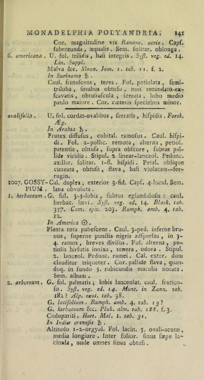 Cor. magnitudine vix Ranunc. acris. Capf. fubrotunda , aequalis . Sem. folirar. oblonga . 6. americana . U. fol. trifidis , bafi integris . Syft. veg. ed. 14. Lin. Suppi. Malva &amp;e. Slonn. Jam. 1. tab. 2 1. f. 2. In Surinamo L . Caul. frutefcens, teres. Fol. petiolata, femi- triloba , finubus obtufis, non rotundato-ex- fcavatis, obtuliufcula , ferrata, lobo medio paulo maiore . Cor. caeteris fpeciebus minor. ovalifolia . U. fol. cordat-ovabbus , ferratis, hifpidis . Forsk. JEg. Jn Arabta . Frutex diffufus , cubital, ramofus . Caul. hifpi- di. Fol. i-polhc. remota, alterna, petiol. patentia , obtufa , fupra obfcure , fubtus pal- lide viridia . Stipul. 2 linear-lanceol. Pedunc. axillar. folitar. i-fl. hifpidi. Petal. oblique cuneata , obtufa , flava , bafi violaceo—fer- rugin. 1007. GOSSY-Cal. duplex; exterior 3-fid. Capf. 4-iocul. Sem. PIUM . lana obvoluta . 1. herbaceum . G. fol. 3-5-lobis , fubtus eglandulofis : caul. herbae. Ise vi. Syft. veg. ed. 14. Black, tab. 357, Cdtn. epit. 203. Rumpk. amb. 4. tab. 12. In America © . Planta tota pubefeens . Caul. 3-ped. inferne bru- tius , fuperne pun&amp;is nigris adfperlus , in 3- 4. ramos , breves divifus. Fol. alterna , pe- tiolis hirfutis innixa , tenera , odora . Stipul. 2. lanceol. Pedunc. ramei. Cal. exter, dutn clauditur triqueter . Cor. pallide flava , quan- doq. in fundo 5. rubicundis maculis notata . Sem. aibum . 2, arboreum. G. fol. palmatis; lobis lanceolar. caul. frutico- fo. Syft. veg. ed. 24. Mont, in Zann. tab. 182? Alp. exot. tab. 38. G. latifolium . Rumph. amb. 4. tab. 23? G. herbaceum Scc. Pluk. alm, tab. 1S8. f, 3. Cudupariti. Hort. Mal. 1, tab. 31. In Indite arenojis 1) . Altitudo 1-2-orgyal. Fol. lacin. 5. ovali-acutse, media longiore . Inter folior. finus faepe la- cinwla, unde omnes finus obtufi .