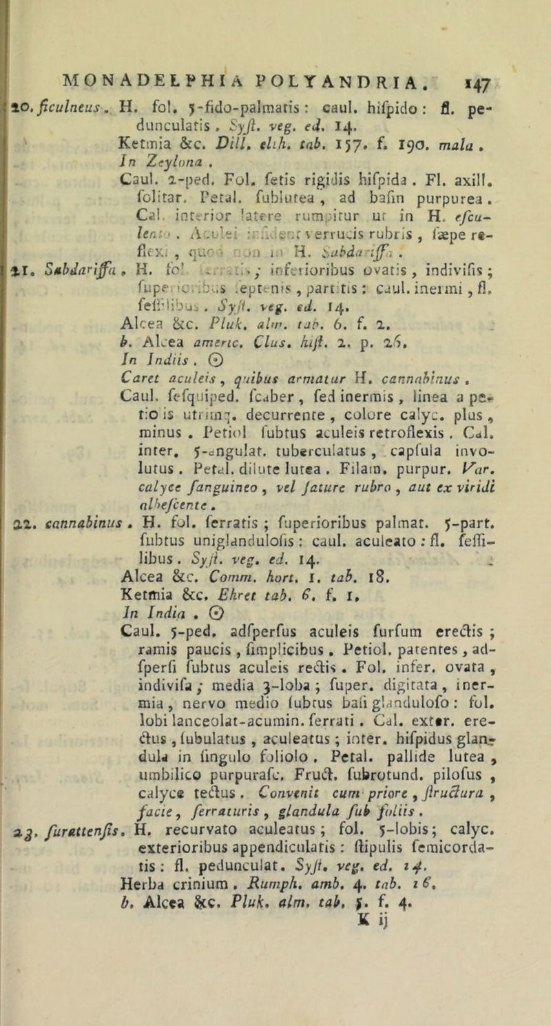 10. ficulneus. H. fol. 5-fido-palmatis: caul. hifpido : fi. pe- duncularis . Syjl. veg. ed. 14. Ketrnia &amp;c. DHL elih. tab. 157. f. 190. mala. In Zeylona . Caul. a-ped. Fol. fetis rigidis hifpida . FI. axill. folitar. Petal. fublutea, ad bafin purpurea. Cal. interior latere rumpitur ur in H. efcu- . A ude i rcfJent v errucis rubris , faepe re- flexi , que '• jo 1 H. Sabdariffii . 11. Subdar ijjfa . H. fc’ . . ■ inferioribus ovatis, indivifis ; fupf 'C .b-.,s eptenis , partitis: caul. inermi, fl. felblibui . Syjl. veg. ed. 14, Alcea &amp;C. Pluk. alw. tab. 6. f. 2. b. Alcea americ. Cius. hijl. 2. p. iS, In Indi is . 0 Caret aculeis, quibus armatur If. cannabinus . Caul. fefquiped. lcaber , fed inermis , linea a pe- tio is utriinq. decurrente, colure calyc. plus, minus . Petiol lubtus aculeis retroflexis . Cal. inter. 5-0ngu!at. tuberculatus, capfula invo- lutus. Petal. dilute lutea . Filam. purpur. Far. calyce f'anguineo , vel Jature rubro , aut ex viridi alhejcente . 2.2. cannabinus . H. fol. ferratis ; fuperioribus palmat. J-part. fubtus uniglandulofis : caul. aculeato : fl. fefli- libus . Syjl. veg. ed. 14. Alcea &amp;C. Comm. hort. I. tab. 18. Ketmia &amp;c. Ehret tab. 6. f. 1, In India . © Caul. 5-ped, adfperfus aculeis furfum erectis ; ramis paucis, fimplicibus. Petiol. patentes, ad- fperfi fubtus aculeis rectis . Fol. infer, ovata , indivifa ; media 3-loba ; fuper. digitata, iner- mia, nervo medio fubtus bafi glandulofo: fol. lobi lanceolat-acumin. ferrati. Cal. exter. ere- ctus , tubulatus, aculeatus; inter, hifpidus glanr dula in fingulo foliolo . Petal. pallide lutea , umbilico purpurafc, Fruft. fubrotund. pilofus , calyce teitus . Convenit cum priore , ftruclura , facie t ferraturis , glandula fub foliis . a.3. furattenfis. H. recurvato aculeatus; fol. 5-lobis; calyc. exterioribus appendiculatis: (tipulis femicorda- tis: fl. pedunculat. Syjl. veg. ed. 14. Herba crinium . Rumph. amb. 4. tab. 1 6\ b. Alcea §tc, Pluk. ulm. tab. f. f. 4. K ij