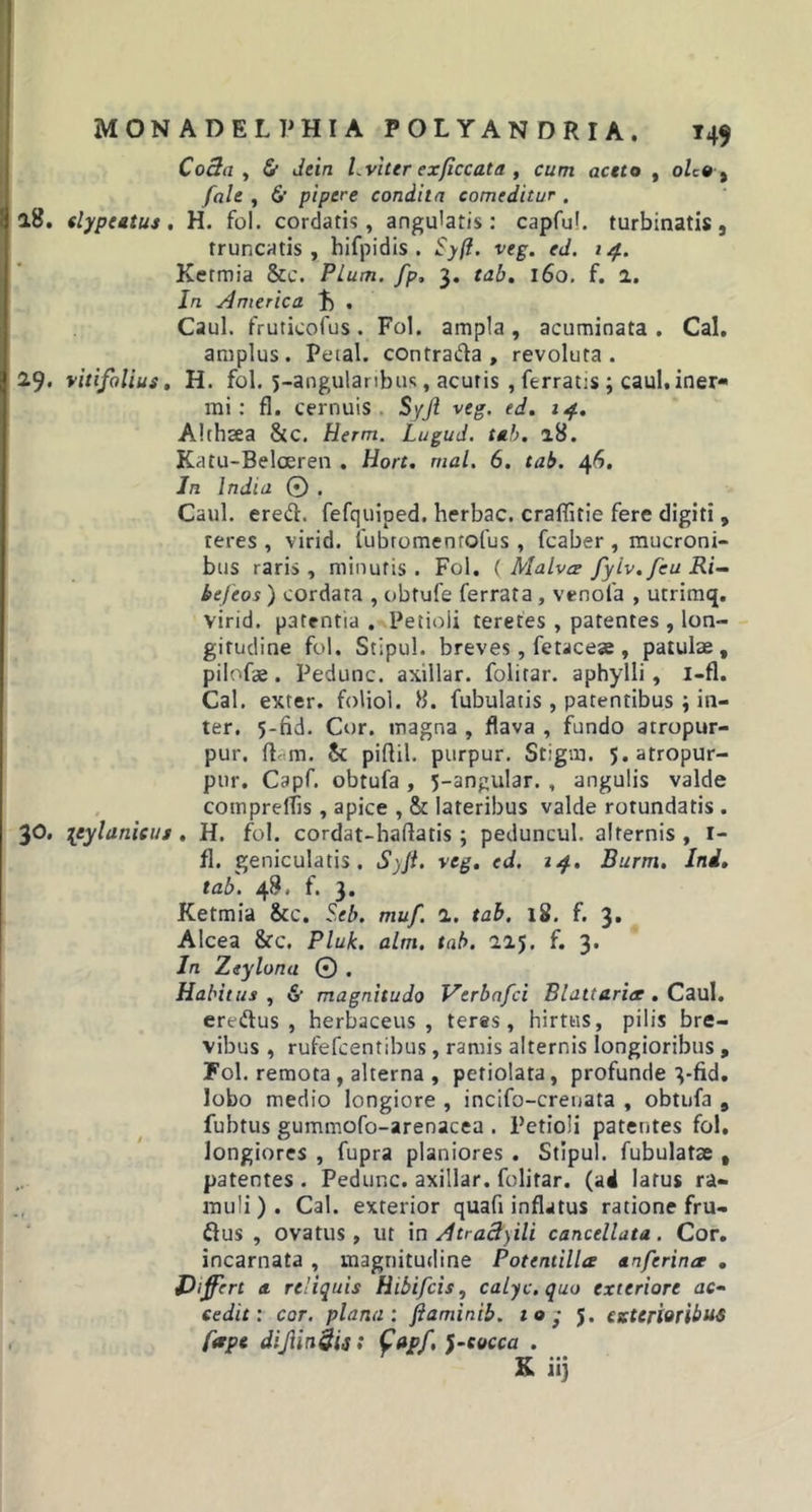 Co3a , &amp; dein Lviter exficcata , cum actto , olzo t fale , 6' pipere condita comeditur . 18. elypeatus. H. fol. cordatis, angulatis: capful. turbinatis, truncatis, hifpidis . Syft. veg. ed. 1 4. Kermia &amp;c. Pium, fp» 3. tab. 160. f. 2. In America L . Caul. fruticofus . Fol. ampla , acuminata . Cal. amplus. Petal. contrada , revoluta. 29. vitifolius, H. fol. 5-angularibus, acutis , ferratis ; caul. iner- mi: fl. cernuis Syjl veg. ed. 14. Althaea &amp;c. Herm. Lugud. tab. 28. Katu-Belceren . Hort. mal. 6. tab. 46. In India © . Caul. ered. fefquiped. herbae, craflitie fere digiti, teres , virid. fubromenrofus , fcaber , mucroni- bus raris , minutis . Fol. ( Malva fyiv.feu Ri- befeos) cordata , obtufe ferrata, venola , utrimq. virid. patentia. Petioli teretes , patentes , lon- gitudine fol. Stipul. breves, fetaceae , patulae, pilofae. Pedunc. axillar. folitar. aphylli, i-fl. Cal. exter, foliol. 8. fubulatis, patentibus ; in- ter. 5-fid. Cor. magna , flava , fundo arropur- pur. fLm. &amp; piflil. purpur. Stigrn. 5.atropur- pur. Capf. obtufa , 5-angular. , angulis valde comprellis , apice , &amp; lateribus valde rotundatis . 30. {tylanicui. H. fol. cordat-haflatis; peduncul. alternis , 1- fl. geniculatis. Syjl. veg. ed. 14. Burm. Ini. tab. 48. f. 3. Ketmia &amp;c. Seb. muf. 2. tab. 18. f. 3. Alcea &amp;c, Pluk. alm. tab. 225. f. 3. In Zeylona 0 . Habitus , &amp; magnitudo Vtrbafci Blattaria . Caul. eredus , herbaceus, teres, hirtus, pilis bre- vibus , rufefeentibus, ramis alternis longioribus, Fol. remota , alterna , petiolata, profunde 3-fid. lobo medio longiore , incifo-crenata , obtufa , fubtus gummofo-arenacea . Petioli patentes fol, longiores , fupra planiores . Stipul. fubulatae , patentes . Pedunc. axillar. folitar. (ad latus ra- muli). Cal. exterior quafi inflatus ratione fru- dus , ovatus, ut \n Atraci) ili cancellata. Cor. incarnata , magnitudine Potentilla anferina . Differt a reliquis Hibifcis, calyc.quo exteriore ac- cedit : cor. plana: flaminib. 10 • 5. exterioribus farpe dijlin&amp;is: Capf, }-cvcca . K ii}