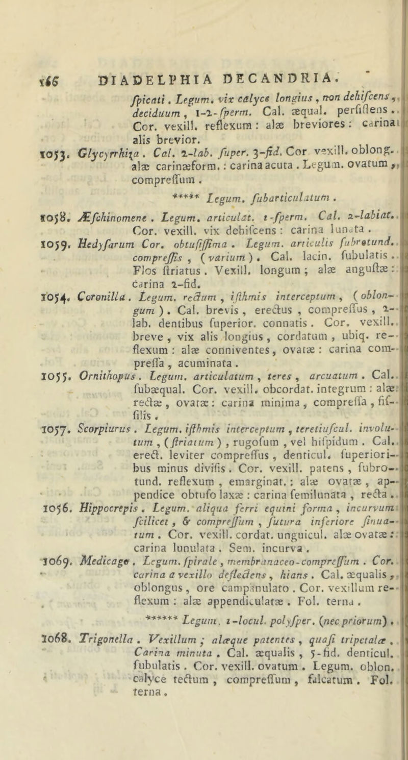 fpicali. Legum, vix calyce longius , non dehifcens deciduum, l-l-fperm. Cal. zequal. perfidens.. Ccr. vexill. reflexura : alse breviores : carina alis brevior. IOJ3. Glycyrrhi\a . Cal. l-l/ib. fuptr. ^-fid. Cor vexill. oblong. alae carinseform.: carina acuta . Legum, ovatum , compreffum . ***** Legum, fubarticulatum . S058. JLLfchinomene . Legum, articulat, t-fperm. Cal. z-labiat. Cor. vexill. vix dehifcens : carina lunata . 1059, Hedyfarum Cor. obtufijfima . Legum, articulis fubratund. ij comprejjis , ( varium ) . Cal. lacin. fubulatis . I Flos firiatus. Vexill. longum; alse anguftae: I carina a-fid. 1054. Coronilla. Legum, redam , iflhmis interceptum , ( oblon- gum ) . Cal. brevis , erectus , corapreffus , r- lab. dentibus fuperior. connatis. Cor. vexill. breve , vix alis longius, cordatum , ubiq. re- flexum : alse conmventes, ovatae: carina com- preffa , acuminata . 1055. Ornithopus. Legum, articulatum, teres, arcuatum. Cal. fubaequal. Cor. vexill. obcordat. integrum : alse redse , ovarse: carina minima, compreffa , fif- filis. IO57. Scorpiurus . Legum, ifthmis interceptum , teretiufcul. involu- tum , (friatum ) , rugofum , vel hifpidum . Cal. ered. leviter compreffus , denticul. fuperiori— bus minus divifis . Cor. vexill. patens, fubro—i tund. reflexum , emarginat.: alse ovarse , ap- pendice obtufo laxae : carina femilunata , reda . 1056. Hippocrepis . Legum, aliqua ferri equini forma , incurvum fcilicet , &amp; compreffum , futura inferiore finua- 11 tum. Cor. vexill. cordat. unguicul. alse ovatae: carina lunulata . Sem. incurva . I069. Medicagtt. Legum, fpirale , membranaceo-compreffum . Cor. carina a vexillo defleciens , hians. Cal. aequalis , oblongus , ore campanulato . Cor. vexillum re- flexum : alae appendiculatse . Fol. terna . ****** £e„um i-locul. polyfper. (nec priorum) . 3068. Trigonella . Vexillum • alceque patentes , quafi tripctalee . Carina minuta . Cal. aequalis , 5-fid. denticul. fubulatis . Cor. vexill. ovatum . Legum, oblon. calyce tedum , compreffum , falcatum . Fol. terna.