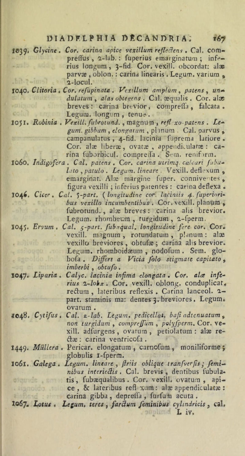 J©39* Glycine. Cor. carina apice vexillum reflectens . Cal. com- preffus , 2-lab. : fuperius ematginatum ; infe- rius longum, 3-fid Cor. vexi! 1. obcordat: alse parvas, oblon.: carina linearis . Legum, varium , a-locul. I040. Clitoria , Cor. refupinata . Vexillum amplum , patens , un- dulatum , alas obtegens . Cal. aequalis . Cor. alas breves! carina brevior, coiripreffa , falcata. Legum, longum , tenue. I051. Robinia . Vexill. fubrotund., magnum , refl xo patens . Le- gum, gibbum , elongatum , plinum Cal. parvus 9 campanulatus , 4-fid. lacinia fuprema latiore . Cor, alae liberae, ovatae, appetidkulafse : ca- rina fuborbicul. compreifa . Sem. remfirm. 1060. Indigofera . Cal. patens . Cor. carina utrimq. calcari fabu- lato , patulo . Legum, lineare . Vexiil. deflexum , emarginat. Alae margine fuper. connive' tes * figura vexilli ; inferius parentes : carina deflexa * 1046. Cicer. Cal. j-part. ( longitudine cor. laciniis 4. fupenori- bus vexillo incumbentibus . Cor. vexill. planum » fubrotund., alae breves: carina alis brevior. Legum, rhorabeum , turgidum , a-fperm, 1045* Ervum . Cal. $-part, fubxqual. longitudine fere cor, Cor. vexill. magnum, rotundatum, planum: alae vexillo breviores, obtufse ; Carina alis brevior. Legum, rhomboidaeum , nodofum . Sem. glo- bofa . Differt a Vicia folo stigmate capitato 9 imberbi , obtufo. 1047. Liparia . Calyc. lacinia infimd elongata . Cor. alce infe- rius i-lohx . Cor. vexill. oblong. conduplicat* redum , lateribus reflexis . Carina lanceol. 1- part. staminis ma: dentes 3. breviores. Legum, ovatum . 1048. Cytifus, Cal. a.-lab. Legum, pedicellat. bafi ndtcnuatum s non turgidum , comprejfum , polyfperni. Cor. ve- xill. adfurgens, ovatum , petiolatum : alae re- dae : carina ventricofa . I449. Muliera , Pericar. elongatum , carnofum , moniliforme ; globulis i-fperm. 1061. Galega , Legum, lineare , flris oblique tranfverfis; femi- nibus interieclis . Cal. brevis, dentibus Tubula- tis , fubaequalibus . Cor. vexill. ovatum , api- ce , &amp; lateribus refl xum: alse appendiculatse : carina gibba, deprelfa , furfum acuta . I067. Lotus , Legum, teres , farclum feminibus cylindricis, cal. L iv.