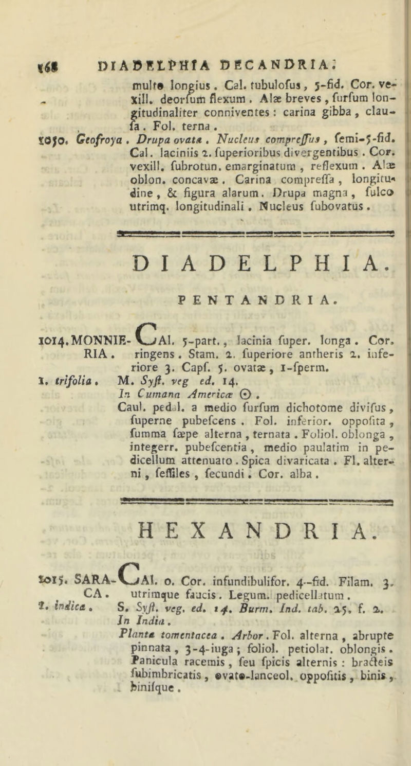 mulf® longius. Cal. tubulofus, 5-fid. Cor. ve- xill. deorlum flexum . Alae breves , furfum !on- gitudinaliter conniventes: carina gibba , clau- , fa . Fol. terna . iOjOt Geofroya . Drupa ovatu. Nucleus comprejfus , femi-J-fid. Cal. laciniis i. fuperioribus divergentibus. Cor. vexill. fubrotun. emarginatum , reflexutn . Alae oblon. concavae. Carina comprefla , longiru* dine , &amp; figura alarum. Drupa magna, fulco utrimq. longitudinali. Nucleus fubovatus . DIADELPHIA. PENTANDRIA. IOI4.MONNIE- V-VAl. j-part., lacinia fuper. longa. Cor, RIA . ringens . Stam. a. fuperiore anrheris a. infe- riore 3. Capf. 5. ovatae, i-fperm. I. trifolia * M. Syft. veg ed. 14. lr. Cumana America: © . Caul. pedol. a medio furfum dichotome divifus, fuperne pubefcens . Fol. inferior, oppofita , fumma faepe alterna , ternata . Foliol. oblonga , integerr. pubefcentia , medio paulatim in pe- dicellum attenuato . Spica divaricata . FI. alter- ni , fefltles , fecundi. Cor. alba . HEXANDRIA. Xoi$. SARA-CAI. o. Cor. infundibulifor. 4—ftd. Filam. 3. CA . utrimque faucis. Legum, pedicellatum . I. indica, S. Syjl, veg. ed, 14. Burm, Ind. tab. 15, f. 2.. in India. Planta tomentacea , Arbor. Fol. alterna, abrupte pinnata, 3-4-iuga; foliol. petiolat. oblongis. Panicula racemis, feu fpicis alternis : brafteis lubimbricatis , ®vat»-lanceol. oppofitis, binis , binilque.