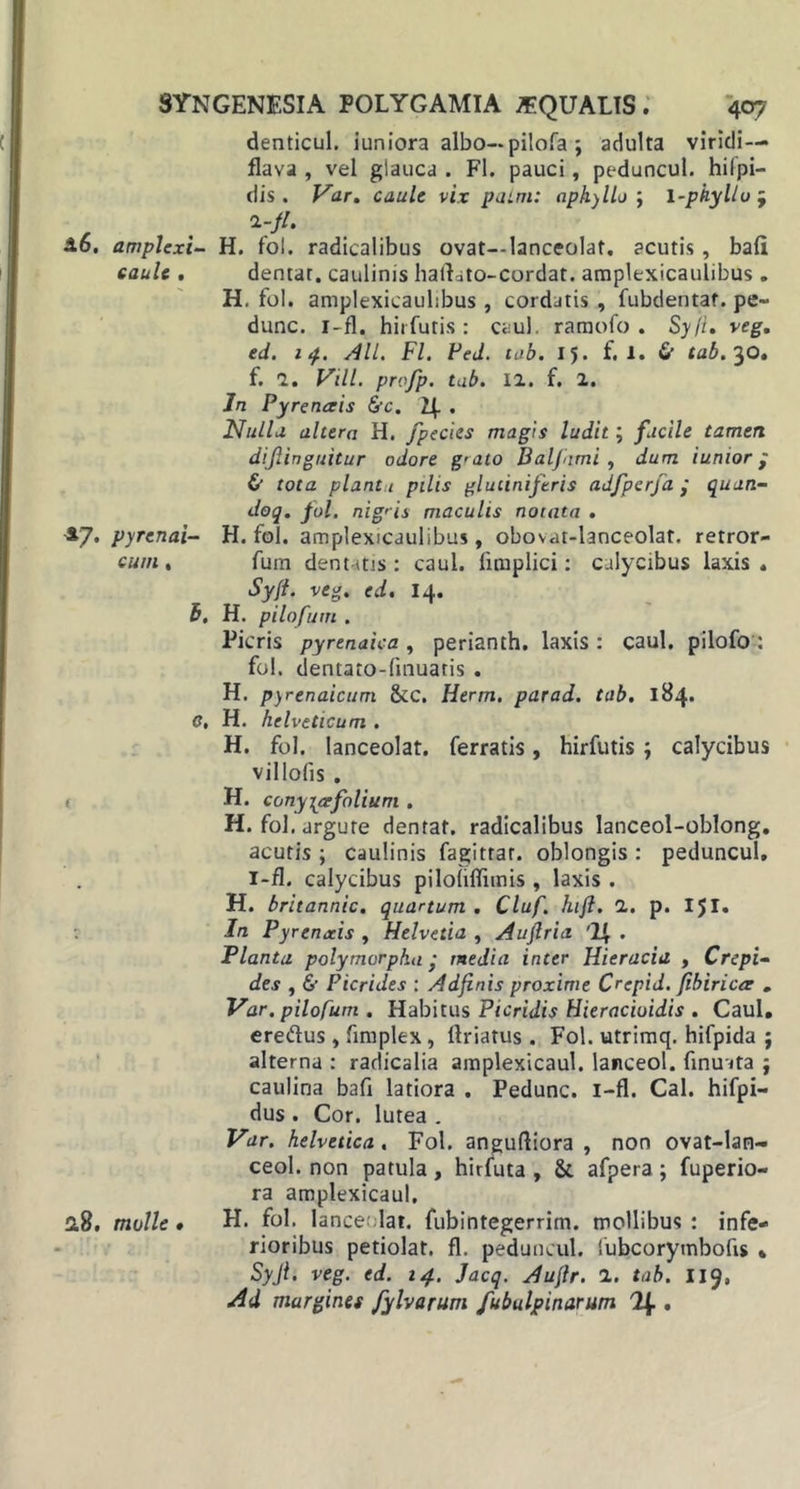 denticul. iuniora albo—pilofa ; adulta viridi— flava , vel glauca . FI. pauci, peduncul. hilpi- dis . Var. caule vix patm: aphyllo ; i-phyllu9 46. amplexi- H. fol. radicalibus ovat—lanceolat. acutis, bali caule. dentar. caulinis hallato-cordat. amplexicaulibus. H. fol. amplexicaulibus , cordatis , fubdentat. pe~ dunc. 1 -fl. hirfutis : caul. raraofo . Syji. veg. ed. 14. All. FI. Ped. tab. 15. f. 1. &amp; tab.^Q. f. 1. Vili, profp. tab. 12. f. 2. In Pyrenceis &amp;c. If • Nulla altera H. fpecies magis ludit5 facile tamen dijlinguitur odore g&gt;ato Balfimi , dum iunior - &amp; tota planta pilis glutiniferis adfperfa quan- doq. fol. nigris maculis notata . £7. pyrenai- H. fol. amplexicaulibus, obovat-lanceolat. retror- cum , fum dentatis: caul. funplici: calycibus laxis. Syfi. veg. ed. 14. i, H. pilo fum . Picris pyrtnaica, perianth. laxis: caul. pilofo: fol. dentaro-fmuatis . H. pyrenaicum &amp;c. Herm. parad. tab. 184. &lt;?, H. helveticum . H. fol. lanceolat. ferratis, hirfutis 9 calycibus villolis . &lt; H. conytpxfolium . H. fol. argute dentat. radicalibus lanceol-oblong. acutis ; caulinis fagitrar. oblongis : peduncul, i-fl. calycibus piloliflimis , laxis . H. britannic. quartum . Cluf. hift. 2. p. 151. In Pyrenaeis , Helvetia , Aujlria . Planta polymorpha • media inter Hieracia , Crepi- des , &amp; Picrides : Ad finis proxime Crepid. ftbiricce . Var. pilofum . Habitus Picridis Hieraciuidis . Caul. ereftus, fimplex, llriatus . Fol. utrimq. hifpida ; alterna : radicalia amplexicaul. lanceol. finuata 9 caulina bafi latiora . Pedunc. i-fl. Cal. hifpi- dus . Cor. lutea . Var. helvetica, Fol. anguftiora , non ovat-lan- ceol. non patula, hirfuta , &amp; afpera; fuperio- ra amplexicaul, 28. molle » H. fol. lance lat. fubintegerrim. mollibus : infe- rioribus petiolat. fl. peduncul. fubcorymbofis *, Syjl. veg. ed. 14. Jacq. Auflr. 1. tab. 119, Ad marginet fylvarum fubulpinarum 2J..