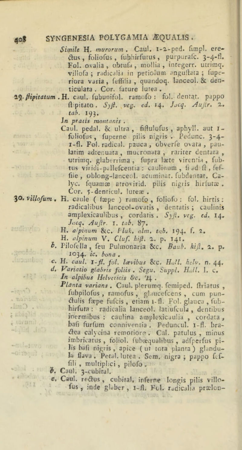 Simile H. murorum . Caul. 1-2,-ped. fimpl. ere- dus, foliofus , fubhirfurus , purpuralc. 3-4-fl. Fol. ovalia , obrufa, mollia , inregerr. utrimq. villofa ; radicalia in petiolum anguftata ; fupe- riora varia , feflilia , quandoq. lanceol. &amp; den- ticulata . Cor. fature lurea . 19‘ftipitetum.il. caul. fubunifol. ramofo : fol. (lentat, pappo ft pitato. S)Jt. veg. ed. »4» Jacq. Aujtr. 2,» tab. 193. 30. villofum . ) . i i *i'U • t ’ x t. e. In pratis montanis . Caul. pedal. &amp; ultra, fiflulofus , aphyll. aut I- foliofus, fuperne pilis nigris . Pedunc. 3-4- i-fl. Fol. radical. pauca , obverfe ovata , pau- latim adrenuata , mucronata , rariter denfara , utrimq. glaberrima , fupra laete virentia , fub- tus viridi-p.llefcentia : caulinum , ii ad fl , fef- fiie , oblong-lanceol. acuminat, fubdentar. Ca- lyc. fquamm atrovirid. piiis nigris hiriutae . Cor. S-denricul. luteae . K. caule ( faepe ) ramofip , foliofo : fol. hirtis : radicalibus lanceol-ovatis , dentatis ; caulinis amplexicaulibus , cordatis . Syji. veg. ed. 14. Jacq. Aujlr. I. tab. 87. H. a/pinum &amp;c. bluk. alm. tnb. 194. f. 2. H. aIpinum V. Cluf. hift. 1. p, 141. Pilofella , feu Pulmonaria &amp;c. Baub. hijl. 1. p. 1034. ic. bona . H. caul. I-fl. fol. Icevibus &amp;c. Hull. helv. n. 44. Pariatio glabris foliis . Segu. Suppi. Hull. 1. c. In alpibus Helveticis &amp;c. 'l\ . Planta varians. Caul. pleruroq. femiped. ftriatus , fubpilofus , ramofus, glaucefcens , cum pun- dlulis faepe fufeis, etiam i-fl. Fol. glauca , fub- hirfuta : radicalia lanceol. latiufcula , dtntibus inermibus : caulina amplexicaulia , cordata, bafi furfum conniventia . Peduncul. i-fl. bra- dlea calycina remotiore. Cal. patulus, minus imbricatus , foliol. fubaequalibus , adfperfus pi- lis bafl nigris , apice ( ut tota planta ) glandu- la flava. Petal. lutea . Sem. nigra 3 pappo fef- fili , multiplici , pilofo . Caul. 3-cubiraI. Caul. rf dus, cubital, inferne longis pilis villo— fus, ;nde glaber , i-fl. Fol. radicalia prxlon- l