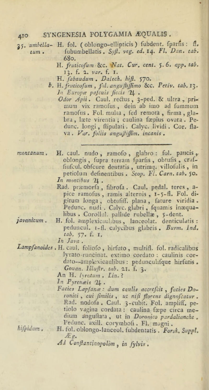 jj. umbella- H. fol. ( oblongo-ellipticis) fubdent. fparfis: f!. tum . fubumbellatis. Syft. veg. ed. 14. FI. Dan. tab. 680. H. fruticofum ■ &amp;c. Nat. Cur. cent. 5.6. app. tab. 13. f. 2. var. f. I. H. Jabaudum . Dalech. hijl. 570. b. H. fruticofum , fol. angujhjjimo &amp;c. Petiv. tab.Jy. In Europa pajcuis ficcis « Odor Apii. Caul. redus, 3-ped. &amp; ultra y pri- mum vix raraofus , dein ab imo ad fuinmum ramofus . Fol. multa , fed remota , firma , gla- bra , laete virentia ; caulina faepius ovata . Pe- dunc. longi, flipulati. Calyc. lividi. Cor. fla- va . Var. foliis anguflijjim. incanis . montanum . H. caul. nudo , ramofo , glabro : fol. paucis oblongis , fupra terram fparfis , obtufis , craf- fiufcul. obfcure dentatis , utriraq. villofulis , ia petiolum definentibus. Scop. FI. Carn. tab. 50. In montibus . Rad. prtcmorfa , fibrofa . Caul, pedal. teres, a- pice ramofus , ramis alternis , 1-5-fl. Fol. di- gitum longa , obtufilT. plana , fature viridia . Pedunc. nudi . Calyc. glabri, fquamis inaequa- libus . Corollul. pallide rubellae , 5-dent. javanicum . H. fol. amplexicaulibus , lanceolat. denticulatis: peduncul. i-fl, calycibus glabris. Burm. ind. tab. 57. f. r. In Java . Lampfanoides, H. caul. foliofo, birfuto , multifl. fol. radicalibus lyrato-runcinat, extimo cordato : caulinis cor- dato—amplexicaulibus : peduncuhfque hirfutis . Gouan. llluflr. tab. 21. f. 3. An H. lyratum . Lin. ? In Py ren ais '4- Facies Lap/ana: dum caulis accrefcit , facies Dn~ ronici , cui Jimilis , ut ni fi florens dignofcatur . Rad. nodofa . Caul. 3-cubit. Fol. amplilf. pe- tiolo vagina cordata : caulina fatpe circa me- dium «fnguftafa , ut in Doronico pardalianchc . Pedunc. axill. corymbofi. FI. m,.gni. kifpidum . H. fol. oblongo-lanceol. lubdentatis . Forsk, Suppi. JEz. Ad Conflantinopolim f in fylvis.