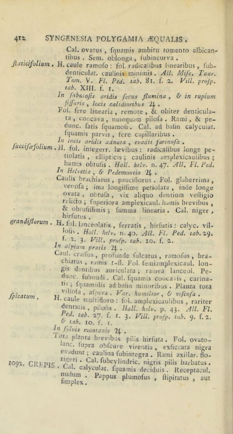 Cal. ovatus , fquamis ambitu tomento albican- tibus . Sem. oblonga, fubincurva . Jhiticifolium , H. caule ramofo : fol. radicalibus linearibus, fub- denticulat. cauiinis minimis. All. Mifc. Taur. 'Jorn, V. Fl. Ped. tab. 8l. f. 2. VUL. projp. tab. Xlir. f. i. In fnbuLojis aridis fccus flumina , &amp; in rupium JJTnris, locis calidioribus lf . Fol. fere linearia , remote, &amp; obiter denticula- ta , concava , numquam piiofa . Rami , &amp; pe- dunc. fatis fquamoli. Cal. ad balin calyculat. fquamis parvis , fere capillaribus . , r r r I’1 ‘nCU ar^ls ndnata , evadit Jarinofa . JucciJajohum. H. fol. integerr. lsevibus: radicalibus longe pe- tiolatis , ellipticis ; cauiinis araplexicauiibus ; hamis obtulis . Hali. helv. n. 47. All. Fl. Ped, In Helvetia , &lt;$- Pedemontio . Caulis brachiatus , pauciflorus . Fol. glaberrima , venofa ; ima longiffime pefiolara , inde longe ovata , obtufa, vix aliquo dentium veftigio relido ; fuperiora amplexicaul. hainis brevibus , &amp; obrufiffimis ; fumma linearia . Cal. niger , .... hir fu tus . 'J ran 1 orum • H. fol. lanceolatis , ferratis, hirfutis : calyc. vil- ‘oljs . Hali. helv. n. 40. All. Fl. Ped. tab.It). *• 2. 3. Vili. proCp. tab. IO. f. 1. In alpiuni pratis . Caul; cralfus, profunde fulcatus , ramofus , bra- chiatus , ramis I—fl. Fol. femiamplexicaul. lon- £IS dentibus auriculata ; ramea lanceol. Pe- dunc. fubnudi. Cal. fquamis concavis, carina- to ; (quamniis ad balin minoribus . Planta tota ' dlofa f alnera . Far. humilior, &amp; vifcofu . • caule multifloro : fol. amplexicaulibus , rariter denratis , pilofis . Hali. hdv. p. 43. All. Fl. ed. tab. 2.7. f. f. 3, VUl. projp. tab. ). f. 2. &amp; tab. 10. f. r. jn fvivis montanis . J'7 •• pinnta brevibus pilis hirfuta . Fol. ovuto- ‘,fK’ ‘upra obfcure virentia, exficcata nigra Evadunt ; caulina (ubintegra . Rami axillar. flo- r’r’’;’ri * Cal. fubcylindric. nigris pilis barbatus. , calyculat. fquamis deciduis. Receptacul. f 1 .q111 * 1&gt;dPPus plumofus , Ripitatus , aut /picatum . I09*• CREPIS