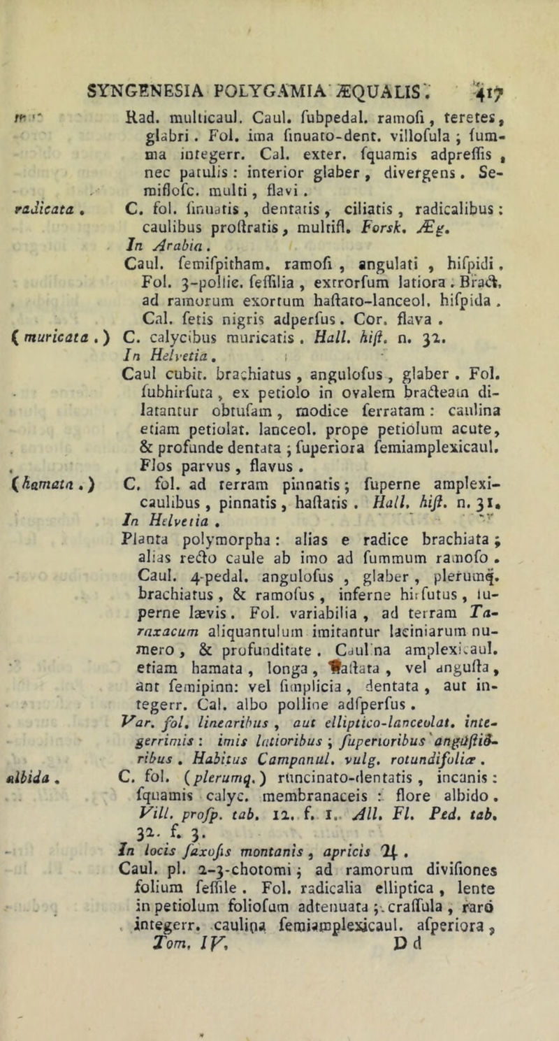 rr ■* Rad. multicaul. Caul. fubpedal. ramofi, teretes, glabri. Fol. ima ftnuato-dent. villofula ; (um- Dia integerr. Cal. exter, fquamis adpreflis , nec patulis: interior glaber , divergens. Se- miflofc. multi, flavi . radicata . C. fol. firmatis, dentatis , ciliatis, radicalibus; caulibus proftratis, multifl. Forsk. Mg. Jn Arabia . Caul. femifjpitham. ramofi , angulati , hifpidi, Fol. 3-pollie. feflilia , extrorfum latiora . Bfad, ad ramorum exortum haftato-lanceol. hifpida . Cal. fetis nigris adperfus. Cor. flava . ( muricata . ) C. calycibus muricatis . Hali, hi fi. n. 32. In Helvetia. i Caul cubit. brachiatus , angulofus , glaber . Fol. fubhirfuta , ex petiolo in ovalem bra&amp;eam di- latantur obtufam , modice ferratam : caulina etiam petiolat. lanceol. prope petiolum acute, &amp; profunde dentata ; fuperiora femiamplexicaul. , Flos parvus, flavus . {hamata.) C. fol. ad terram pinnatis; fuperne amplexi- caulibus, pinnatis, haftatis . Hali. hifi. n. 31. In Helvetia . Planta polymorpha: alias e radice brachiata; alias redo caule ab imo ad fummum ramofo . Caul. 4-pedal. angulofus , glaber, plerumej. brachiatus , &amp; ramofus, inferne hirfutus, lu- perne laevis. Fol. variabilia, ad terram Ta- rnxacum aliquantulum imitantur laciniarum nu- mero , &amp; profunditate. Caulina amplexi,aul. etiam hamata , longa , Haflata , vel angufla, ant femipinn: vel funplicia , dentata , aut in» tegerr. Cal. albo polline adfperfus. Var. fol. linearibus , aut elliptica-lanceolat. inte- gerrimis : imis latioribus ; fuperioribus 'ang-iifiiS- ribus . Habitus Campanul. vulg, rotundifulier. albida. C. fol. (plerumq.) runcinato-dentatis, incanis: fquamis calyc. membranaceis : flore albido. Vili, profp. tab. ia. f. I.. Ali. FI. Ptd. tab. 32- /• }■ In locis JdxoJis montanis , apricis . Caul. pl. a-3-chotomi; ad ramorum divifiones folium feflile . Fol. radicalia elliptica, lente in petiolum fbliofum adtenuata cralfula , raro integerr. caulipa femiamplexicaul. afperiora j