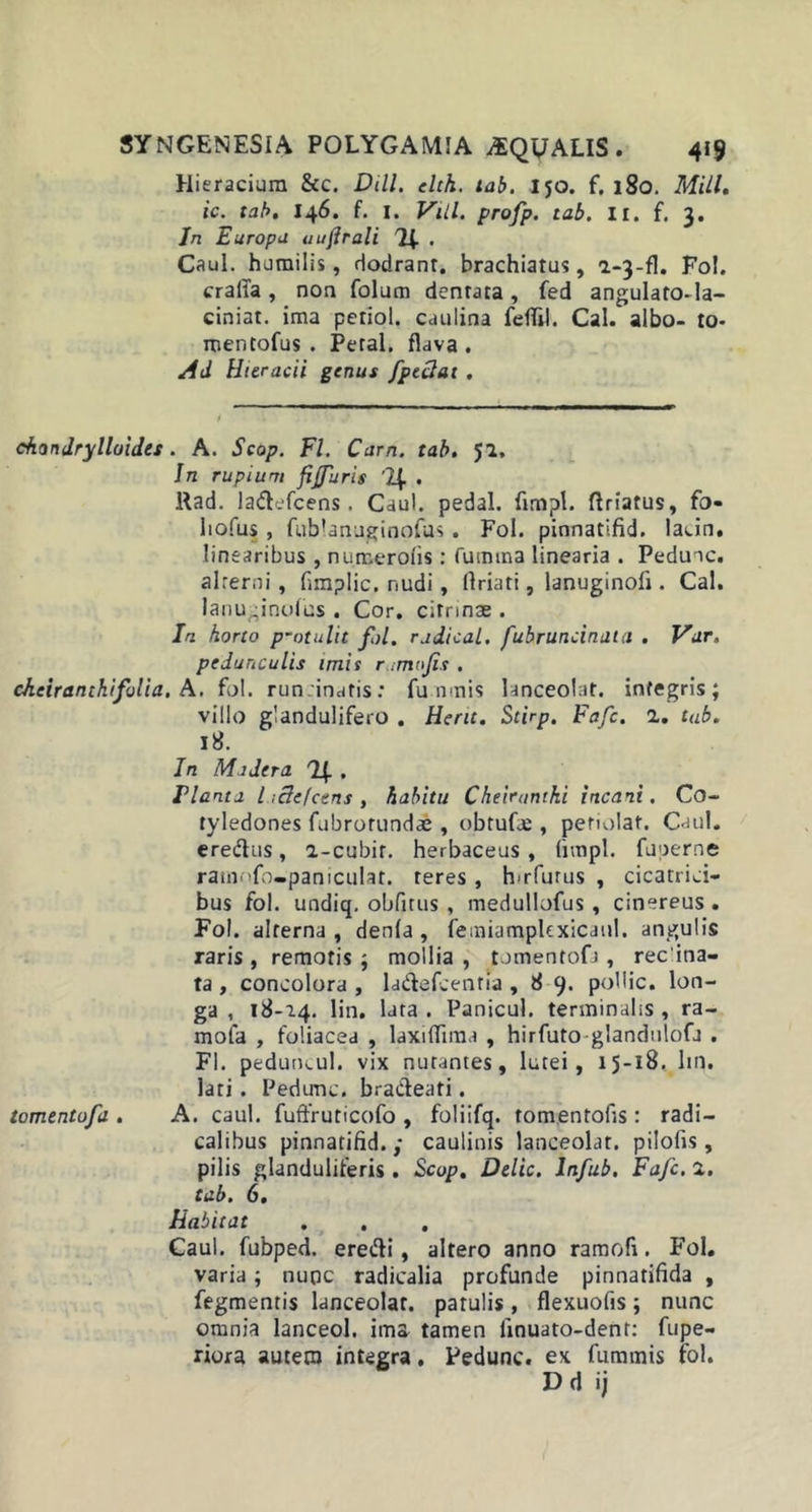 Hieraciura &amp;c. Dill. elth. tab. Ijo. f. 180. Mill. ic. tab. 146. f. I. Viil. profp. tab. II. f. 3. In Europa aufirali /2i . Caul. humilis, dodrant. brachiatus, i-3-fl. Fo!. cralfa, non folum dentata, fed angulato-la- ciniat. ima petiol. caulina feflil. Cal. albo- to- mentofus . Peral. flava . Ad Hteracii genus fpetdat . chandrylloides. A. Scop. FI. Cum. tab. J7. In rupium fijfuris '!{. . Rad. ladefcens . Caul. pedal. fimpl. ftriatus, fo- liofus , fublanuginofus. Fol. pinnatifid. laun. linearibus , numerolis : fuimna linearia . Peduic. alrerni, funplic. nudi, llriati, lanuginofi. Cal. lanuginofus . Cor. citrinae . In horto p-otulit fol. rodical. fubruncinata . Var. pedunculis imis ramofis . cheiranthi folia. A. fol. run .inatis: fu mnis lanceolat. integris; villo glandulifero . Heru. Stirp. Fafc. 7. tab. 18. In Modera . Flanto l;3efcens, habitu Cheiranthi incani. Co- tyledones fubrorundae , obtufee , pefiolat. Caul. eredtis, a-cubir. herbaceus , fimpl. fuperne ratnnfb-paniculat. teres, krfurus , cicatrici- bus fol. undiq. obfitus , medullofus , cinereus . Fol. alterna, denfa , femiampk xicanl. angulis raris , remotis ; mollia , tomentofa , recina- ta , concolora , ladefcentia ,89. pollic. lon- ga , 18-14. lin. lata. Panicul. terminalis, ra- mofa , foliacea , laxifliina , hirfuto glandulofa . FI. peduncul. vix nutantes, lutei, 15-18. lm. lati. Pedunc, bradieati. tomentofa . A. caul. fuffruticofo , foliifq. tomentofis : radi— calibus pinnatifid.y caulinis lanceolar. pilofis, pilis glanduliteris . Scop. Delie. Infub, Fafc. 7. tab. 6. Habitat Caul. fubped. eredi, altero anno ramofi. Fol. varia; nunc radicalia profunde pinnatifida , fegmentis lanceolar. patulis , flexuofis ; nunc omnia lanceol. ima tamen linuato-dent: fupe- riora autem integra. Pedunc. ex fummis fol. D d ii