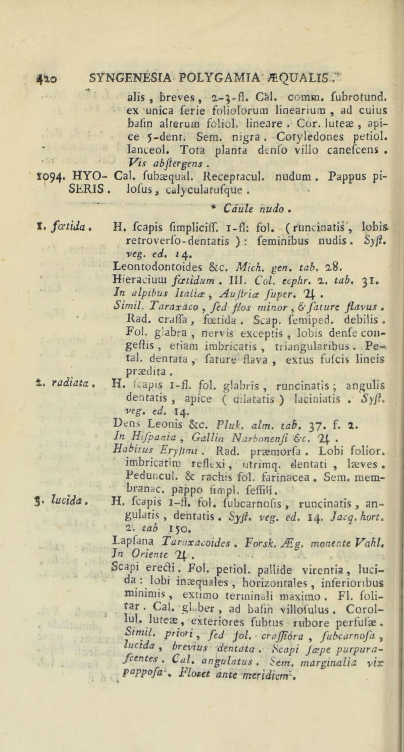 ■t alis, breves, 2-3-fl. CM. comm. fubrotund, ex unica ferie foliolorum linearium , ad cuius balin alterum foliol. lineare . Cor. lutea;, api- ce 5-denr. Sem. nigra. Cotyledones petiol. lanteol. Tota planta denlo villo canefcens . Vis abftergens . 1094* HYO- Cal. fubaequal. Receptacul. nudum . Pappus pi- SERIS. lolus, ciilyculatufque . * Caule nudo . I, fcetida. H. fcapis fimpliciff. i-fl: fol. (runcinatis , lobis. retroverlo-dentatis ) : feminibus nudis. Syft. veg. ed. 14. Lcontodontoides 8cc. Mich. gen. tab. 2.8. Hieraciuui fatidum . III. Coi. ecphr. 1. tab. 31. In olpibus Italia , Aujiria fuper. T|-. Simii. Taraxaco , fed flos minor , &amp; fature flavus . Rad. cralfa , foetida. Scap. femiped. debilis. Fol. glabra , nervis exceptis , lobis denfe con- geftis , etiam imbricatis , triangularibus . Pe- tal. dentata , fature flava , extus fulcis lineis praedita . i. radiata. H. /capis i-fl. fol. glabris, runcinatis; angulis dentatis , apice ( adatatis ) laciniatis . Syft. veg. ed. 14. Den&gt; Leonis &amp;c. Pluit, alm. tab. 37. f. 2. In Hfpania , Gallia Narbnnenfi &amp;c. 24- • Habitus Ery/tmt. Rad. praemorfa . Lobi folior. imbricatim reflexi, utrimq. dentati , laeves . Peduncul. &amp; rachis fol. farinacea . Sem, mem- branac. pappo fimpl. feffili. 3- lucida. H. fcapis 1 —11. fol. fubcarnofis , runcinatis, an- gularis , dentatis . Syft. veg. ed. 14. Jacq. hurt. 1. tab 150. I.apfana Tarnxacoidcs . Forsk. Aig. monente Vahl, Jn Oriente 2^. . Scapi eredi. Fol. petiol. pallide virentia , luci— da ; lobi inaequales, horizontales, inferioribus minimis, extimo terminali maximo . FI. foli- far . Cal. gLber , ad balin villolulus . Corol- luteae, exteriores fubtus rubore perfulae. Amil. prioti, fej j0lm crafjiora , fubcamofa , lucida , brevius dentata . Scapi Jcrpe purpura- fcentes . Cal. angulatus . Sem. marginalia vix pappofaFloret ante meridiem'-.