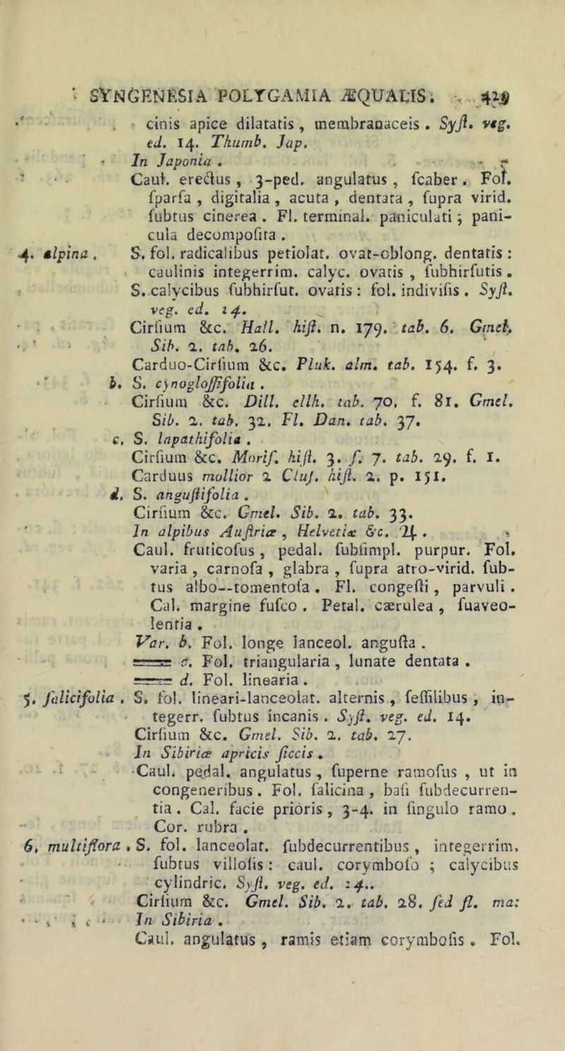 &gt; sYngenf.sia poltgamia mquAtis. &gt; 41$ cinis apice dilatatis, membranaceis. Syjl. wg. ed. 14. Thumb. Jap. In Japonia . - - Caul. ere&amp;us, 3-ped. angulatus , fcaber. Fof. fparfa , digitalia , acuta , dentata , fupra virid. fubtus cinerea . FI. terminal. paniculati; pani- cula decompofita . 4. Alpina. S. fol. radicalibus petiolat. ovar-oblong. dentatis: caulinis integerrim. calyc. ovatis , fubhirfutis. S. calycibus fubhirfut. ovatis: fol. indivifis . Syjl. veg. ed. 14. Cirlium &amp;c. Ha!l. hijl. n. 179. tab. 6. Gtneh • ' Sib. 2. tab. 16. Carduo-Cirlium &amp;c. Pluk. alm. tab. 154. f. 3. b. S. cynoglojjifolia . Cirfium &amp;c. DHL ellh. tab. 70, f. 81. Gmcl. Sib. 2. tab. 31. FI. Dan. tab. 37. c. S. lapathifolia . Cirfium &amp;c. Marif. hijl. 3. /. 7. tab. 29. f. I. Carduus mollior 2 CiuJ. hijl. 2. p. I$I, d. S. angujiifolia . Cirfium &amp;c. Gmtl. Sib. 2. tab. 33. In alpibus Atifiricr , Helvetix &amp;c. '1\. . Caul. fruticofus, pedal. fubfimpl. purpur. Fol. varia , carnofa , glabra , fupra atro-virid. fub- tus albo--tomentola . FI. congefli, parvuli. Cal. margine fufco . Petal. caerulea , fuaveo- lenfia . Var. b. Fol. longe lanceol. angufta . == a. Fol. triangularia , lunate dentata . d. Fol. linearia . 5. Jiilicifolia . S. fol. lineari-lanceolat. alternis, feffilibus , in- tegerr. fubtus incanis . Syjl. veg. ed. 14. Cirfium &amp;c. Gmtl. Sib. 2. tab. 27. In Sibiria apricis Jiccis . Caul. pedal. angulatus, fuperne ramofus , ut in congeneribus. Fol. falicina , bafi fubdecurren- tia . Cal. facie prioris , 3-4. in lingulo ramo , Cor. rubra . 6. multiflora , S. fol. lanceolat. fubdecurrentibus, integerrim. fubtus villofis: caul. corymbofo ; calycibus cylindric. Syjl. veg. ed. 14.. Cirlium &amp;c. Gmtl. Sib. 2. tab. 2.8. Jed fl. ma: • • , i . * Jn Sib tria . Caul. angulatus, ramis etiam corymbofis. Fol.