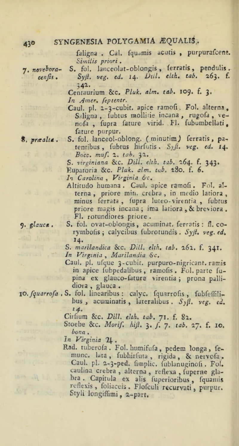 faligna . Cal. fqu^mis acutis , purpurafcent. Similis priori . 7, novebora- S. fol. Janceolat-oblongis , ferratis, pendulis . cenjis. Syft. veg. ed. 14. Dill. elth. tab. 163. f* 342. Centaurium &amp;c. Pluk. alm. tab. 109. f. 3. In Amer, feptentr. Caul. pl. 1-3-cubit. apice ramofi. Fol. alterna. Saligna, fubtus mollitie incana , rugofa , ve- nofa , fupra fature virid. FI. fubumbellati, fature purpur. 8, praaltd. S. fol. lanceol-oblong. ( minutimj ferratis, pa- tentibus , fubtus hirfutis. Syft. veg. ed. 14. Bocc. rnuf. 1. tab. 32. S. virginiana &amp;C. Dill. elth. tab. 264. f. 343* Eupatoria &amp;c. Pluk. alm. tub. 180. f. 6. In Carolina , Virginia &amp;c. Altitudo humana. Caul. apice ramofi. Fol. al- terna , priore miti, crebra , in medio latiora , minus ferrata , fupra luteo-virentia , fubtus priore magis incana; ima latiora , &amp; breviora . FI. rotundiores priore . 9. glauca . S. fol. ovat-oblongis, acuminat, ferratis : fl. co- rymbofis; calycibus fubrotundis . Syft. veg. ed. S. marilandica &amp;c. Diil. elth. tab. 161. f. 341. In Virginia , Marilandia &amp;c. Caul. pl. ufque 3-cubir. purpuro-nigricant. ramis in apice fubpedalibus, ramofis . Fol. parte fu- pina ex glauco-fature virentia ; prona palli- diora , glauca . 10. fquarrofa . S, fol. linearibus : calyc. fquarrofis , fubfeflili- bus , acuminatis, lateralibus. Syft. veg. ed. .1 Cirfium &amp;c. Dill. elth. tab. 71. f. 82. Stoebe &amp;c. Morift. hift. 3. /. 7. tab. 27. f. 10. bor.a . In Virginia . Rad. tuberofa. Fol. hutnifufa, pedem longa, fe- munc. bta , fubhirfuta , rigida, &amp; nervofa. Caul. pl. a-3-ped. fimplic. (ublanuginoli. Fol. caulina crebra , alterna , reflexa , fuperne gla- bra . Capitula ex alis fuperioribus , fquamis reflexis , foliaceis . Flofculi recurvati, purpur. Styli longiffimi, a-part.