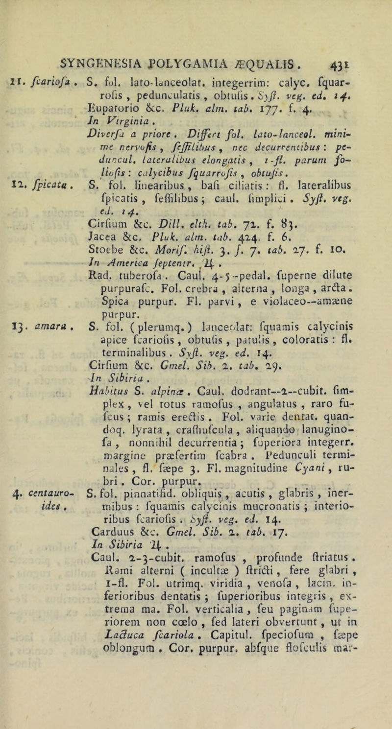 II. fcariofu . 12. /'picata . 13. amara . 4. Centauro- id es . S. fol. lato-lanceolat. integerrim: calyc. fquar- rolis , pedunailatis , obtufis. Syfi. veg. ed. 14. liupatorio 8cc. Pluk. alm. tab. 177. f. 4. Jn Virginia . Diverfa a priore. Differt fol. lato-lanceol. mini- me nervofis , fcffUibus , nec decurrentibus : pe- duncul. lateralibus elongatis, i-fl. parum fo- lio fis : calycibus fquarrofis , obtujis. S. fol. linearibus, bafi ciliatis: fl. lateralibus fpicatis , feflilibus; caul. fimplioi . Syjl. veg. ed. 14. Cirfium &amp;c. DHL elth. tab. 72. f. 83. Jacea &amp;c. Pluk. alm. tab. 424. f. 6. Stoebe &amp;c. Morif. hiji. 3. f. 7. tab. 1J. f. IO. Jn America feptenir. . Rad. tuberofa . Caul. 4-5-pedal. fuperne dilute purpurafc. Fol. crebra , alterna , longa , arda. Spica purpur. Fl. parvi, e violaceo—amaene purpur. S. fol. ( plerumq.) lanceolat: fquamis calycinis apice fcariolis, obtulis , patulis, coloratis: fl. terminalibus . Syjl. veg. ed. 14. Cirfium &amp;c. Gmel. Sib. 1. tab. 29. In Sibina . Habitus S. alpince . Caul. dodrant—2—cubit. (im- plex , vel totus ramofus , angulatus , raro fu- fcus; ramis eredis . Fol. varie dentar. quan- doq. lyrata , crafbufcula , aliquando lanugino- fa , nonnihil decurrentia; fuperiora integerr. margine praefertim fcabra . Pedunculi termi- nales, fl. faepe 3. Fl. magnitudine Cyani, ru- bri . Cor. purpur. S. fol. pinnatifid. obliquis , acutis , glabris , iner- mibus : fquamis calycinis mucronatis ; interio- ribus fcariofis . Syjl. veg. ed. 14. Carduus &amp;c. Gmel. Sib. 2. tab. 17. In Sibiria 2| . Caul. 2-3-cubir. ramofus , profunde ftriatus. Rami alterni ( incultae ) flridi, fere glabri , 1—fl. Fol. utrimq. viridia , venofa , lacin. in- ferioribus dentatis ; fuperioribus integris, ex- trema ma. Fol. verticalia, feu paginam fupe- riorem non coelo , fed lateri obvertunt, ut in Lactuca fcariola. Capitul. fpeciofum , fcepe oblongum . Cor, purpur. abfque flofculis ma:-