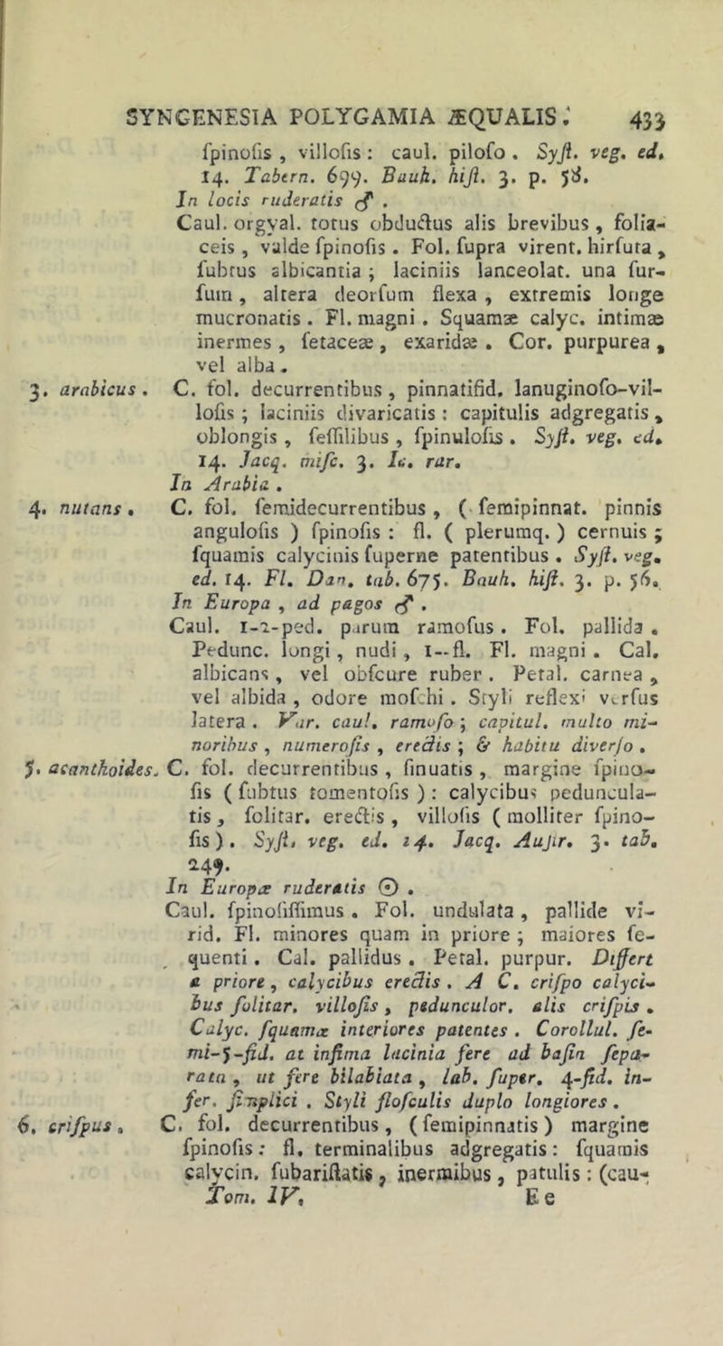 fpinofis, villofis: caul. pilofo . Syji. veg. ed. 14. Tabtrn. 699. Buuh. hiji. 3. p. 5^* In locis ruderatis . Caul. orgyal. torus obdu&amp;us alis brevibus, folia- ceis , valde fpinofis. Fol. fupra virent, hirfuta , 1'ubrus albicantia ; laciniis lanceolat. una fur- fum, altera deorfum flexa , extremis longe mucronatis . FI. magni . Squamae calyc. intimas inermes , fetaceae, exaridae . Cor. purpurea , vel alba. 3. arabicus. C. fol. decurrentibus, pinnatifid. lanuginofo-vil- lofis; laciniis divaricatis : capitulis adgregatis , oblongis , felTilibus , fpinulofis . Syji. veg. ed* 14. Jacq. mife. 3. h. rar. In Arabis. . 4. nutans. C. fol. femidecurrentibus , ( feraipinnat. pinnis angulofis ) fpinofis : fl. ( plerumq. ) cernuis ; fquamis calycinis fuperne patentibus . Syft. veg, ed. r4- Fl. Dan. tab. 675. Bauh. hift. 3. p. 56. In Europa , ad pagos • Caul. 1-1-ped. p.irura ramofus. Fol. pallida . Pedunc. longi, nudi, I—fl. Fl. magni. Cal. albicans, vel obfcure ruber . Petal. carnea , vel albida , odore mofchi . Styli reflexi v&gt;.rfus latera, V.ir. caul. ramofo; cavitul. rnulto mi- noribus , numerojis , eredis ; &amp; habitu diver/o . acantkoides. C. fol. decurrentibus , finuatis , margine fpino- fis ( fnbtus tomentofis ): calycibus peduncula- ris, folitar. eredbs, villofis (molliter fpino- fis ). Syfi, veg. ed. 14. Jacq. Aujir. 3. tab, 149- In Europae ruderatis 0 . Caul. fpinoliflimus. Fol. undulata, pallide vi- rid. Fl. minores quam in priore ; maiores fe- quenti. Cal. pallidus. Petal. purpur. Differt e priore, calycibus eredis .AC. crifpo calyci- bus folitar. villofis, pedunculor. alis crifpis . Calyc. fqueimct interiores patentes . Corollul. /e- mi-^-fid. at infima lacinia fere ad baftn fepa- rata , ut fere bilabiata , lab. fuptr. 4-fid. in- fer. finplici , Styli flofculis duplo longiores. 6. crifpus . C. fol. decurrentibus, (femipinnatis ) margine fpinofis; fl. terminalibus adgregatis: fquamis calycin. fubariftatis, inermibus, patulis: (cau- Tom. IV, E e