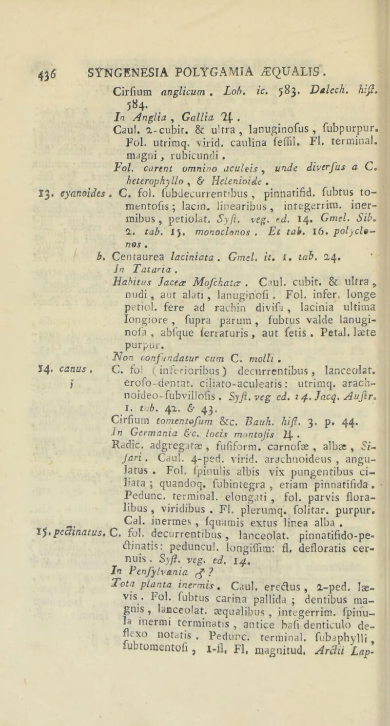 Cirfuim anglicum . Loh. ic. 583. Dtlech. h:fi. 584. In Anglia , Gallia. 2{. . Caul. a-cubir. &amp; ultra, lanuginofus , fubpurpur. Fol. utriraq. virid. caulina feflii. Fl. terminal. magni, rubicundi. Fol. curent omnino aculeis, unde diverfus a C. heterophylln , &amp; Hclenioide . 13. eyanoides. C. fol. fubdecurrentibus , pinnatifid. fubtus to- mentofis ; lacm. linearibus , integerrim. iner- mibus , petioldt. Syft. veg. rd. 14. Gmcl. Sit. 1, tab. IJ. monoclonos . Et tak. 16. polycle- nos , b, Centaurea laciniata . Gmel. it. X. tab. 24. In Talaria . Habitus Jacecr Mofchata . Caul. cubif. &amp; ultra , nudi, aut alati, lanuginofi . Fol. infer, longe petiol. fere ad rachin divifi , lacinia ultima longiore , fupra parum, fubtus valde lanugi- nola , abfque ferraturis, aut fetis. Petal. laete purpur. Non confundatur cum C. molli . 14. canus, C. fo! (inferioribus) decurrentibus, lanceolar. ) erofo-dentar. cihato-aculeatis: utrimq. arach- noideo- fubvillofis . Syjl. veg cd. 14. Jacq, Aujlr. I. tb. 41. &amp; 43. Cirfiuin tomentofum &amp;c. Bauli, hifl. 3- p» 44* J n Germania &amp;c. locis montojis 24 . R.idic. adgrcgatae, fufiform. carnofae , albae , 57- Jari. Caul. 4-ped. virid. arachnoideus , angu- latus . Fol. (pinulis albis vix pungentibus ci- bata ; quandoq. fubintegra , etiam pinnatifida . Pedunc. terminal. elongari , fol. parvis flora- libus , viridibus . FI. pierumq. folitar. purpur. Cal. inermes , fquamis extus linea alba . 1$,pectinatus, C. fol. decurrentibus , lanceolat. pinnatifido-pe- dinatis: peduncul. longiffim: fl. defloratis cer- nuis . Syjl. veg. ed. 14, In Penfy/vania ? Tota, planta inermis. Caul. eredus , a-ped. lae- vis . fol. fubtus carina pallida ; dentibus ma- gnis , lanceolat. aqualibus, intcgerrim. fpinu- b* inermi terminatis , antice bafi denticulo de- xo notatis . Pedunc. terminal. fubaphylli ^uotomentofi , i-ll, Fl, niagnitud. Archi Lap-