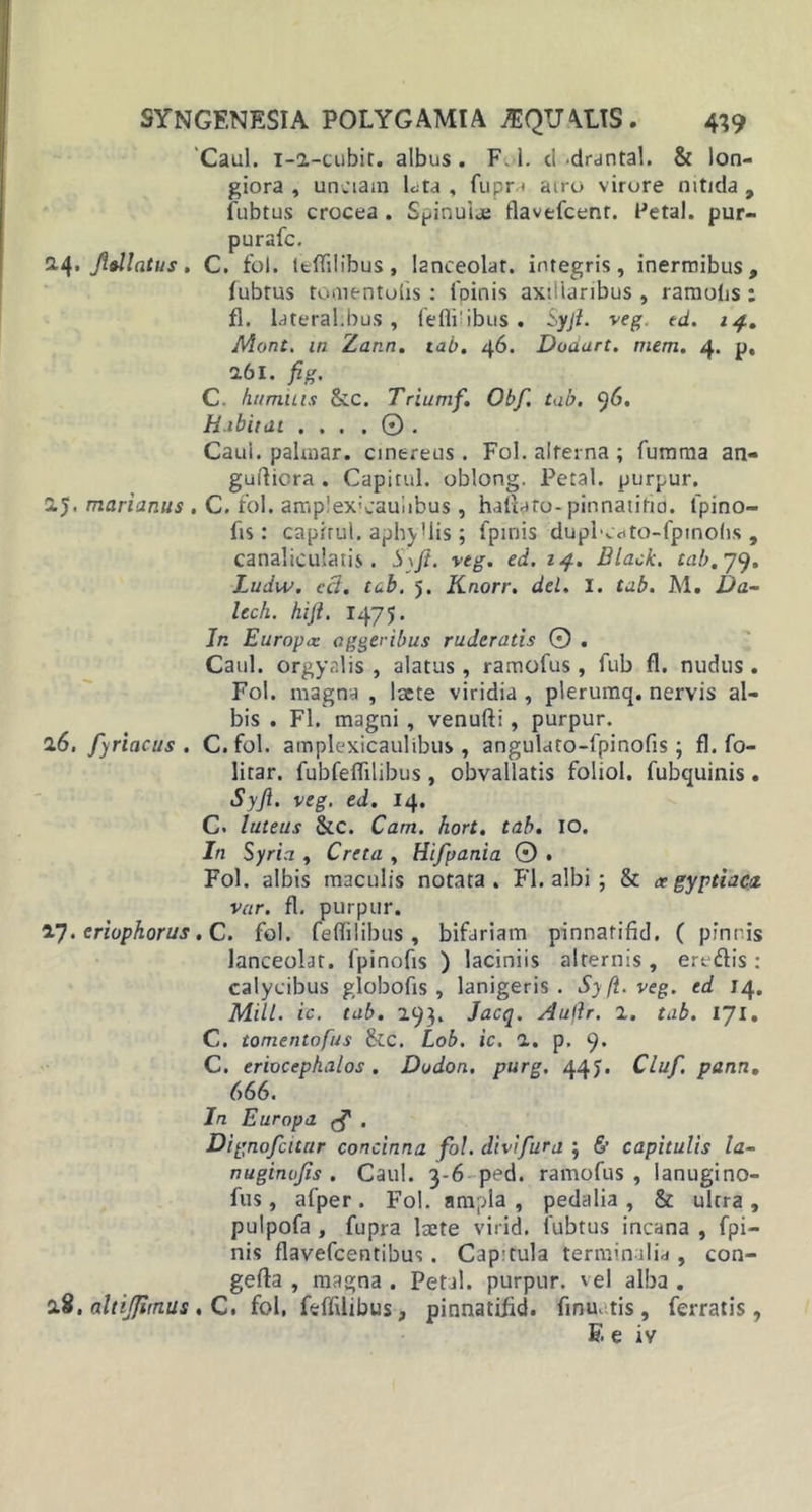 'Caul. 1-2-cubir. albus. F. 1. d -drantal. &amp; lon- giora , unciam Lta , fupr &lt; airo virore nitida , fubtus crocea . Spinuije flavefcenr. Petal. pur- purafc. 2.4, Jltllcitus. C. fol. teffilibus, l2nceolat. integris, inermibus, fubtus romentolis : 1'pinis axillaribus , ramulis : fl. lateralibus, fefli’ibus. Syji. veg. ed. 14. Mont, in Zann. tab. 46. Dodart. viem. 4. p, a6i. fig. C. humilis &amp;c. Triumf. Obf. tab. 96. Habitat ... . © . Caui. palmar. cinereus. Fol. alterna ; fumma an- guiliora . Capital, oblong. Petal. purpur. 25. marianus . C. fol. amp!ex;cauiibus, haftato-pinnatifid. fpino- fis: capirul. aphyllis; fpinis dupKdto-fpinohs, canaliculatis. Syji. veg. ed. 14. Black, tab.yy. Ludw. cci. tab. 5. Knorr. dei. I. tab. AI. Da- ledi. hiji. 1475. Jr. Europa: aggeribus ruderatis 0 . Caul. orgyalis , alatus, ramofus, fub fl. nudus . Fol. magna , laete viridia , plerumq. nervis al- bis . Fl. magni , venufti, purpur. 26. fyriacus . C.fol. amplexicaulibus , angulato-fpinofis; fl. fo- litar. fubfeflilibus, obvallatis foliol. fubquinis. Syji. veg. ed. 14. C. luteus &amp;c. Cam. hort. tab. IO. In Syria , Creta , Hifpania 0 . Fol. albis maculis notata. Fl. albi; &amp; «gyptiaca. var. fl. purpur. eriophorus, C. fol. feflilibus, bifariam pinnatifid. ( pinnis lanceolat. fpinofis ) laciniis alternis, eredis : calycibus globofis , lanigeris. Syfi.veg. ed 14. Mill. ic. tab. 193. Jacq. Auflr. 2. tab. 171. C. tomentofus &amp;c. Lob. ic. 2. p. 9* C. eriocephalos . Dodon, purg. 44J. Cluf. pann. 666. In Europa . Dignofcitur concinna fol. divifura ; 6’ capitulis la- nuginans . Caul. 3-6 ped. ramofus , lanugino- fus, afper. Fol. ampla, pedalia, &amp; ultra, pulpofa , fupra laete virid. fubtus incana , fpi- nis flavefcentibus. Cap:tula terminalia, con- gefta , magna . Petal. purpur. vel alba . 2.8. altijjitnus . C. fol, feffilibus, pinnatifid. finu. tis , ferratis, E e iv