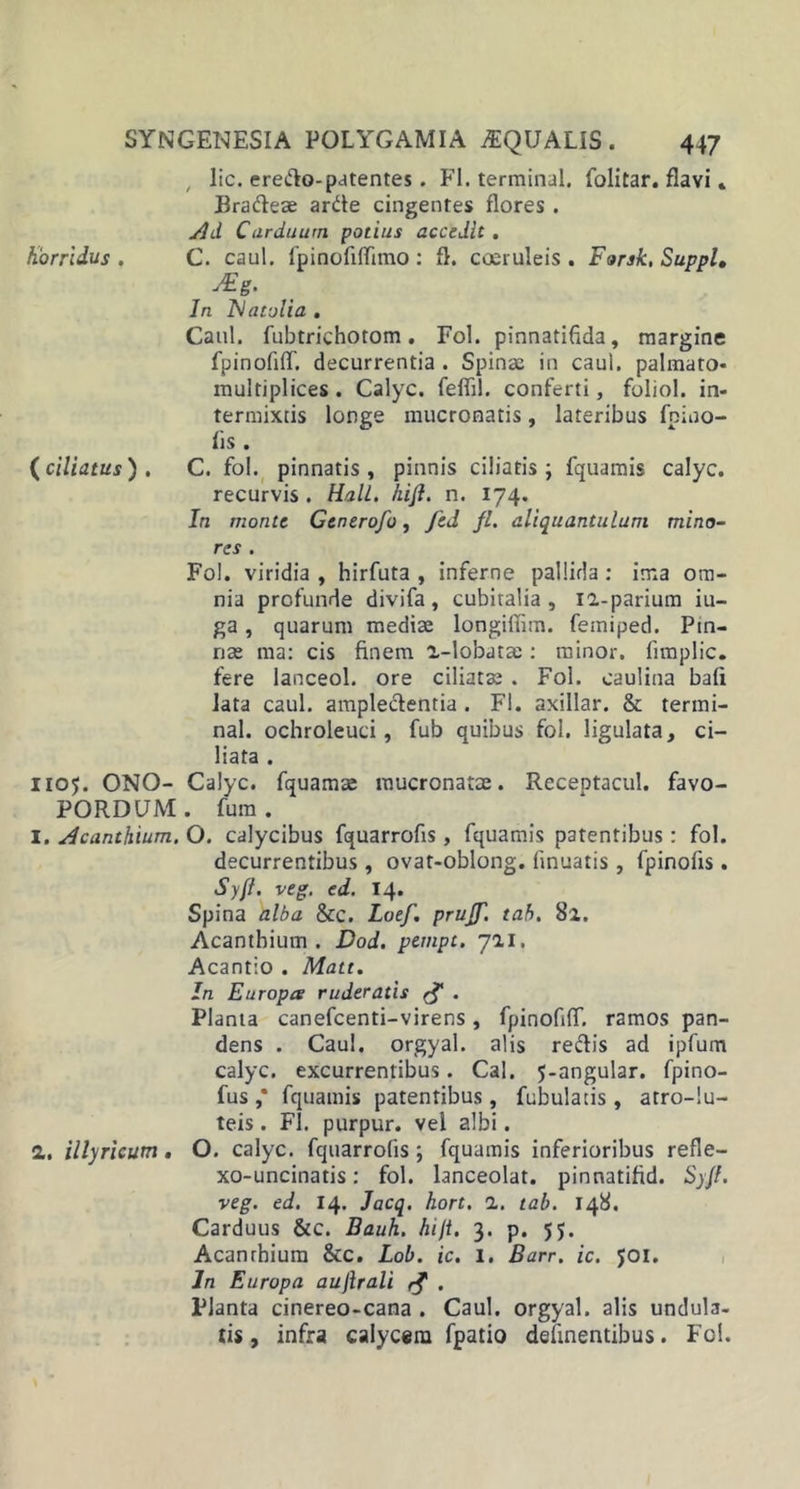 , lic. eredo-patentes. FI. terminal. folitar. flavi * Bradeae arde cingentes flores. Jld Carduum potius accedit . horridus . C. caul. fpinofifltmo : fl. coeruleis . Forsk, Suppi. JEg. In Elatolia . Caul. fubtrichotom. Fol. pinnatifida, margine fpinofllT. decurrentia . Spinae in caul. palmato- multiplices . Calyc. feflil. conferti, foliol. in- termixtis longe mucronatis, lateribus fpiuo- fls . {ciliatus). C. fol. pinnatis, pinnis ciliatis; fquamis calyc. recurvis . Hali. hifl. n. 174. In monte Generofo, JeJ, fl. aliquantulum mino- res . Fol. viridia , hirfuta , inferne pallida : ima om- nia profunde divifa , cubitalia, 12-parium iu- ga, quarum mediae longiffim. femiped. Pin- nae ma: cis finem i-lobatte: minor, fimplic. fere lanceol. ore ciliatae . Fol. eaulina bafi lata caul. ampledentia . Fl. axillar. &amp; termi- nal. ochroleuci, fub quibus fol. ligulata, ci- liata . 1105. ONO- Calyc. fquamae mucronatae. Receptacul. favo- PORDUM. fum. I. dcanthium. O. calycibus fquarrofls, fquamis patentibus: fol. decurrentibus, ovat-oblong. fmuatis, fpinofis. Syff. veg. ed. 14* Spina alba &amp;c. Loef. prujf. tah. 8a. Acanthium . Dod. pempt. 711. Acantio . Matt. In Europa ruderatis ^ . Planta canefcenti-virens, fpinofllT. ramos pan- dens . Caul. orgyal. alis redis ad ipfum calyc. excurrentibus. Cal. j-angular. fpino- fus ,* fquamis patentibus, Tubulatis , atro-!u- teis. Fl. purpur. vel albi. 1. Illyricum, O. calyc. fquarrofls; fquamis inferioribus refle- xo-uncinatis: fol. lanceolat. pinnatifid. Syjl. veg. ed. 14. Jacq. hort. 1. tab. 148. Carduus &amp;c. Bauh. hiji. 3. p. 55. Acanrhium &amp;c. Lob. ic. I. Barr. ic. JOI. In Europa aujlrali . Planta cinereo-cana . Caul. orgyal. alis undula- tis , infra calycem fpatio delinentibus. Fol.