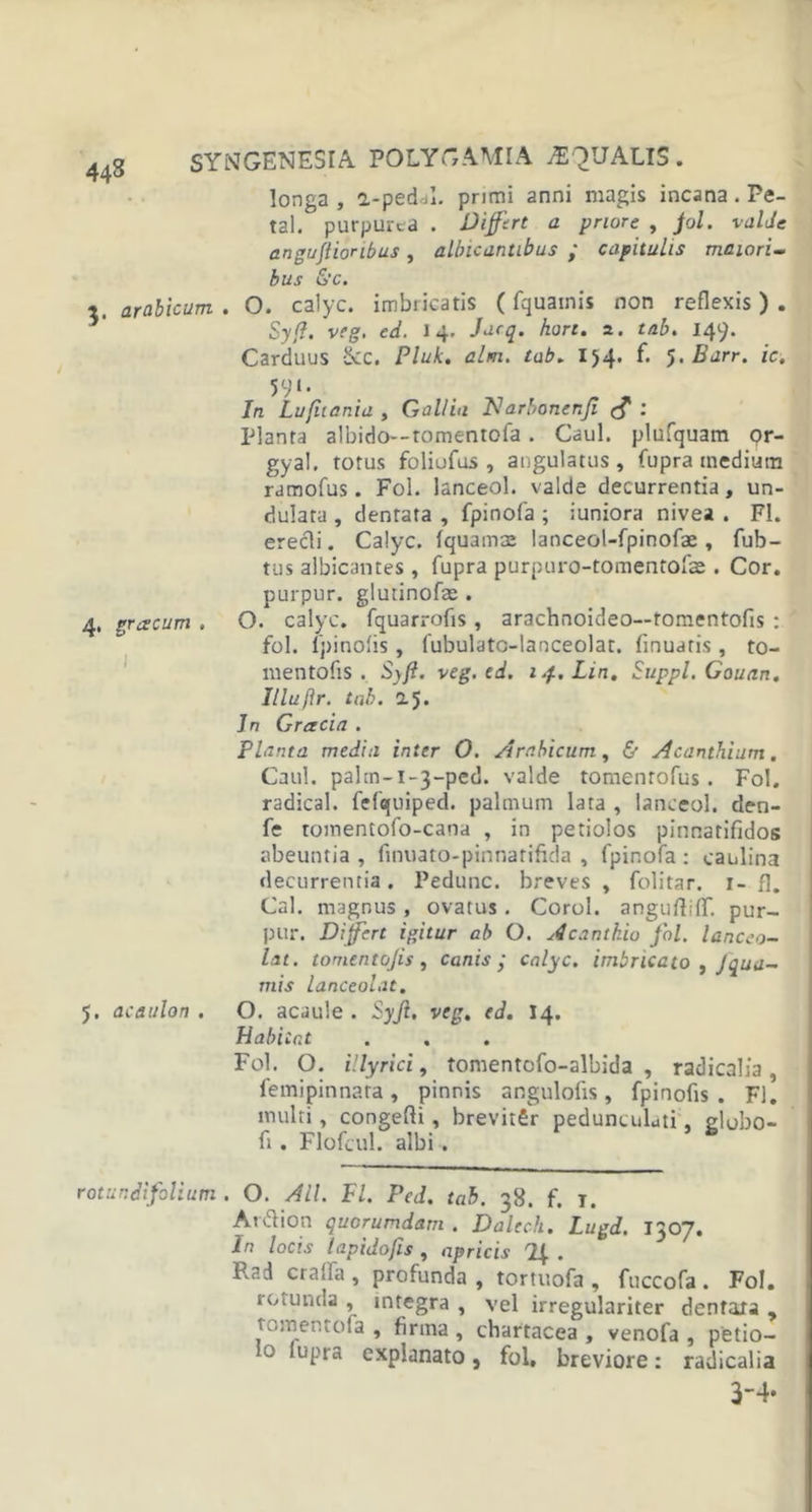 longa, a-peddl. primi anni magis incana. Pe- tal. purpurea . Differt a priore , Jol. valde angujlioribus , albicantibus ; capitulis maiori- bus &amp;c. , arabicum . O. calyc. imbricatis (fquatnis non reflexis ) . Syfi. veg. ed. 14. Jacq. hort. 2. tab. 149. Carduus &amp;C. Pluk. alm. tab. 154. f. 5. Barr. ic. 4. gr aecum , I 5. acaulon . 591 • In Lufuania , Gallia 1$ arboner.fi £ : Planta albicio--tomentofa. Caul. plufquam &lt;?r- gyal. totus foliufus , angulatus , fupra medium ramofus. Fol. lanceol. valde decurrentia, un- dulata , dentata , fpinofa ; iuniora nivea . FI. erecli. Calyc. fquamce lanceol-fpinofae, fub- tus albicantes, fupra purpuro-tomentofae . Cor. purpur. glutinofae . O. calyc. fquarrofis, arachnoideo—tomentofis : fol. fpinofis, fubulatc-lanceolat. finuaris , to- mentofis . Syjl. veg. ed. i.f..Lin. Suppi. Gouan. Illuflr. tab. 2.5* In Gracia . Planta media inter O. Arabicum, &amp; Acanthium. Caul. pahn-i-3-ped. valde tomenrofus. Fol. radical. fefquiped. palmum lata , lanceol. den- fe romentofo-cana , in petiolos pinnatifidos abeuntia , finuato-pinnatifida , fpinofa : caulina decurrentia. Pedunc. breves, folitar. 1- fl. Cal. magnus , ovatus. Corol. anguftiff. pur- pur. Differt igitur ab O. Acanthio fol. lanceo- lat. tomentofis, canis; calyc. imbricato , Jqua- mis lanceolat. O. acaule . Syjl. veg. ed. 14. Habitat Fol. O. i!lyrici, tomentofo-albida , radicalia , femipinnara, pinnis angulofis, fpinofis. Fl. multi , congefti , brevitfir pedunculati, globo- fi. Flofcul. albi. rotur.difolium . O. All. Fl. Ped. tab. 38. f. T. Ardion quorumdam . Dalech. Lugd. 1307. In locis lapido fis , apricis . P.ad craffa , profunda , tortuofa , fuccofa . Fol. rotunda , integra , vel irregulariter dentata , tomentofa , firma, chartacea, venofa , petio- 0 lupra explanato, fol, breviore: radicalia 3-4.