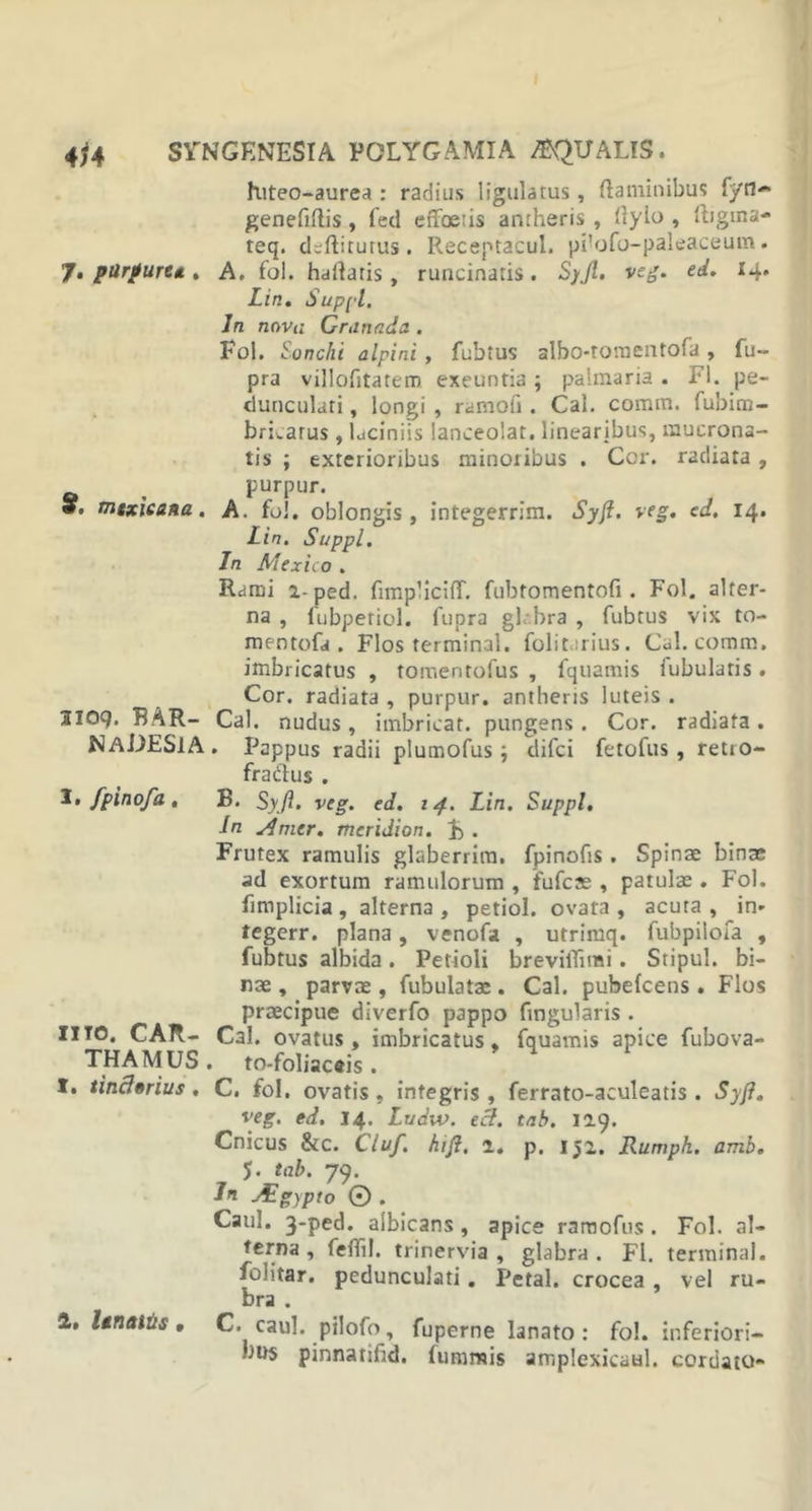 futeo-aurea : radius ligulatus, flaminibus fyn~ genefiflis, fed effoeiis anrheris , flylo , 'tigina- teq. deftiturus. Receptacul. pi!ofo-paleaceum. 7, purpuret, A. fol. haflaris, runcinaris. Syjl. veg. ed. 14. Lin. Suppi. In nova Granada. Fol. Sonchi alpini , fubtus albo-romcntofa, fu- pra villofitatem exeuntia ; palmaria. FI. pe- dunculari , longi , ramoG . Cal. comm. fubim- bricarus, laciniis lanceolat. linearibus, mucrona- tis ; exterioribus minoribus . Cor. radiata , . purpur. *• rntxicaaa. A. fol. oblongis, integerrim. Syjl. veg. ed. 14. Lin. Suppi. In Mexi eo . Rami i-ped. fimplicifT. fubtomentofi . Fol. alter- na , lubpetiol. fupra glbra , fubtus vix to- mentofa . Flos terminal. folitarius. Cal. comm. imbricatus , tomeritofus , fquamis fubulatis. Cor. radiata , purpur. antheris luteis . 3109. FAR- Cal. nudus, imbricat. pungens . Cor. radiata . NaDESIA. Pappus radii plumofus ; difci fetofus , retro- fra&amp;us . I. fpinofa. B. Syfl. veg. ed. 14. Lin. Suppi. In Amer, meridion. . Frutex ramulis glaberrim. fpinofls . Spinae binae ad exortum ramulorum , fufcse , patulae . Fol. fmiplicia , alterna , petiol. ovata , acuta , in- tegerr. plana, venofa , utrimq. fubpilofa , fubtus albida. Petioli brevilTimi. Stipul. bi- nae , parvae, Tubulatae . Cal. pubefcens . Flos praecipue diverfo pappo fingularis . IITO. CAR- Cal. ovatus, imbricatus, fquamis apice fubova- THAMUS. to-foljaceis . I. unciarius. C, fol. ovatis. integris , ferrato-aculeatis . Syfl. veg. ed. 14. Ludw. edi. tnb. 12.9. Cnicus &amp; c. Ciuf. htft, 1. p. 152. Rumph. amb. J. tab. 79. In Algypto © . Caul. 3-ped. albicans , apice raraofus. Fol. al- terna , feflil. trinervia , glabra. FI. terminal. folitar. pedunculari. Petal. crocea, vel ru- bra . 1. Unaiiis • C. caul. pilofo, fuperne lanato: fol. inferiori- bus pinnatibd. fumrais amplexicaul. cordato-