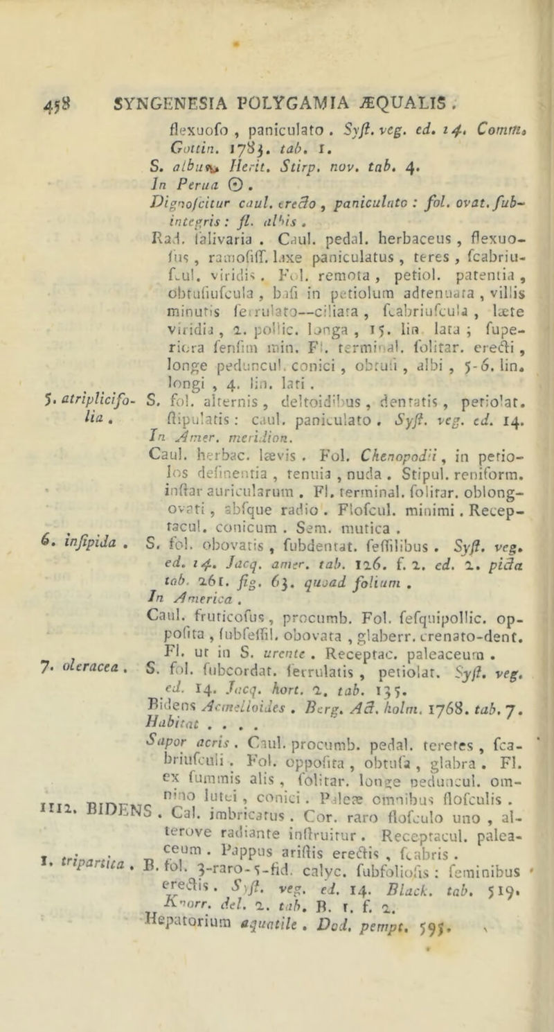 flexuofo , paniculato. Syft.veg. ed. 14, Comrti» Gottin. 1783. tab. I. S. albuv^ Herit. Stirp. nov. tab. 4* ]n Peru a 0 . Dignofcitur caul. ercdo , paniculutc : fol. ovat.fub- integris : fl. albis . Rari, falivaria . Caul. pedal. herbaceus , flexuo- fus , rarnofilT. l.ixe paniculatus , teres , fcabriu- f.u!. viridis. Fol. remota , petiol. patentia , obtuliufcula , bnfi in petiolum adfenuara , villis minutis feirulato—ciliata, fcabriufcula , laete viridia, 2. pollic. longa, 15. lia lata; fupe- ricra fenfnn min. Fi. termioal. folitar. eredi, longe peduncul. conici , obtuli, albi, 5-6. lin. longi , 4. lin. lari . 5. atriplicifo- S. fol. alternis, deltoidibus , dentatis, periolat. Ha • ftipulatis: c.iul. paniculato. Syft. veg. d. 14. In Amer. meri.lion. Caul. herbae. Ice vis . Fol. Chtnopodd, in petio- los delinentia , tenuia , nuda . Stipul. reniform. iuftar auricularum . FI. rerminal. folirar. oblong- oveti, abfque radio . Flofcul. minimi. Recep- tacul. conicum . Sem. mutica . 6. wjipida . S. fol. obovatis , fubdentat. fertilibus . Syft. veg. ed. 14.. Jacq. amer. tab. 126. f. 2. cd. 2. pida tab. 261. fig. 63. quoad folium . In aImerica . Caul. fruricofbs, procumb. Fol. fefquipollic. op- polita , lubfeifil. obovata , glaberr. crenato-dent. FI* ut in S. urente . Receptae, paleaceurn . 7* oleracea . S. fol. fubcordat. lerrulatis , petiolar. Syft. veg, ed. 14. Jacq. hort. 2. tab. 135. Bidens Actndloides . Berg. Ad. holm. 1768. tab. 7. Habitat .... Sapor acris. Caul. procumb. pedal. teretes, fca- briufculi . Fol. oppofita , obtufa , glabra . Fl. cx fummis alis, (olitar. lono;e oeduncul. om- Bmr n,no lutei, conici. Palete omnibus llofculis . ^NS . Cal. imbricatus. Cor. raro flofculo uno , al- terove radiante inftruitur. Receptacul. palea- ceum . Pappus arirtis eredis , fcabris . B. fol. q-raro-s-fid. calyc. fubfolio/is : feminibus eredis. S)ft. veg. ed. 14. Black, tab. A-mrr. dei. 2. tab. B. t. f. 2. eputoriura aquatile, Dod. pempt, 59 j. I. tripartita 519.