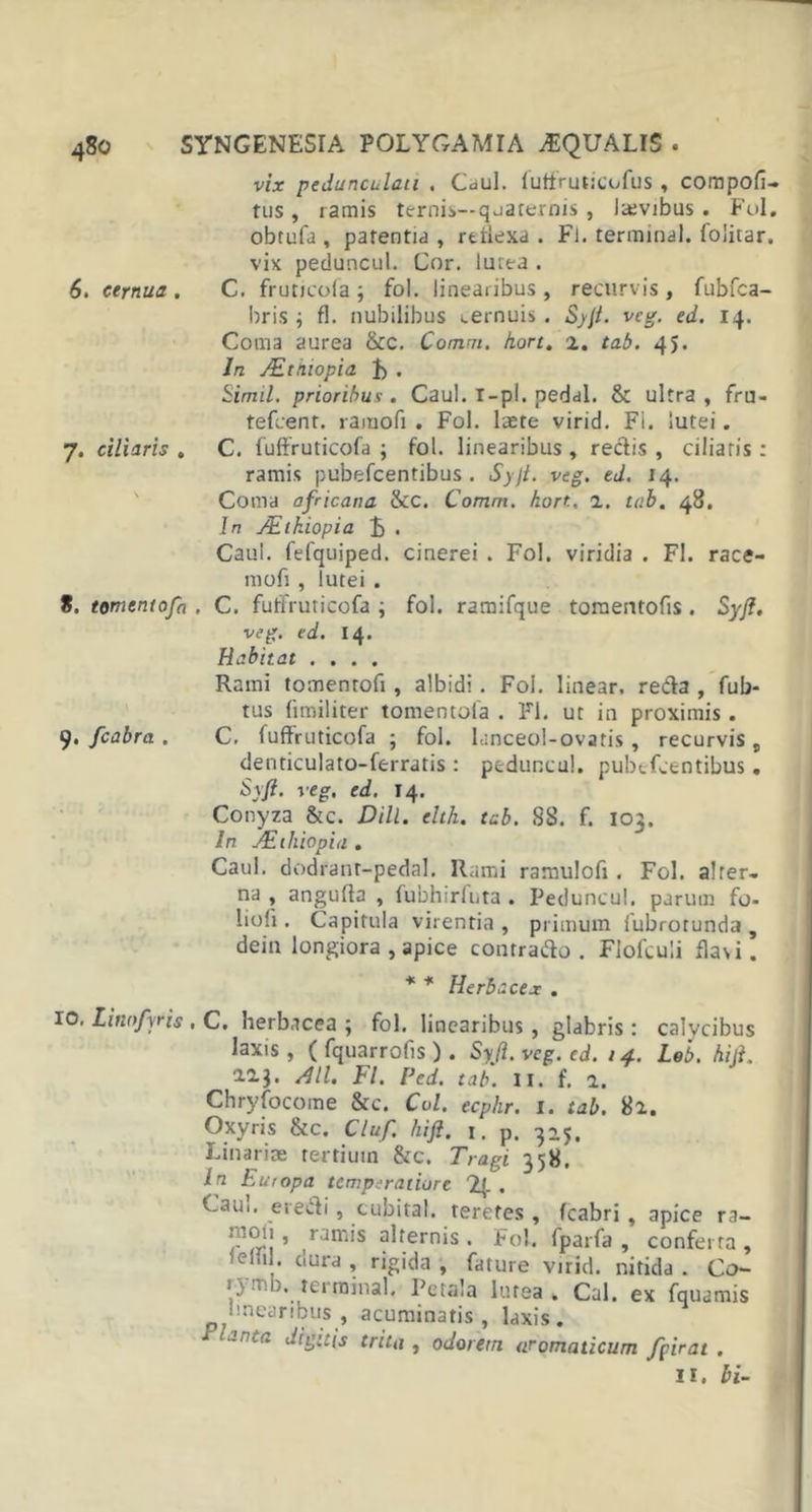 vix pedunculan . Caul. futfruticufus, compoli- tus, ramis ternis— quaternis , levibus. Fui. obtufa , patentia , reflexa . Fl. terminal. foiitar. vix peduncul. Cnr. lutea . 6. cernua . C. fruticola ; fol. linearibus , recurvis , fubfca- bris i fl. nubilibus cernuis . Syfi. veg. ed. 14. Coma aurea &amp;c. Comm. kort. 2. tab. 45. In AZtniopia h . Simii, prioribus. Caul. I-pl. pedal. &amp; ultra, fru- tefcent. ramofi . Fol. laete virid. Fi. lutei. 7. ciliaris . C. fuffruticofa ; fol. linearibus , rectis , ciliaris : ramis pubefcentibus . Syfi. veg. ed. 14. Coma africana &amp;c. Comm. hort. 1. tab. 48. In JEtkiopia £ . Caul. fefquiped. cinerei . Fol. viridia . Fl. race- mofi , lutei . 8. temcntofn . C. fuffruticofa ; fol. ramifque tomentofis. Syfi. veg. ed. 14. Habitat .... Rami tomentofi, albidi. Fol. linear. reda , fub- tus fimiliter tomentofa . Fl. ut in proximis . 9. fcabra . C. fuffruticofa ; fol. lanceol-ovatis , recurvis, denticulato-ferratis : peduncul. pubefcentibus. Syfi. veg. ed. 14. Conyza &amp;c. Dill. elth. tab. 88. f. 103. In JEihiopia . Caul. dodrant-pedal. Rami ramulofl . Fol. alrer- na , angufta , fubhirfuta . Peduncul. parum fo- lioli . Capitula virentia , primum fubrotunda , dein longiora , apice contrado. Flofculi flas i. * * Herbacex . 10. Litwfyris , C. herbacea \ fol, linearibus, glabris: calvcibus laxis , ( fquarrofis ) . Syfi. veg. ed. 14. Leb. hiji. 12J. Ali. Fl. Ped. tab. II. f. 2. Chryfocome &amp;c. Coi. ecphr. 1. tab. 82. Oxyris &amp; c. Cluf. hift, 1, p, 325, Linariae rertiuin &amp;c. Tragi 358. in huropa temperatiore . Caui. erecti , cubital, teretes , fcabri , apice ra- c ’ ran'iIS alfernis . Fol. fparfa , conferta , e , ciurd » rig'&lt;la , fature virid. nitida . Co- tymb. terminal. Petala lutea . Cal. ex fquamis linearibus, acuminatis, laxis. Planta digitis trita , odorem aromaticum fpirat . II. hi-