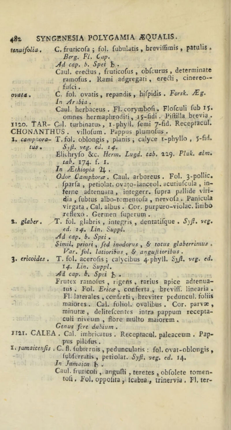 tenui folia, C. fruricofa ; fol. fabulatis, breviflirais, patulis . Derg. Fl. Cap. Ad cap. b. Spei fc . Caul. eredus, fruticofus, obfcurus , determinate ramofus . Rami adgregati , eredi, cinereo— fufci. ovata. C. fol. ovatis, repandis, hifpidis . Forsk. J£g. In Aribia . Caul. herbaceus. Fi. corymbofi. Flofculi fub i?, omnes hermaphroditi, 15-fidi. PiftiUa brevia. I t 20. TAR- Cdl. turbinatus, i - phy il. femi 7-fid. Receptacul. CHONANTHUS . villofum . Pappus plumofus . X. camptiora- T.fol. oblongis, planis , calyce i-phyllo , J-fid. tus. Syji. veg. eu. 14. Elithryfo &amp;c. Herm. Lugd. tab. 219. Fluk. alm, tab. 174. f. I. In ALthiopia %• . ... Odor Camphora . Caul. arboreus. Fol. 3-pollic• fparfa , petiolat. ovato-lanceol. acutiufcula , in- ferne adtenuata, integerr. fupra pallide viri- dia , fubtus albo-tomentofa , nervofa . Panicula virgata . Cal. albus . Cor. purpuro-violac. limbo reflexo . Germen fuperum . St. glaber. T. fol. glabris , integris , dentatifque . S\ft. veg. ed. 14. Lin. Suppi. Ad cap. b. Spei . Simii, priori , fed inodorus , &amp; totus glaberrimus . Far. fol. latioribus , &amp; angujiioribus . 3. ericoides . T.fol. acerofis ; calycibus 4- phy 11. Syjl. veg. ed. 14. Hu. Suppi. Ad cap. b. Spei . Frutex ramofus , rigens , rarius apice adtenua- tus . Fol. Ericcr , conferta , breviff. linearia . Fl. laterales , conferti , breviter peduncul. foliis maiores. Cal. foliol. ovalibus. Cor. parvae, minutae, delitefcentes intra pappum recepta- culi niveum , flore multo maiorem . Genus fere dubium . illi. CALF.A . Cal. imbricatus . Receptacul. paleaceum . Pap- pus pilofus. I. jamaicenjis . C. fl. iubrernis , pedunculatis : fol. ovat-oblongis , lubferratis , petiolat. Syfi. veg. ed. 14. Jn Jamaicn F . Caul. fruticoii, angufli , teretes , obfolete tomen- toli, Fol, oppohra, lcabra , trinervia . Fl. ter-