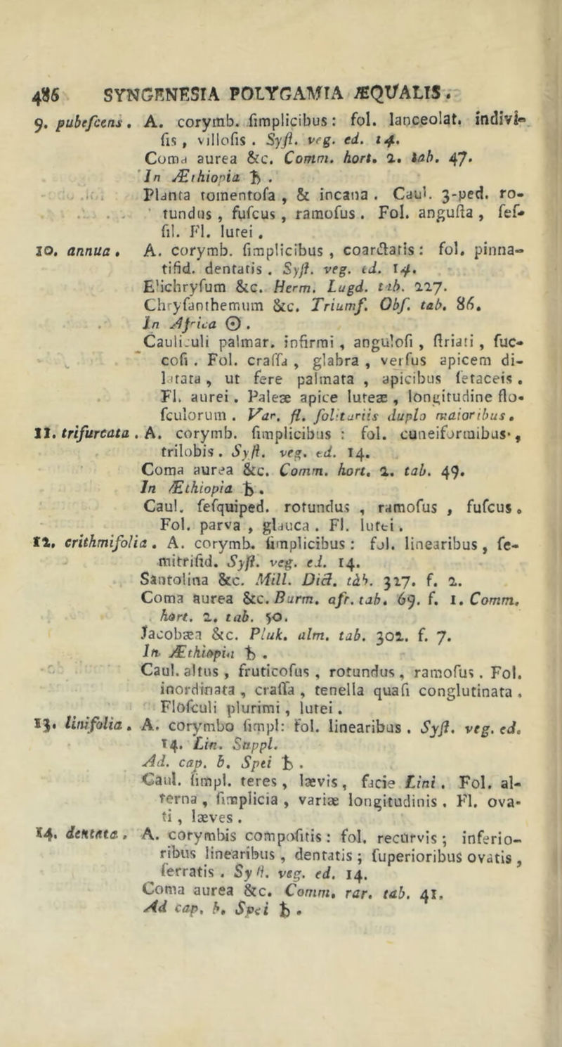 9. pubefcens, A. corymb. fimplicibus: fol. lanceolat. indivl® fis, vjllofis . Syft. vrg. ed. 14. Coma aurea &amp;c. Comm. hort. 1. lab. 47* ln ALthio^ia F . Planta tomentofa , &amp; incana . Caul. 3-ped. ro- tundus , fufcus , ramofus . Fol. angufia , fef- fil. FI. lurei. 20. annua• A. corymb. fimplicibus, coarifiatis : fol. pinna- tifid. dentatis . Syft. veg. id. i«jt. EMchryfum &amp;c. Herm. Lugd. tih. 117. Chryfanthemum &amp;c. Triumf. Obf. tab. 85. ln Ajrica © . Cauli.uli palmar. infirmi , angulofi , firiati, fuc- cofi . Fol. craffa , glabra , verfus apicem di- ctata, ut fere palmata , apicibus fetaceis. FI. aurei. Paleae apice luteae, longitudine fio- fculorum . Var, fl. folituriis dupla maioribus. II. trifur cata . A. corymb. fimplicibus : fol. cuneiformibus*, trilobis. Sy ft. veg. td. 14. Coma aurea &amp;c. Comm. hort. a. tab. 49. ln SElhiopia F . Caul. fefquiped. rotundus , ramofus , fufcus. Fol. parva , glauca . Fl. lutei. II, erithmifolia. A. corymb. fimplicibus: fol. linearibus, fe- mitrifid. Syft. veg. ed. 14. Santolina &amp;c. Mill. Dici. tctb. 317. f. 2.. Coma aurea &amp;c.Burm. afr.tab. 69. f. 1. Comm. hort. 1. tab. 50. Jacobmn &amp;c. Pluk. alm, tab. 301. f. 7. ln /Et hi opia F . Caul. altus, fruticofus , rotundus, ramofus. Fol. inordinata , craffa , tenella quafi conglutinata . Flofculi plurimi , lutei. 13. linifolia. A. corymbo limpl: fol. linearibus. Syft. veg. ed. 14. Lin. Snppl. Ad. cap. b. Spei F . Caul. (impl. teres, laevis, fjcie Lini. Fol. al- terna , fimplicia , variae longitudinis. Fl. ova- ti , laeves . 14* dentata. A. coryml&gt;is compofitis: fol, recurvis; inferio- ribus linearibus, dentatis ; fuperioribus ovatis , ferratis. Sy H. veg. ed. 14. Coma aurea &amp;c. Comm, rar. tab. 41. Ad cap, b. Spei F •