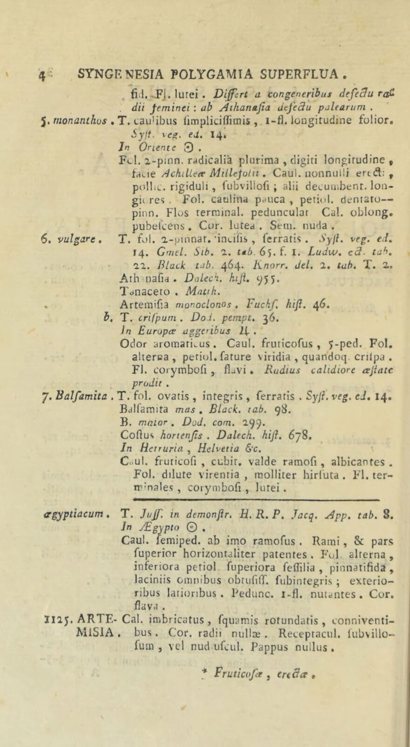 fiil. JFJ. lutei . Differt a congeneribus defectu ra£ dii feminei : ab Atha.na.fia Ucfe3u palearum . 5. monanthus . T. cardibus limpliciflimis , i-fl. longitudine folior. Sylt. \eg. ea. 14. Jn Oriente 3 . Fc-l. i-pinn. radicalia plurima , digiti longitudine bmie Achillee? Millefolii. Caul. nonnulli ertft; t pollic. rigiduli, fubviliofi ; alii decumbent, lon- gi( res . Fol. caulina pauca , petiol. dentato— pinn. Flos terrainal. pedunculat Cal. oblong. pubelcens. Cor. lutea . Seni, nuda . 6. vulgare. T. fol. a-pmnat.'incilis , ferratis. Syjl. veg. e.L 14. Gmel. Sib. 1. tab. 65. f. I. Ludw. eS. tab. 11. Black tab. 464. linorr. dei. 2. tab. T. 2.. Ath nafia . Dalech. hijt. 955. Tanaceto . Matth. . Artemifia monoclonos . Fuchfi. hifi. 46. b. T. crifpum . Do i. pempt. 36. In Europe? aggeribus Zf . Odor aromatibus. Caul. fruticofus , 5-ped. Fol. alterca , petiol. fature viridia , quandoq. crilpa . FI. corymbofi , fLvi . Rudius calidiore afiate prodit . 7. Balfamita . T. fol. ovatis , integris, ferratis . Syji. veg. cd. 14. Balfamita mas . Black, tab. 98. B. maior . Dod, com. 299. Collus hortenfis . Dalech. hifi. 678. In Hctruria , Helvetia &amp;c. Cuul. fruticofi , cubir. valde ramofi, albicantc-s . Fol. dilute virentia , molliter hirluta . FI. ter- tr:nales , corymbofi , lutei . ergyptiacum. T. Juff. in demonjlr. H. R. P. Jacq. App. tab. 8. Jn Aegypto © . Caul. lemiped. ab imo ramofus . Rami, &amp; pars fuperior horizontaliter patentes . Fol alterna , inferiora petiol fuperiora feflilia , pinnatifida , laciniis omnibus obtufilf. fubintegris ; exterio- ribus latioribus. Pedunc. i-fl. nutantes. Cor. flava . H25. ARTE- Cal. imbricatus, fquamis rotundatis, conniventi- MiSlA . bus. Cor. radii nullce . Receptacul. lubvillo- fum , vel nud ufcul. Pappus nullus . * Fruticofa , creda .