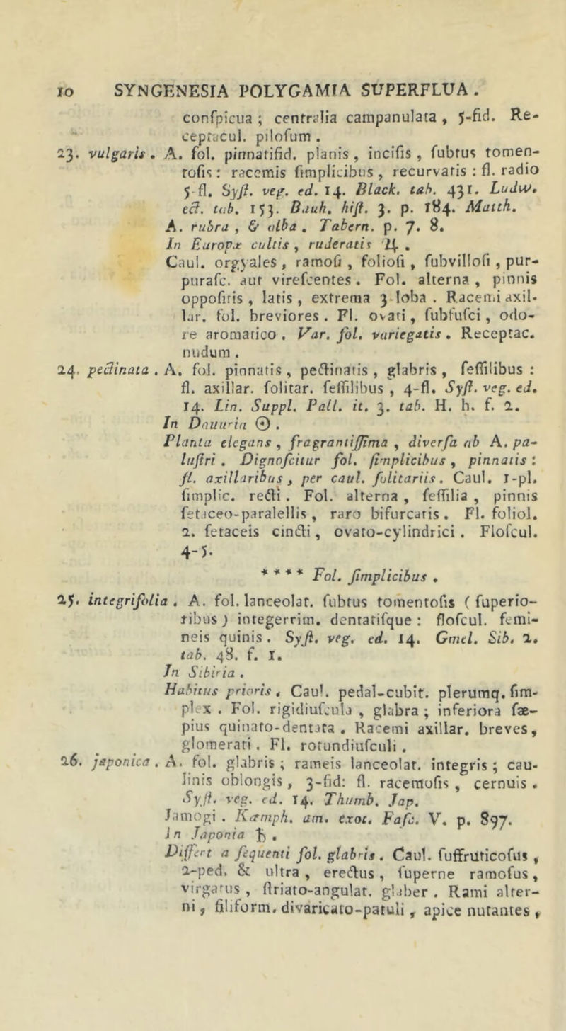 confpicua ; centralia campanulata , 5-fici. Rfc- cepracul. pilofum . 23. vulgaris. A. fol. pinnarifid. planis, incifis, fubrus tomen- rofis: racemis fimplicibus , recurvaris : fl. radio 5 fl. Syft. veg. ed. 14. Black, tab. 431. Ludus, ecl. tab. IJJ. Buuh. hift. 3. p. 184. Maith. A. rubra, &amp; alba. Tabem, p. 7* 8. In Earop.r cultis , ruderatis l\ . Caul. orgyales , rarnofi, folioli, fubvillofi , pur- purafc. aut virefcentes . Fol. alterna, pinnis oppofiris , latis, extrema 3-loba . Racemi axil- lar. fol. breviores. FI. ovari, fubfufci, odo- re aromatico . Var. fol. variegatis . Receptae, nudum. 24. peBinata . A. fol. pinnatis, pectinaris , glabris, feffilibus : fl. axillar. folitar. feffilibus , 4-fl. Syfl. veg. ed. 14. L in. Suppi. Pali. it. 3. tab. H. h. f. 1. In Dauu'ia © . Planta elegans , fragrantijfima , diverfa ab A. pa- luflri . Dignofcitur fol. fimplicibus , pinnatis : fl. axillaribus , per caul. fulitariis. Caul. I-pl. fimplic. redii. Fol. alterna , felTilia , pinnis fetaceo-paralellis, raro bifurcatis. Fl. foliol. a. fetaceis cindfi, ovato-cylindrici. Flofcul. 4-5. * * * * Fol. Jlmplicibus . 2$. integrifolia . A. fol. lanceolat. fubrus tomentofis f fuperio- fibus ) integerrim. dentatifque : flofcul. femi- neis quinis . Syji. veg. ed. 14. Gmel. Sib. 1. tab. 48. f. I. Jn Sibir ia . Habitus prioris 4 Caub pedal-cubit. plerumq. fim- pl.x. Fol. rigidiufcula , glabra; inferiora fae- pius quinafo-dentJta . Racemi axillar. breves, glomerari. Fl. rotundiufculi. a6. japonica. A. fol. glabris; rameis lanceolat. integris; cau- linis oblongis, 3-fid: fl. racertiofis , cernuis. Syfl. veg. ed. 14. Thumb. Jap. Jamogi . Kctmph. am. exot. Fafc. V. p. 897. i n Japonia , Differt a fequenti fol. glabris . Caul. fuffruticofuj , a-ped, &amp; ultra, eredlus, 1'uperne ramofus, virga rus, flriato-angulat. glaber. Rami alter- ni, filiform. divaricaro-patuli, apice nutantes»